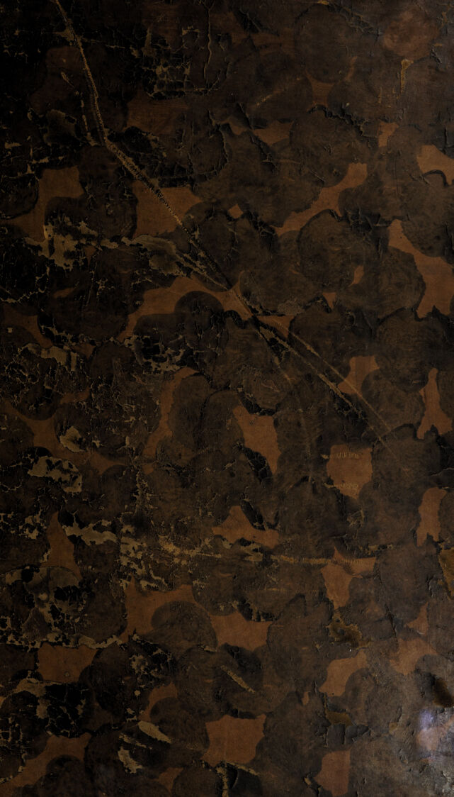 digitised image 1