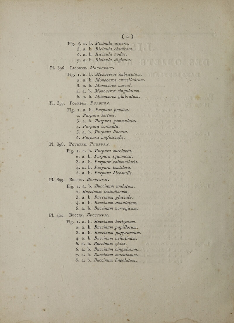 Fig. 4. a. b. Ricinula aspera. 5. a. b. Ricinula clathrata. 6. a. b. Ricinula no dus. rj. a. b. Ricinula digitata. PL 396. Licorne, ilîonoceros. Fis. î. a. b. Monoceros dublicatum. t> 2. a. b. Monoceros crassilabrum. 3. a. b. Monoceros narval. 4* a. b. Monoceros cingu latum. 5. a. b. Monoceros glabratum. PL 397. Pourpre. Purpura. Fig. 1. a. b. Purpura persica. 2. Purpura sertum. 3. a. b. Purpura gemmulata. 4. Purpura coronata. 5. a. b. Purpura Une ata. 6. Purpura unifascialis. Pl. 398. Pourpre. Purpura. Fig. 1. a. b. Purpura succincta. 2. a. b. Purpura squamosa. 3. a. b. Purpura columellaris.. 4- a. b. Purpura textilosa. 5. a. b. Purpura bicostalis. N PL 399. Buccin. Buccinum. Fig. 1. a. b. Buccinum undatum. 2. Buccinum testudineum. 3. a. b. Buccinum glaciale. 4. a. b. Buccinum annulatum. 5. a. b. Buccinum norvegicum. PL 4°o. Buccin. Buccinum. Fig. 1. a. b. Buccinum lœvigatum. 2. a. b. Buccinum papillosum. 3. a. b. Buccinum papyraceum. 4. a. b. Buccinum achatinum. 5. a. b. Buccinum glans. 6. a. b. Buccinum cinuulatum.- 7. a. b. Buccinum maculosum.. / 8. a. b. Buccinum lineolatum*. %