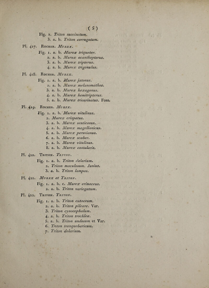 \ (5) \ _ / Fig. 2. Triton succinctum. 3. a. b. Triton corrugatum. PL 4iy. Rocher. Murex. v Fig. î. a. b. Murex trique ter. 2. a. b. Murex acanthoptcrus. 3. a. b. Murex tripterus. 4- a. b. Murex tri go nu lus. PI. 41$* Rocher. Murex. Fig. î. a. b. Murex jatonus. 2. a. b. Murex melanomathos. 3. a. b. Murex hexagonus. 4* a. b. Murex hernitripterus. 5. a. b. Murex tricarinatus. Foss. PI. 419* Rocher. Mvrex. Fig. 1. a. b. Murex vitulinus. 2. Murex crispatus. 3. a. b. Murex senticosus. 4. a. b. Murex jnagellanicus. 5. a. b. Murex peruvianus. 6. a. b. Murex scaber. y. a. b. Murex vitulinus. 8. a. b. Murex costularis, PI. 420. Triton. Triton. Fig. 1. a. b. Triton dolarium. 2. Triton maculosum. Junius. 3. a. b. Triton lampas. PI. 421. Murex et Triton. Fig. 1. a. b. c. Murex erinaceus. 2. a. b. Triton variegatum. PI . 422. Triton. Triton. Fie:. 1. a. b. Triton cutaceum. O 2. a. b. Triton pile are. Var. 3. Triton cynocephalum. 4. a. b. Triton trochlea. 5. a. b. Triton undoswn et Var. 6. Triton tranquebaricum. y. Triton dolariunu