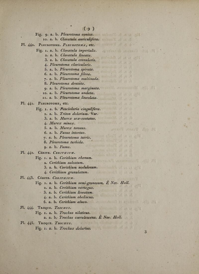 Fig. 9. a. b. Vleurotoma conica. 10. a. b. Clavatula auriculifera. PL 44°. Pleurotome. Vleurotoma y etc. Fig. 1. a. b. Clavatula imperialis. 2. a. b. Clavatula line ata. 3. a. b. Clavatula crenularis. 4. Vleurotoma claviculaiis. 5. a. b. Vleurotoma spirata. 6. a. b. Vleurotoma filosa. 7. a. b. Vleurotoma multinoda. 8. Vleurotoma dentata. 9. a. b. Vleurotoma marginata. 10. a. b. Vleurotoma undata. 11. a. b. Vleurotoma lineolata. PL 44i. Pleurotome, etc. Fig. 1. a. b. Fasciolaria cingulifera. 2. a. b. Triton dolarium. Var. 3. a. b. Murex sex-costatus. 4* Murex minax. 5. a. b. Murex torosus. 6. a. b. Fusus intortus. y. a. b. Vleurotoma turris. 8. Vleurotoma turbida. 9. a. b. Fusus. PL 442. Cérite. Cerithium. Fig. 1. a. b. Cerithium ebenum. 2. Cerithium sulcatum. 3. a. b. Cerithium nodulosum. 4. Ce lithium granulatum. PL 443. Cérite. Cerith ium. Fig. 1. a. b. Cerithium semi-granosum. È Nov. Holl. 2. a. b. Cerithium vertagus. 3. a. b. Cerithium lineatum. 4. a. b. Cerithium obeliscus. 5. a. b. Cerithium aluco. Pl. 444* Troque. Trochus. Fig. 1. a. b. Trochus niloticus. 2. a. b. Trochus caerulescens. E Nov. Ho IL Pl. 445. Troque. Trochus. Fig. 1. a. b. Trochus dolarius.