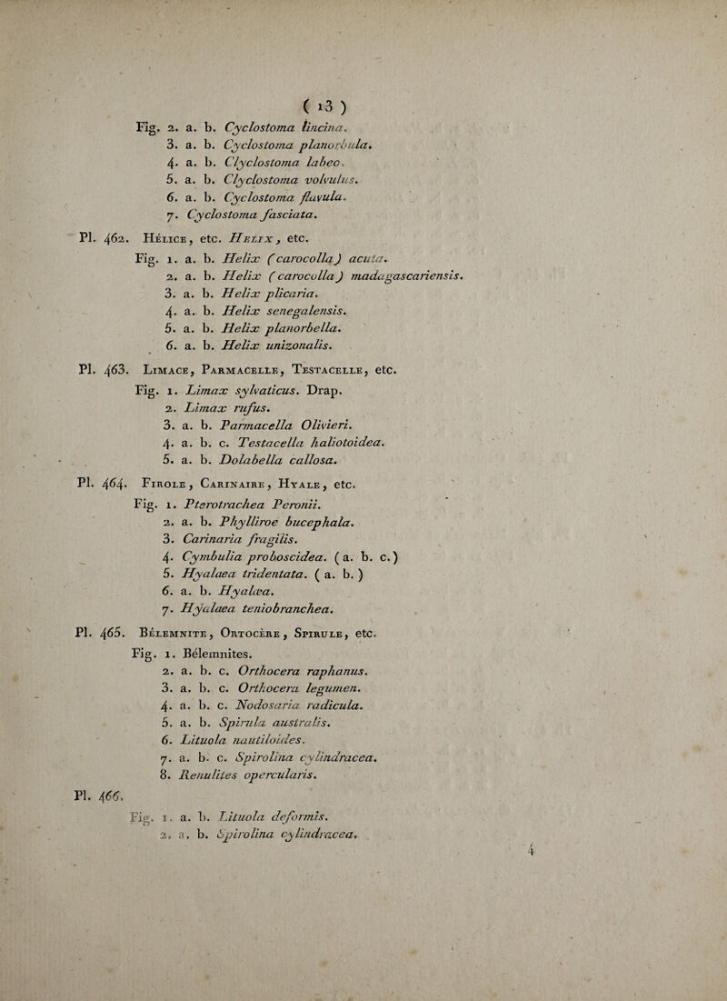 ( >3 ) Fig. 2. a. b. Cyclostoma tincina. 3. a. b. Cyclostoma planorbula. 4. a. b. Clyclostoma labeo. 5. a. b. Clyclostoma volvulus. 6. a. b. Cyclostom,a fluvula. 7. Cyclostoma Jasciata. PI. 462. Hélice, etc. Hélix , etc. Fig. 1. a. b. Hélix (carocolla) acuta. 2. a. b. Hélix ( carocolla J madagascariensis. 3. a. b. Hélix plicaria. 4. a. b. Hélix senegalensis. 5. a. b. Hélix planorbella. 6. a. b. Hélix unizonalis. PL 463. Limace, Parmacelle, Testacelle, etc. Fig. 1. Limax sylvaticus. Drap. 2. Limax rufus. 3. a. b. Varmacella Olivieri. 4* a. b. c. Testacella haliotoidea. 5. a. b. Holabella c allô s a* PI. 4^4* Firole, Carinaire , Hyale, etc. Fig. 1. Pterotrachea Peronii. 2. a. b. Phylliroe bucephala. 3. Carinaria fragilis. 4- Cymbulia proboscidea. (a. b. c.) 5. Hyalaea tridentata. (a. b. ) 6. a. b. Hyalœa. 7. Hycdaea te nio branche a. PI. 465. Bélemnite , Ortocère , Spirule, etc. Fig. 1. Bélemnites. 2. a. b. c. Orthocera raphanus. 3. a. b. c. Orthocera legumen. 4. a. b. c. Nodosaria radicuLa. 5. a. b. Spirula australis. 6. Lituola nauiiloides. 7. a. b. c. Spirolina cylindracea. 8. Keuuliles opercularis. PI. 465. Fig. 1. a. b. Lituola deformis.