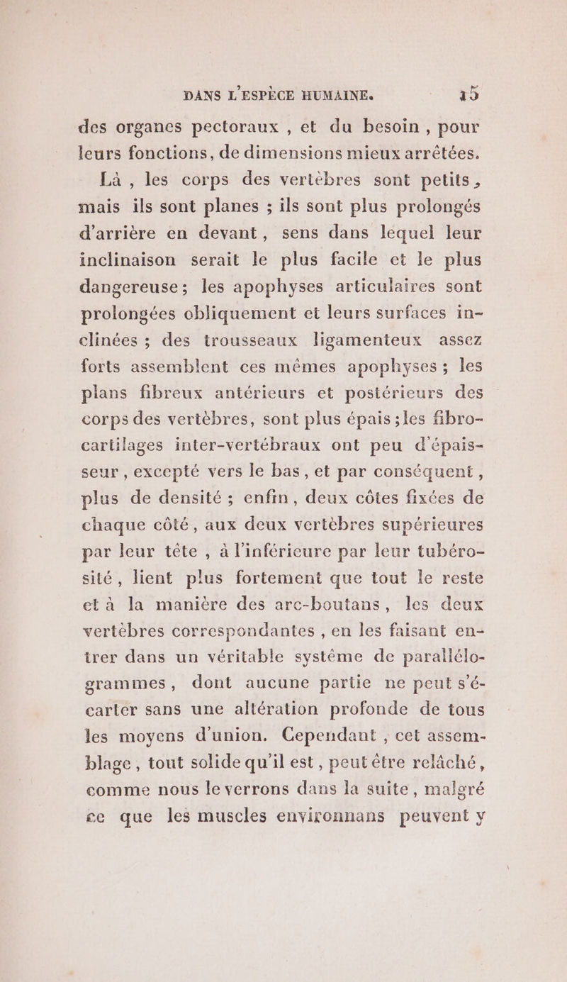 des organes pectoraux , et du besoin, pour leurs fonctions, de dimensions mieux arrêtées. Là , les corps des vertèbres sont petits, mais ils sont planes ; ils sont plus prolongés d'arrière en devant, sens dans lequel leur inclinaison serait le plus facile et le plus dangereuse; les apophyses articulaires sont prolongées obliquement et leurs surfaces in- clinées ; des trousseaux ligamenteux assez forts assemblent ces mêmes apophyses ; les plans fibreux antérieurs et postérieurs des corps des vertèbres, sont plus épais ;les fibro- cartilages inter-vertébraux ont peu d'épais- seur , excepté vers le bas, et par conséquent, plus de densité ; enfin, deux côtes fixées de chaque côté, aux deux vertèbres supérieures par leur tête , à l'inférieure par leur tubéro- sité, lient plus fortement que tout le reste et à la manière des arc-boutans, les deux vertébres correspondantes , en les faisant en- tirer dans un véritable système de parallélo- grammes, dont aucune partie ne peut s’é- carter sans une altération profonde de tous les moyens d'union. Cependant , cet assem- blage , tout solide qu'il est, peut être relâché, comme nous le verrons dans la suite, malgré ce que les muscles environnans peuvent y