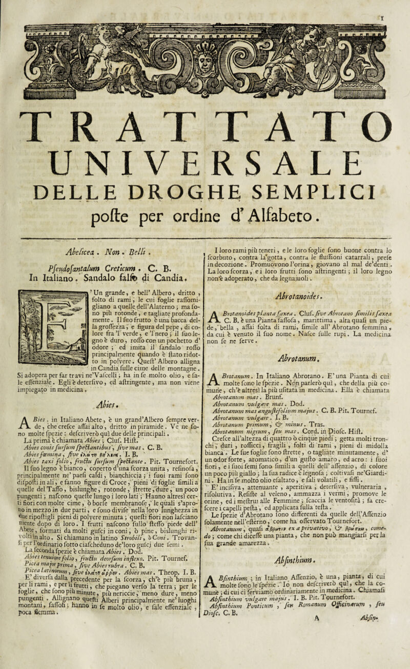 UNIVERSALE DELLE DROGHE SEMPLICI polle per ordine d’Alfabeto. Ab e lice a . Non f Belli . Pfeudofantalum Crettcum • C. B. In Italiano» Sandalo falfc di Candia. ■ Un grande, e bell’ Albero, dritto , folto di rami i le cui foglie raPòmi- gliano a quelle dell’Alaterno ; ma fo¬ no più rotonde , e tagliate profonda¬ mente. Il filo frutto è una bacca del¬ la grolfezza, e figura del pepe, di co¬ lore fra ’l verde, e Tnero ; il fuo le¬ gno è duro, rollò con un pochetto d’ odore ; ed imita il fandalo ' rolfo principalmente quando è flato ridot¬ to in polvere. QueP’ Albero alligna in Candia fulle cime delle montagne. Si adopera per far travi ne’Vaiceli! ; ha infe molto olio, efa- le elfenziaìe. Egli è deterfivo, ed affringente, ma non viene impiegato in medicina. Abies, ABies . in Italiano Abete, è un grand’Albero fempre ver¬ de, checrefce affai alto, dritto in piramide. Ve ne fo¬ no molte fpezie : defcriverò qui due delle principali. La prima è chiamata Abies ; Ciuf. Hill. v Abies conis furfum fpeSlantibus\ five mas, C. B. Abies faentina, five i\d t n iti Kit*. I. B. Abies taxi folio, fruftu furfum fpeElante . Pit. Tournefort. Il fuo legno è bianco, coperto d’una fcorza unita, refinofa, principalmente ne’paefi caldi, bianchiccia; i fuoi rami fono difpotti in ali, e fanno figure di Croce, pieni ‘di foglie fimili a quelle delTalfo, bislunghe, rotonde, Prette,‘dure, ’un poco pungenti ; nafcono quelle lungo i loro lati ; Hanno altresì cer¬ ti fiori con molte cime, ò borie membranofe fi le quali s’apro¬ no in mezzo in due parti, e fono divife nella loro lunghezza in due ripofligli pieni di polvere minuta ; quelli fiori non lafciano niente dopo di loro. I frutti nafcono Pillo'Pelfo piede dell’ Abete 7 formati da molti gufcj in coni, ò pine, bislunghi ri¬ volti ìnalto. Si chiamano inlatino Strobili, òConi. Trovan- iìperi.ordinariofotto ciafchedunode’lorogulcj due femi. La feconda fpezie è chiamata Abies. Dod. Abies tetiuìorefolio j fruftu dcorfum inflcxo. Pit. Tournef. Picea major prima, five Abies rubra. C. B. Pfcf latinorum , five ixùrt) uppnv . Abies mas. Theop. I. B. E diverta dalla precedente per la fcorza, ch’e più bruna, per li rami, e per U frutti, che piegano verfo la terra ; per le toglie, che tono piu minute, più nericciemeno dure, meno pungenti . Allignano queftì Alberi principalmente ne’luoghi montani, falfoh ; hanno in fe molto olio, e fiale eflenziafe , poca flemma. I loro rami più teneri, e le loro foglie fono buone contra lo fcorbuto, contra la’gotta, contra le fluffioni catarrali, prete in decozione. Promuovono l’orina, giovano al mal de’denti. La loro fcorza, e i loro frutti fono aPringenti ; il loro legno non*è adoperato, che da legnaiuoli. Abrotano idei. ABrotanoidespianta faxea. Ciuf, five Abrotano fimi li s faxea C. B. è una Pianta faflòfa, marittima, alta quali un pie¬ de /bella , affai tolta di rami, fimile all’Abrotano femmina, da cui è venuto il fuo nome. Nafce fulle rupi, La medicina non fe ne ferve. Abrotannm. ABrotanum. In Italiano Abrotano. E’ una Pianta di cui molte fono le fpezie . Non parlerò qui, che della più co¬ mune , ch’è altresì la più ufitata in medicina. Ella è chiamata Abrotanum mas. Brunf. Abrotanum vulgate mas. Dod. Abrotanum mas angujìifolium majus. C. B. Pit. Tournef. Abrotanum vulgate . I. B. Abrotanum primum, <& minus. Tras. Abrotanum nigrum , feu mas. Cord, in piofe. Hill. Crefce all’altezza di quattro ò cinque piedi ; getta molti tron¬ chi fi duri , rolficci , fragili , folti di rami , pieni di midolla bianca. Le fue foglie fono Prette, ©tagliate minutamente, d* un odor forte, aromatico, d’un gufio amaro, ed acro : i tuoi fiori, e i fuoi femi fono fimili a quelli dell’ alfenzio, di colore un poco più giallo ; la fua radice è lejpiofa ; coltivali ne’Giardi- ni. Ha in fe molto olio efaltato, e tali volatili, e filli. E’inciliya, attenuante , aperitiva , deterfiva , vulneraria , rifolutiva. Refifie al veleno, ammazza i vermi, promove le orine, ed i mefirui alle Femmine ; fcaccia le ventoiità ; fa cre- feere i capelli pepa, ed applicata filila tePa. Le fpezie d’Abrotano fono differenti da quelle dell’Alfenzio .fidamente nell’ePèrno, come ha olfervato Tournefort. Abrotanum , quali à^phnov ex a privativo, (jf fìp» crr.u, come~ do ; come chi dicelfe una pianta, che non può mangiarfi per la fua grande amarezza. V !. . I.' V Abfmth'ium. ABfinthium ; in Italiano Alfenzio, e una, pianta, di cui molte fono le fpezie Iò; non defcriverò qui, che la co¬ mune ; di cui ci ferviamo ordinariamente in medicina • Chiamali Abfnthium vulgate majus. I. B. Pit. Tournefort. Abfìntbium Ponticum , fiu Romanum Qjficinarum , feu Diofc. C. B. Lr A Ab fin» A