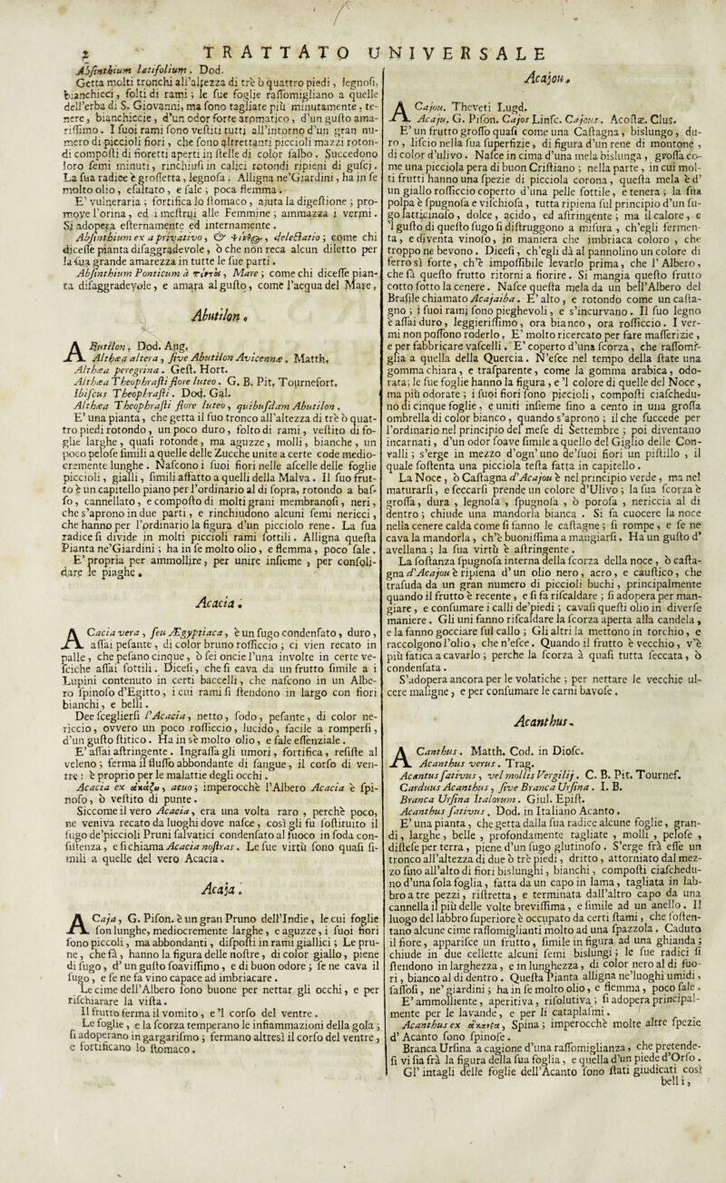 ? * TRATTATO U Abflnthium latifolium. Dod. Getta molti tronchi alì’alfezza di tré ò quattro piedi, legnofi, bianchicci, folti di rami ; le fue foglie raffomigliano a quelle dell’erba di S, Giovanni, ma fono tagliare piu minutamente, te¬ nere, bianchicce, d’un odor forte aromatico, d’un gufto ama- riftìmo • I Tuoi rami fono vediti tutti all’intornq d’un gran nu¬ mero di piccioli fiori, che fono altrettanti piccioli mazzi roton¬ di comporti di fioretti aperti in ftelle di color falbo . Succedono loro femi minuti, rincfiiufi in calici rotondi ripieni di gufcj. La fua radice è groftetta, legnofa . Alligna ne’Giardini, ha jn fe molto olio , efaltato, e fale ; poca flemma. E’ vulneraria ; fortifica lo ftomaco, ajuta la digertione ; pro- moyerorina, ed imeftrui alle Femmine; ammazza i vermi* Si adopera efternamente ed internamente . Abjtnthium ex a privativo, & , deleEìatio ; come chi cficefiè pianta difaggradevole, òche non reca alcun diletto per la fua grande amarezza in tutte le fue parti. Abfinthium Ponticum à r limai, Mare ; come chi dicefte pian¬ ta difaggradeyole, e amara al gufto, come l’acqua del Mare» Abutìlon <, Aputìlon. Dod. Afig, Altbcsa altera , jìve Abutìlon Avicenn<e. Matth, Althxa peregrina. Geft. Hort. Altbtea Theophrafti flore luteo. G. B. Pit, Toiirnefort, Ibifcus Theop/.rajìl. Docj. Gal. Altbtea Tbcqpbrajìi flore luteo, quibufdam Abutìlon. E’ una pianta, che getta il fuo tronco all’altezza di tre ò quat¬ tro piedi rotondo , un poco duro, folto di rami, veftito di fo¬ glie larghe, quali rotonde, ma aguzze, molli, bianche, un poco pelofe fimili a quelle delle Zucche unite a certe code medio¬ cremente lunghe. Nafconoi Tuoi fiori nelle afcelledelle foglie piccioli, gialli, fimili affatto a quelli della Malva. Il fuo frut¬ to è un capitello piano per l’ordinario al di fopra, rotondo a baf¬ fo, cannellato, e comporto di molti grani membranofi, neri, che s’aprono in due parti, e rinchiudono alcuni femi nericci, che hanno per l’prdinario la figura d’un picciolo rene. La fua radice fi divide in molti piccioli rami lottili. Alligna quefta Pianta ne’Giardini ; ha in fe molto olio, e flemma, poco fale . E’ propria per ammollire, per unire inficine , per confali- d.arp le piaghe. Acacia. ACacia vera , feu PEgyptiaca, è un fugo condenfato, duro , affai pefante , di color bruno rortìccio ; ci vien recato in palle, che pefano cinque, ò fei onde Puna involte in certe ve- fciche affai fottili. Dicefi, che fi cava da un frutto Amile a i Lupini contenuto in certi baccelli, che nafeono in un Albe¬ ro lpinofo d’Egitto, i cui rami fi ftendono in largo con fiori bianchi, e belli. Deefceglierfi PAcacia, netto, fodo, pefante, di color ne¬ riccio, ovvero un poco rortìccio, lucido, facile a romperfi, d’un gufto ftitico. Ha in se molto olio, e fale ert'enziale . E’affai aftringente. Ingraffagli umori, fortifica, refifte al veleno ; ferma il Huffo abbondante di fangue, il corfo di ven¬ tre : è proprio per le malattie degli occhi. Acacia ex tinàia, acuo ; imperocché l’Albero Acacia è fpi- nofo, ò veftito di punte. Siccome il vero Acacia, era una volta raro , perchè poco, nc veniva recato da luoghi dove nafee, così gli fu foftituito il fugo de’piccioli Pruni falvatici condenfato al fuoco in foda con¬ fluenza, e fi chiama Acacia noftras. Le fue virtù fono quafi fi- mili a quelle del vero Acacia. Acaja . ACaja, G. Pifon. è un gran Pruno dell’Indie, le cui foglie fon lunghe, mediocremente larghe, e aguzze, i Tuoi bori fono piccoli, ma abbondanti, difpofti in rami giallici ; Le pru- ne, chefà, hanno la figura delle noftre, di color giallo, piene di fugo, d’ un gufto foavirtimo, e di buon odore ; fe ne cava il lugo, e fe ne fa vino capace ad imbriacare . Le cime dell’Albero fono buone per nettar gli occhi, e per rischiarare la vifta. Il frutto ferma il vomito , e ’l corfo del ventre . Le foglie, e la feorza temperano le infiammazioni della gola ; li adoperano in gargarifmo ; fermano altresì il corfo del ventre, e fortificano lo ftomaco. NIVERSALE Ac aioli. ACajou. Thcveti Lugd. Acaju. G. Pifon. Cajos Linfe. Cajous. Acoftae. Clus. E’un fruttogroffoquafi come una Caftagna, bislungo, du¬ ro , lifeio nella fua fuperfizie, di figura d’un rene di montone , di color d’ulivo. Nalce in cima d’una mela bislunga , graffa ca¬ rne una picciqla pera di buon Criftiano ; nella parte , in cui mol¬ ti frutti hanno una fpezie di picciola corona, quella mela èd’ un giallo roffìccio coperto d’una pelle fottile, e tenera ; la fua polpa è fpugnofa e vilchiofa, tutta ripiena fui principio d’un fu¬ go latt^cinofo, dolce, acido, ed aftringente ; ma il calore, e '1 gufto di quello fugo fi diltruggono a mifura , ch'egli fermen¬ ta, e diventa vinol'o, jn maniera che imbriaca coloro , che troppo ne bevono. Dicefi, ch’egli dà al pannolino un colore di ferro sì forte, ch’è importabile levarlo prima, che P Albero, chela quello frutto ritorni a fiorire. Si mangia quello frutto cotto fotto la cenere. Nafte quella mela da un bell’Albero del Braille chiamato Acajaiba. E’ alto, e rotondo come un cafta¬ gna ; i fuoi ram; fono pieghevoli, e s’incurvano. Il fuo legno è affai duro, leggieriffimo, ora bianco, ora rortìccio. I ver¬ mi non pqffono roderlo , E’ molto ricercato per fare mafferizie, e per fabbricare vafcelli. E’ coperto d’una feorza, che raffomr- gfia a quella della Quercia. N’efce nel tempo della Hate una gomma chiara, e trafparente, come la gomma arabica, odo¬ rata; le fue foglie hanno la figura, e ’l colore di quelle del Noce, ma più odorate ; i fuoi fiori fono piccioli, comporti ciafchedur no di cinque foglie, e uniti infieme fino a cento in una graffa ombrella di color bianco , quando s’aprono ; il che fuccede per Pordinario nel principio del mefe di Settembre ; poi diventano incarnati, d’un odor foave fimjle a quello del Giglio delle Con¬ valli ; s’erge in mezzo d’ogn’uno ae’fuoi fiori un piftiilo , il quale foftenta una picciola tefta fatta in capitello. La Noce, b Caftagna cPAcajou è nel principio verde, ma nel maturarli, e feccarlì prende un colore d’Ulivo ; la fua feorza è graffa, dura , legnofa , fpugnofa , ò porofa , nericcia al di dentro ; chiude una mandorla bianca • Si fa cuocere la noce nella cenere calda come fi fanno le caftagne; fi rompe, e fe ne cava la mandorla, ch’è buomrtìma a mangiarfi. Ha un gufto d’ avellana ; la fua virtù è aftringente , La foftanza fpugnofa interna della feorza della noce, ò cafta¬ gna cPAcajou è ripiena d’un olio nero , acro, e cauftico, che trafuda da un gran numero di piccioli buchi, principalmente quando il frutto è recente, e fi fa rifcaldare ; fi adopera per man¬ giare , e confumare i calli de’piedi ; cavali quelli olio in diverfe maniere . Gli uni fanno rifcaldare la feorza aperta alla candela, e la fanno gocciare fui callo ; Gli altri la mettono in torchio, e raccolgono l’olio, che n’efce. Quando il frutto è vecchio, v'è più fatica a cavarlo ; perche la feorza à quafi tutta feccata, b condenfata. S’adopera ancora per le volatiche ; per nettare le vecchie ul¬ cere maligne, e per confumare le carni bavofe. Acanthus, ACanthus. Matth. Cod. in Diofc. Acanthus verus. Trag. Acantus fativus, vel moliti Vergili). C. B. Pit. Tournef. Carduus Acanthus, flve Bianca Urflna. I. B. Branca Urflna Italorum . Giul. Epift. Acanthus fativus. Dod. in Italiano Acanto. E’ una pianta, che getta dalla fua radice alcune foglie, gran¬ di , larghe, belle , profondamente tagliate , molli , pelofe , diftefe per terra, piene d’un fugo glutinofo . S’erge fra effe un tronco all’altezza di due ò tré piedi, dritto , attorniato dal mez¬ zo fino all’alto di fiori bislunghi, bianchi, comporti ciafchedu- no d’una fola foglia, fatta da un capo in lama, tagliata in lab¬ broatre pezzi, rillretta, e terminata dalPaltro capo da una cannella il più delle volte breviftìma, efimile ad un anello. Il luogo del labbro fuperiore è occupato da certi ftami, che 1 often- tano alcune cime raftomiglianti molto ad una fpazzola . Caduto il fiore, apparifte un frutto, Amile in figura ad una ghianda ; chiude in due cellette alcuni femi bislungi ; le fue radici fi {tendono in larghezza, e in lunghezza, di color nero al di fuo¬ ri , bianco al di dentro . Quella Pianta alligna ne’luoghi umidi, faffofi, ne’ giardini ; ha in fe molto olio, e flemma, poco fale . E’ammolliente, aperitiva, rifolutiva ; fi adopera principal¬ mente per le lavande, e per li cataplalmi. Acanthus ex «y.xnct, Spina ; imperocché molte altre fpezie d’ Acanto fono fpinofe. Branca Urfina a cagione d’una raffomiglianza, che pretende- fi vi fia frà la figura della fua foglia, e quella d’un piede d’Orlo . Gl’ intagli delle foglie ddl’Acanto fono flati giudicati così bell i, I