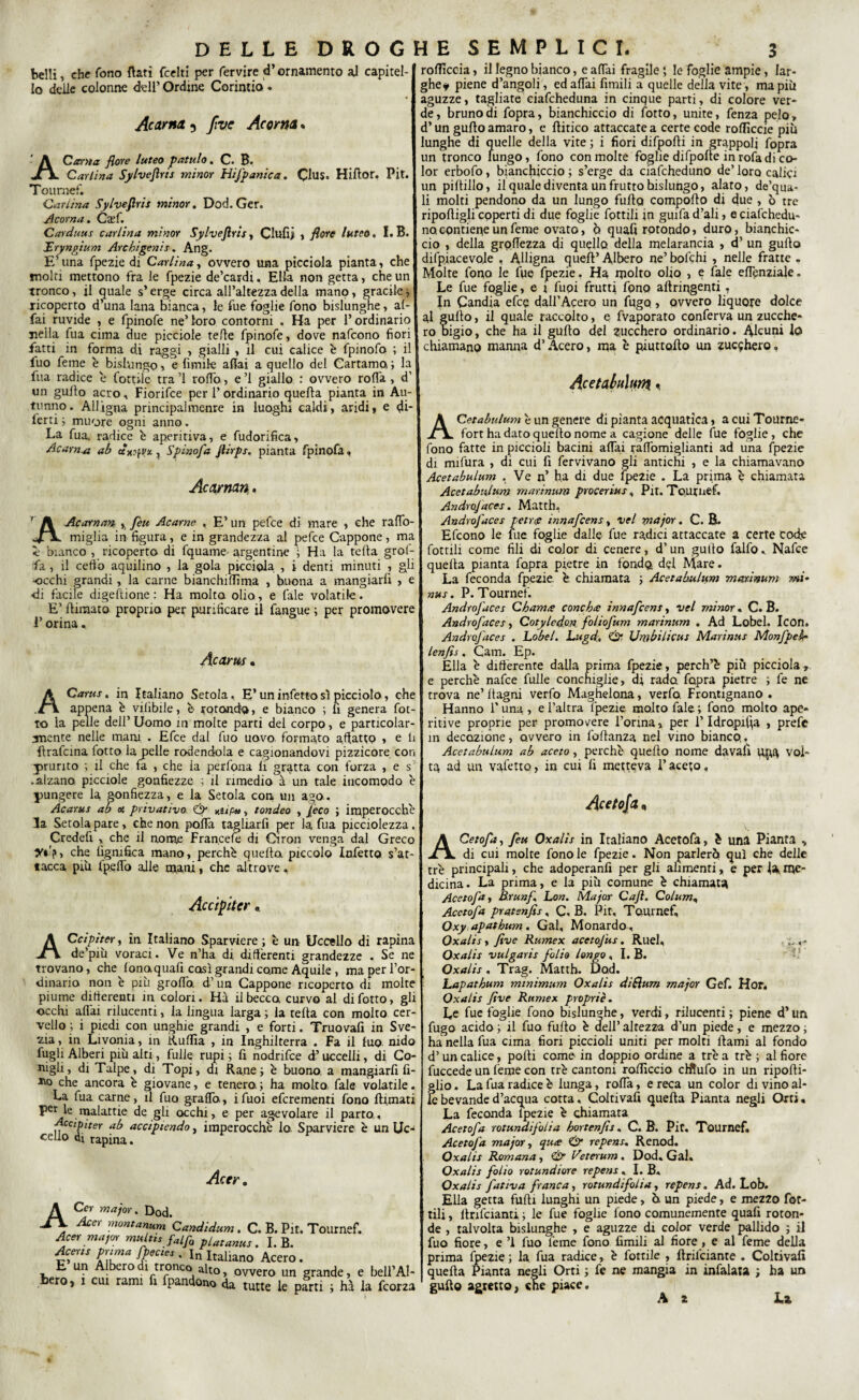 belli, che fono flati {celti per fervire d’ornamento al capitel¬ lo delle colonne dell’ Ordine Corintio. Ac ama 5 fivc Aroma. Cerna flore luteo patulo. C. B- Carlina Sylveflris minor Hifpanica. Clus. Hiftor. Pit. Toumef. Carlina Sylveflris minor. Dod. Ger. Scorna. Caff. Carduus carlina minor Sylveflris, Clufij , flore luteo. I. B. Tryngium Arcbigenis. Ang. E’una fpezie di Carlina, ovvero una picciola pianta, che molti mettono fra le fpezie de’cardi, Ella non getta, che un tronco, il quale s’erge circa all’altezza della mano, gracile, ricoperto d’una lana bianca, le fue foglie fono bislunghe, af¬ fai ruvide , e fpinofe ne’loro contorni . Ha per l’ordinario nella fua cima due picciole tette fpinofe, dove nafeono fiori fatti in forma d.i raggi , gialli , il cui calice è fpmofo ; il fuo feme è bislungo, e limile aliai a quello del Cartamo,; la fua radice e Cottile tra’l rotto , e’1 giallo : ovvero rotta, d’ un guilo acro, Fiorifce per l’ordinario quella pianta in Au¬ tunno. Alligna principaimenre in luoghi caldi, aridi, e di* fierti ; muore ogni anno. La fua. radice b aperitiva, e fudorifica, Acarn.a ab «xjff'x * Spino fa flirps. pianta fpinofa, Acaman. Ac amen , fèu Acarne , E’ un pefce di mare , che raffo- miglia in figura, e in grandezza al pefce Cappone, ma lè bianco , ricoperto di fquame argentine ; Ha la tetta grol- fa, il ceffo aquilino , la gola piccipla , i denti minuti , gli occhi grandi, la carne bianchi dima , buona a mangiari , e di facile digestione : Ha molta olio, e l’ale volatile. E’ (limato proprio per purificare il fangue ; per promovere l’orina. rotticela, il legno bianco, e aliai fragile ; le foglie ampie, lar¬ ghe * piene d’angoli, ed affai fimili a quelle della vite , ma più aguzze, tagliate ciafcheduna in cinque parti, di colore ver¬ de, bruno di fopra, bianchiccio di Sotto, unite, fenza pelo, d’un gulto amaro, e flitico attaccate a certe code rottìccie più lunghe di quelle della vite ; i fiori difpofti in grappoli fopra un tronco lungo, fono con molte foglie difpofte in rofa di co¬ lor erbofo, bianchiccio; s’erge da ciafcheduno de’loro calici un piltillo, il quale diventa un frutto bislungo, alato, de’qua- li molti pendono da un lungo furto comporto di due , ò tre riportigli coperti di due foglie fpttili in guifa d’ali, e ciafchedu¬ no. contiene un feme ovato, ò quali rotondo, duro, bianchic¬ cio , della grortezza di quello della melarancia , d’ un gufto difpiacevoje , Alligna quell’ Albero ne’ bofthi , nelle fratte . Molte fono le fue fpezie. Ha molto olio , e Sale effenziale. Le fue foglie, e i fuoi frutti fono altririgenti , In Candia efee dall’Acero un fugo , ovvero liquore dolce al gufto, il quale raccolto, e fvaporato conferva un zucche¬ ro bigio, che ha il gufto del zucchero ordinario. Alcuni lo chiamano manna d’Acero, ma è piuttofto un zucchero» Acetabulum. ACetabulum è un genere di pianta acquatica, a cui Tourne- fort ha dato quello nome a cagione delle Sue foglie, che fono fatte in piccioli bacini aliai raffomiglianti ad una Spezie di mifura , di cui fi fervivano gli antichi , e la chiamavano Acetabulum , Ve n’ ha di due fpezie . La prima è chiamata Acetabulum marinum procerius, Pit. Tournef. Androfaces. Matth, Androfaces petrae innafeens, vel major. C. B. Efcono le fue foglie dalle fue radici attaccate a certe Code Tortili come fili di color di cenere, d’un gullo falfo » Nafce quella pianta fopra pietre in fondo del Mare. La feconda fpezie è chiamata ; Acetabulum marinum mi• nus. P. Tournef. Androfaces Chame conchee innafeens, vel minor. C. B. Androfaces, Cotyledm foliofum marinum . Ad Lobel. Icon, Androfaces . Lobel. Lugd, & Umbilicus Marinus Monfpelr Acarm. ACarus. in Italiano Setola, E’un infetto sì picciolo, che appena è vilìbile, è rotondo, e bianco ; li genera fot¬ te la pelle dell’ Uomo in molte parti del corpo, e particolar¬ mente nelle mani . Efce dal fuo uovo, formato adatto , e li llrafcina fiotto la pelle rodendola e cagionandovi pizzicore con prurito ; il che fa , che la perfona li gratta con forza , e s .alzano picciole gonfiezze ; il rimedio à un tale incomodo è pungere la gonfiezza, e la Setola con, un ago. Acarus ab et, privativo & n.upu, tondeo , feco ; imperocché la Setola pare, che non porta tagliarli per la fua picciolezza. Credefi , che il nome Francete di Oiron venga dal Greco che lignifica mano, perchè quella piccolo Infetto s’at¬ tacca piu (petto alle mani, che altrove, Accipiter « ACcipiter, in Italiano Sparviere ; è un Uccello di rapina de’piu voraci. Ve n’ha di difierenti grandezze . Se ne trovano, che lonoquafi così grandi come Aquile , ma per l’or¬ dinaria non è piu grotto, d’un Cappone ricoperto di molte piume difierenti in colori. Ha il becca curvo al di fotto, gli occhi affai rilucenti, la lingua larga ; la tetta con molto cer¬ vello ; i piedi con unghie grandi , e forti. Truovafi in Sve¬ zia , in Livonia, in Ruffa , in Inghilterra . Fa il luo nido lugli Alberi più alti, Lulle rupi ; fi nodrifce d’uccelli, di Co¬ nigli, di Talpe, di Topi, di Rane; è buono a mangiarli fi¬ no che ancora è giovane, e tenero. ; ha molto fate volatile. La fua carne, il fuo graffa, ifuoi eferementi fono (limati per le malattie de gli occhi, e per agevolare il parto., fcipiter ab accipiendo, imperocché lo. Sparviere è un Uc¬ cello di rapina. Acer. A Cor major. Dod. Acer montanara Candidum . C. B. Pit. Tournef. /teer major mult,sfalJh pLatantiS . I. B. Acens puma fpecies . In Italiano Acero . E un Albero di tronco alto, ovvero un grande, e bell’Al- bero, 1 cui rami fi fpandono da tutte le parti ; ha la feorza lenfis. Cam. Ep. Ella è differente dalla prima fpezie, perch’è più picciola» e perchè nafce fulle conchiglie, d; rado fopra pietre ; fe ne trova ne’ ltagni verfo Maghelona, verfo. Frontignano . Hanno 1’ una , e l’altra fpezie molto fiale ; fono molto ape- ritive proprie per promovere l’orina, per l’Idropica , prefe in decozione, ovvero in fottanza nel vino bianco,. Acetabulum ab aceto, perchè quello nome davatt u^a vol¬ ta ad un vasetto, in cui lì metteva l’aceto. Acetosa « ACetofa, feu Oxalis in Italiano Acetofa, è una Pianta , di cui molte fono le fpezie. Non parlerò qui che delle tré principali, che adoperanfi per gli alimenti, e per la, me¬ dicina. La prima, e la più comune è chiamata Acetofa, Brunf. Lon. Major Cafl. Colum. Acetofa pratsnfis. C, B. Pit, Tournef, Oxy apathum . Gal, Monardo , Oxalis, flve Rumex acetofus. Ruel, .. Oxalis vulgaris folio tango, I. B. Oxalis . Trag. Matth. Dod. hapatbum minimum Oxalis di Slum major Gef. Hor. Oxalis flve Rumex proprie. Ce fue foglie fono bislunghe, verdi, rilucenti ; piene d’un fugo acido ; il fuo futto è dell’ altezza d’un piede, e mezzo ; ha nella fua cima fiori piccioli uniti per molti (lami al fondo d’un calice, polli come in doppio ordine a tré a tré ; al fiore fuccede un lème con tre cantoni roffccio cHlufo in un ripofti- glio. La fua radice è lunga, rotta, e reca un color di vino al¬ le bevande d’acqua cotta, Coltivali quella Pianta negli Orti « La feconda fpezie è chiamata Acetofa rotundifoiia hortenfis. C. B. Pit. Tournef, Acetofa major, qua & repens. Renod. Oxalis Romana, & Vtterum . Dod, Gal, Oxalis folio rotundiore repens , I. B, Oxalis fativa franca, rotundifoiia, repens. Ad. Lob. Ella getta furti lunghi un piede, ò un piede, e mezzo rot¬ tili , llnfcianti ; le fue foglie fono comunemente quafi roton¬ de , talvolta bislunghe , e aguzze di color verde pallido ; il fuo fiore, e ’l fuo lème fono fimili al fiore, e al feme della prima fpezie ; la fua radice, è fottile , rtril’ciante . Coltivali quella Pianta negli Orti ; fe ne mangia in infalata ; ha un gufto agretto, «ne piace. A t La A £