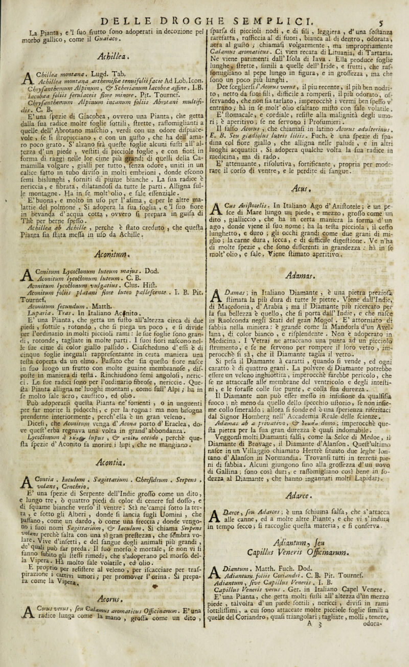 La Pianta, e ’l fuo frutto fono adoperati in decozione pei morbo gallico, come il Guaiaco. Achillea. Achillea montana. Lugd. Tab. Achillea montana artbemifite temafoUi facic Ad Lob.Icon. Chryj'anthemum Alpinum , & Scherianum Iacobea ajjine . I.B. lacobcea foliis ferulaceis flore minore. Pjt. Tournef. Chryfanthemum Alpinum ine unum foliis Abrotani multifl- clis. C. B. E’ una fpezie di Giacobea, ovvero una Pianta, che getta dalla fua radice molte foglie fattili, Arette, raffomiglianti a quelle dell’ Abrotano mafehio , verdi con un odore difpiace- vole , fe fi Àropicciano , e con un gulto , che ha dell’ ama¬ ro poco grato. S’alzano fra queAe foglie alcuni fuAi all’al¬ tezza 4’ un piede , veAiti di picciole foglie , e con fiori in forma di raggi nelle lor cime più grandi di quelli delia Ca- mamilla volgare , gialli per tutto, fenza odore, uniti in un calice fatto in tubo divilo m molti embrioni , 4onde efeono l'emi bislunghi , forniti di' piume bianche . La fua radice e nericcia, e fibrata, dilatandofi da tutte le parti. Alligna fili¬ le montagne . E|a in fe molt’ olio, e fale elfenziale . E’ buona, e molto in ufo per l’afima , e per le altre ma¬ lattie del polmone . Si adopera la fua foglia , e ’l fuo fiore in bevanda d’ acqua cotta , ovvero fi prepara in guifa di Thè per berne fpeffò. Achillea ab Achille , perche è fiato creduto , che quella Pianta fia fia.ta mefTa in ufo da Achille, Aconitum « fparfa di piccioli nodi , e di fili , leggiera , d* una lofianza rarefatta, rolficcia al di fuori, bianca al di dentro, odorata, aera al gufio ; chiamafi volgarmente , ma impropriamente Calamus aromaticus. Ci vien recata di Lituania, di Tartaria. Ne viene parimenti dall’ Ifola di lava . Ella produce foglie lunghe, firette, limili a quelle dell’ Inde, e frutti, che raf- ffmigliano al pepe lungo in figura, e in grofiezza , ma che fono un poco più lunghi. Dee fceglierfi PAcorus vcrus, il piu recente, il più ben nodi-i¬ to , netto da fuo.i fili, difficile a romperli, il più odorato, of- fervando, che non lia tarlato, imperocché i vermi ben fpeffò v’ entrano ; ha in fe molt’ olio efaltato mifio con fale volatile. E’ fiomacaie, e cordiale, refifte alla malignità degli umo¬ ri ; è aperitivo ; fe ne fervono i Profumieri. Il tallo Acorus , che chiamafi in latino Acorus adulterinus. E, B. Seu giadiùlus luteis liliis. Fuch. è una fpezie di fpa- dina cpl fiore giallo , che alligna nelle paludi , e in altri luoghi acquatici , Si adopera qualche volta la fua radice in medicina, ma di rado. E’ attenuante , rifolutiva, fortificante , propria per mode¬ rare il corfp di ventre, e le perdite di fangue. Acus9 ACus Ariflotelis. In Italiano Ago d’Arifiotele ; è un pe- Ice di Mare lungo un piede, e mezzo, groffo come un dito , gialliccio , che ha in certa maniera la forma d’un ago, donde viene il fuo nome ; ha la tefia picciola , il ceffo lunghetto, e duro ; gli occhi grandi come due grani di mi¬ glio; la carne dura, lecca, e di difficile digefiione. Ve n’ha di molte fpezie , che fono differenti in grandezza : ha in fe molt’olio, e fale. Viene fiimato aperitivo. AConitum Lycoélonum luteum majus. Dod. Aconitum lycoftonum. luteum. C. B. Aconitum lycotlonum vulgatius. Clus. Hifi. Aconitum foliis platani flore luteo pallefcente . I. B. Pit. Tournef, Aconitum fecundum . Mattb. Luparia. Tras. In Italiano Acfnito. E’ una Pianta, che getta un furto all’altezza circa di due piedi , fottile , rotondo , che. fi piega un poco , e fi divide per l’ordinario in molti piccioli rami : le fue foglie fono gran¬ di, rotonde, tagliate in molte parti. I fuoi fiori nafeononel¬ le fue cime di color giallo pallido . Cialcheduno d’elTì è di cinque foglie ineguali rapprefentante in certa maniera una tefia coperta da un elmo » Paflato che fia quello fiore nafee in fuo luogo un frutto con molte guaine membranofe , dif- pofte in maniera di tefia. Rinchiudono femi angolo!!, neric¬ ci . Le fue radici fono per l’ordinario fibrofe , nericcie. Que¬ lla Pianta alligna ne’ luoghi montani, come: full’ Alpi ; ha in fe molto fale acro, caufiico, ed olio. Può adoperarli quella Pianta ne’fomenti , o in unguenti per far morire li pidocchi, e per la rogna : ma non bifogna prenderne interiormente, perch’ ella è un gran veleno. Dicefi, che Aconitujn venga d’Acona porto d’Eraclea, do¬ ve quell’erba regnava una volta in grand’abbondanza. LycoBonurn 4 lupus , & vati tu occido , perchè que¬ lla fpezie d’ Aconito fa morire i lupi, che ne mangiano. Acontìa. A Conti a . laculum . S agit tari un: . Cherfldrum . Serpens , volans, Cene brio. E’ una fpezie di Serpente dell’Indie groffo come un dito, e lungo tre, ò quattro piedi di cplor di cenere fui dolfo, e di Iquame bianche verfo' il ventre . Sta ne’campi fotto la ter¬ ra , e fotto gli Alberi , donde fi lancia fugli Uomini , che palfano, come un dardo, ò come una freccia ; donde vengo¬ no i fuoi nomi Sagittarium, & laculum. Si chiama Serpens -uoUns perchè falta con una sì gran preftezza, che fifmbra vo- *fr,e* Vive d’infetti, e del fangue dogli animali più grandi , ile quali può far preda. Il luo morfo è mortale, fe non vi lì tanno fubìto gli ffeffì rimedi, che s’adoperano pel morfo. del- .a Vipera. Ha molto fale volatile, ed olio. E proprio per refifiere al veleno , per ifeacciare per traf- pirazione 1 cattivi umori ; per promover 1’ orina. Si prepa¬ ra come la Vipera. Acorus. ACorusvnus, feu Calamus aromaticus Ojflcinarum. E’una radice lunga come la mano , grolla come un dito , Àdamas. ADamasy in Italiano Diamante , è una pietra preziofà, fiimata la più dura di tutte le pietre. Viene dail’Indie, di Macedonia, d’Arabia ; ma il Diamante più ricercato per la fua bellezza è quello, che fi porta da il’ Indie, e che nafee in Raolconda negli Stati del gran Mogol . E’ attorniato di labbia nella miniera : è grande come la Mandorla d’un AveK lana , di color bianco , e rifplendente . Non è adoperato in Medicina . I Vetrai ne attaccano una punta ad un picciolo finimento, e fe ne fervono per rompere il loro vetro , im¬ perocché fi sà, che il Diamante taglia il vetro¬ si pefa il Diamante à caratti , quando lì vende , ed ogni caratto è di quattro grani. La polvere di Diamante potrebbe eflere un veleno inghiottita, imperocché farebbe pericolo, che fe ne attaccafie alle membrane dei ventricolo e degli intefii- ni, e le foralfe colle fue punte, e colla fua durezza. Il Diamante non può effer meffò in infulione da quallìlìa fuoco ; nè meno da quello dello fpecchio ufiorio, fe non inlie- me collo fmeraldo ; allora fi fonde ed è una fpcrienza riferitaci dal Signor Homberg nell’ Accademia Reale delle Icienze. Adamas ab a privativo, Cjy Ixuda domo:, imperocché que¬ lla pietra per la fua gran, durezza è quafi indomabile. Veggono molti Diamanti, falfi, come la Selce di Medoe, il Diamante di Brovage, il Diamante d’Alanfon. Quefi’ultima nafee in un Villaggio chiamato Hertrè fituato due leghe lon¬ tano d’Alanfon in Normandia. Trovanfi tutti in terreni pie¬ ni di fabbia. Alcuni giungono fino alla grolfezza d’un uovo di Gallina ; fono così duri, e rafiòmigiiano così bene in lo- dezza al Diamante , che hanno ingannati moiri Lapidar; „ Adarce, AQarqe, feu Adarces ; è una fchiuma falfa, che s’attacca alle canne, ed a molte altre Piante, e che vi s’indura in tempo fecco ; fi raccoglie quella materia, e fi conferva. Adiantum5 feu Capillus Veneris Officinarum, ADiantum. Matth. Fuch. Dod. Adiantum. foliis Coxiandri. C. B. Pir. Tournef. Adiantum , five Capillus Veneris . I. B. Capillus Veneris verus . Ger. in Italiano Capei Venere. E’una Pianta, che getta molti furti all’altezza d’un mezzo piede , talvolta d’ un piede lottili , nericci , divifi in rami fottiliffimi., a cui fono attaccate molte picciole foglie limili a quelle del Coriandro, quafi triangolari ; tagliate, molli, tenere, A ? odora-