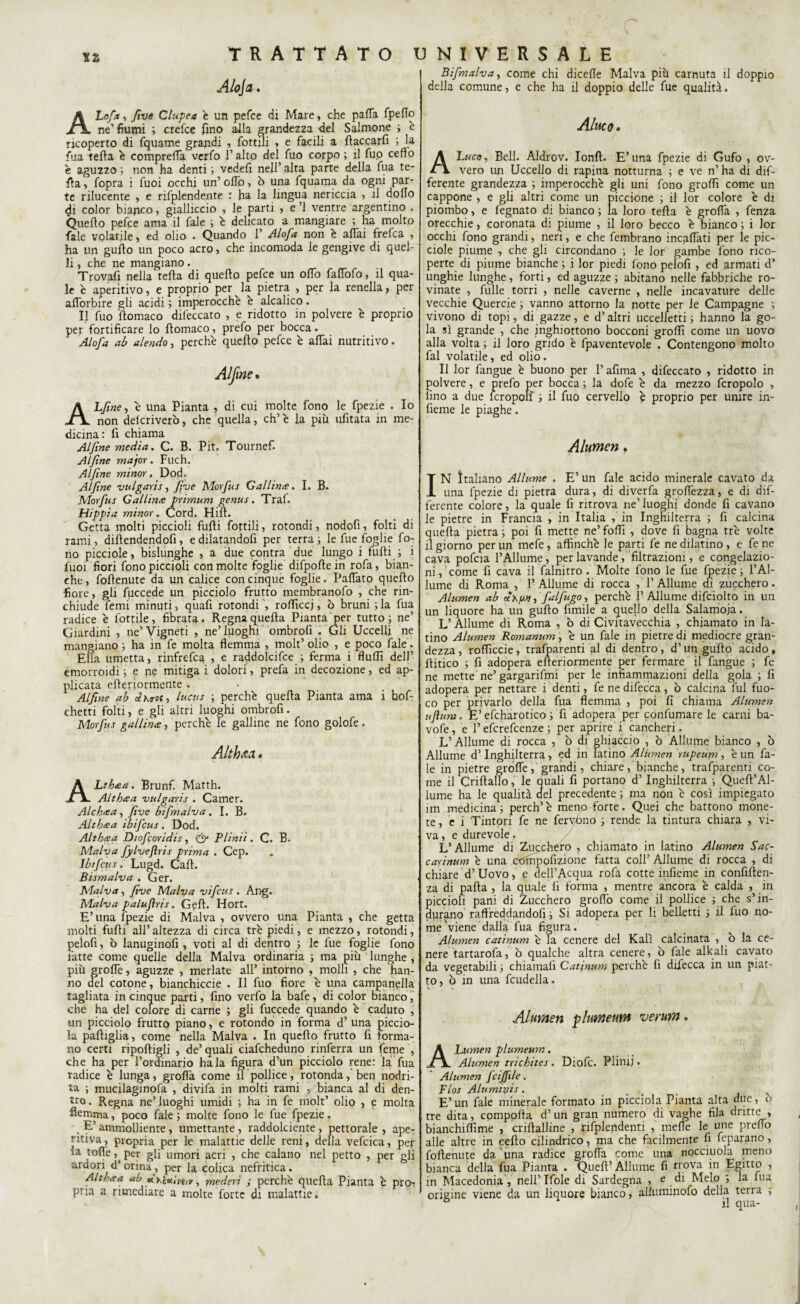 xz TRATTATO Aloja. ALofia, five Clupea e un pefce di Mare, che palla fpeflo ne' fiumi ; crefce fino alla grandezza del Salmone ; é ricoperto di fquatne grandi , rottili , e facili a flaccarfi ; la filatelia é comprefla verfo l’alto del fuo corpo; il fuo ceffo è aguzzo ; non ha denti ; vedefì nell’ alta parte della fua te¬ tta , fopra i Tuoi occhi un’ odo, ò una fquama da ogni par¬ te rilucente , e rifplendente : ha la lingua nericcia , il dolio di color bianco, gialliccio , le parti , e ’l ventre argentino . Quello pefce ama il fole ; é delicato a mangiare ; ha molto fiale volatile, ed olio . Quando 1* Alofia non è affai frefca , ha un guflo un poco acro, che incomoda le gengive di quel¬ li , che ne mangiano. Trovafi nella fella di quello pefce un olTo falTofo, il qua¬ le é aperitivo, e proprio perula pietra , per la renella, per alforbire gli acidi ; imperocché è alcalico. Il fuo filomaco difeccato , e ridotto in polvere è proprio per fortificare lo filomaco, prefo per bocca. 'Aloja ab alendo, perché quello pefce é affai nutritivo. Alfine, é una Pianta , di cui molte fono le fpezie . Io non delcriverb, che quella, eh’ é la più ufitata in me¬ dicina: fi chiama Alfine media. C. B. Pit. Tournef. Alfine major. Fuch. Alfine minor. Dodo Alfine vulgati s, fi ve Morfus Gallina. I. B. Morfius Gallina primum genus. Traf. Hippia minor. Cord. Hifit. Getta molti piccioli fulli Cottili, rotondi, nodofi, folti di rami, difendendoli, edilatandofi per terra; le fue foglie fo¬ no picciole, bislunghe , a due contra due lungo i fulli ; i fiuoi fiori fono piccioli con molte foglie difpolle in rofa, bian¬ che , fofilenute da un calice con cinque foglie. Palfato quefto fiore, gli fuccede un picciolo frutto membranofo , che rin¬ chiude femi minuti, quafi rotondi ', rolficcj, ò bruni ; la fua radice é fiottile, fibrata. Regna quella Pianta per tutto; ne’ Giardini , ne’Vigneti , ne’luoghi ombrofi . Gli Uccelli ne mangiano ; ha in fe molta flemma , molt’olio , e poco fiale. Ella umetta, rinfrefea , e raddolcifice ; ferma i fluflì dell’ emorroidi ; e ne mitiga i dolori, prefa in decozione, ed ap¬ plicata efleriormente . Alfine ab dhrot, lucus ; perché quella Pianta ama i bof- chetti folti, e gli altri luoghi ombrofi. Morjus gallina, perché le galline ne fono golofe. Alth&Ct. ALthaa. Brunf. Matth. Althaa vulgaris . Camer. Alchaa, five bifimalva. I. B. Althaa ibificus. Dod. Althaa Diofcoridis, & Plinii. C. B- Malva fiylveftris prima . Cep. Ibtficus. Lugd. Cali. Bi sma Iva . Ger. Malva, five Malva vifeus. Ang. Malva palujìns. Geli. Hort. E’una fpezie di Malva , ovvero una Pianta , che getta molti Gufiti all’altezza di circa tré piedi, e mezzo, rotondi, pelofi, ò lanuginofi , voti al di dentro ; le fue foglie fono latte come quelle della Malva ordinaria ; ma più lunghe , più grolfe, aguzze , merlate all’ intorno , molli , che han¬ no del cotone, bianchiccie . Il fuo fiore é una campanella tagliata in cinque parti, fino verfo la bafe, di color bianco, che ha del colore di carne ; gli fuccede quando é caduto , un picciolo frutto piano, e rotondo in forma d’ una piccio- la pafliglia, come nella Malva . In quello frutto fi forma¬ no certi ripolligli , de’quali ciafcheduno rinferra un feme , che ha per l’ordinario ha la figura d’un picciolo rene: la fua radice é lunga, grolla come il pollice, rotonda, ben nodri- ta ; mucilaginofa , divida in molti rami , bianca al di den¬ tro. Regna ne’luoghi umidi ; ha in fe rnolt’ olio , £ molta flemma, poco fiale ; molte fono le fue fpezie. . E’ ammolliente, umettante , raddolcente, pettorale , ape- ritiva, propria per le malattie delie reni, della vefcica, per ia toffe, per gli umori acri , che calano nel petto , per gli ardori d’orina, per la colica nefritica. Althaa ab fin«.Ve,*, moderi ; perché quella Pianta é pro¬ pria a rimediare a molte forte di malattie. UNIVERSALE Bifimalva, come chi dicefle Malva più carnuta il doppio della comune, e che ha il doppio delle fue qualità. Aluco • A Luco, Bell. Aldrov. Ionft. E’una fpezie di Gufo , ov¬ vero un Uccello di rapina notturna ; e ve n’ ha di dif¬ ferente grandezza ; imperocché gli uni fono groffi come un cappone , e gli altri come un piccione ; il lor colore é di piombo, e fegnato di bianco ; la loro tefla è grofla , fenza orecchie, coronata di piume , il loro becco é bianco ; i lor occhi fono grandi, neri, e che fembrano incaflati per le pic¬ ciole piume , che gli circondano ; le lor gambe fono rico¬ perte di piume bianche ; i lor piedi fono pelofi , ed armati d’ unghie lunghe, forti, ed aguzze ; abitano nelle fabbriche ro¬ vinate , fulle torri , nelle caverne , nelle incavature delle vecchie Querele ; vanno attorno la notte per le Campagne ; vivono di topi, di gazze, e d’altri uccelletti ; hanno la go¬ la sì grande , che inghiottono bocconi groffi come un uovo alla volta ; il loro grido è fpaventevole . Contengono molto fai volatile, ed olio. Il lor fangue è buono per l’afima , difeccato , ridotto in polvere, e prefo per bocca ; la dofe é da mezzo fcropolo , lino a due ìcropoli ; il fuo cervello è proprio per unire in- fieme le piaghe. Alumen. IN Italiano Allume . E’ un fale acido minerale cavato da una fpezie di pietra dura, di diverfa groflèzza, e di dif¬ ferente colore, la quale fi ritrova ne’ luoghi donde fi cavano le pietre in Francia , in Italia , in Inghilterra ; fi calcina quella pietra ; poi fi mette ne’ foffi , dove fi bagna tré volte il giorno per un mefe, affinché le parti fe ne dilatino, e fe ne cava pofcia l’Allume, per lavande /filtrazioni, e congelazio¬ ni , ' come fi cava il falnitro . Molte fono le fue fpezie ; l’Al¬ lume di Roma , l’Allume di rocca , T Allume di zucchero. Alumen ab , fialfiugo, perché 1’ Allume difciolto in un un liquore ha un guflo fimile a quello della Salamoia. L’Allume di Roma , ò di Civitavecchia , chiamato in la¬ tino Alumen Romanum, é un fale in pietre di mediocre gran¬ dezza , rofficcie, trafparenti al di dentro , d’un guflo acido, flitico ; fi adopera efleriormente per fermare il fangue ; fe ne mette ne’gargarifrni per le infiammazioni della gola ; fi adopera per nettare fidenti, fenedifecca, ò calcina fui fuo¬ co per privarlo della fua flemma , poi fi chiama Alumen ujìum. E’efcharotico ; fi adopera per confumare le carni ba- vofe, e T efcrefcenze ; per aprire i cancheri. L’Allume di rocca , ò di ghiaccio , ò Allume bianco , ò Allume d’Inghilterra, ed in latino Alumen rupeum, é un fa¬ le in pietre grolle, grandi, chiare, bianche, trafparenti co¬ me il Criflallo, le quali fi portano d’Inghilterra ; Quell’Al¬ lume ha le qualità del precedente ; ma non é così impiegato un medicina; perch’é meno forte. Quei che battono mone¬ te, e i Tintori fe ne fervono ; rende la tintura chiara , vi¬ va , e durevole. L’Allume di Zucchero , chiamato in latino Alumen Sac- carinum é una cOmpofizione fatta coll’ Allume di rocca , di chiare d’ Uovo, e dell’Acqua rofa cotte infieme in confiflen- za di palla , la quale fi forma , mentre ancora é calda , in piccioli pani di Zucchero groflo come il pollice ; che s’in¬ durano raffreddandoli ; Si adopera per li belletti ; il fuo no¬ me viene dalla fua figura. Alumen catinum é la cenere del Kalì calcinata , o la ce¬ nere tartarofa, ò qualche altra cenere, ò fale alkali cavato da vegetabili ; chiamali Catinum perché li difecca in un piat¬ to, ò in una faldella, Alumen plumeum ve rum. A Lumen plumeum. Alumen trichites . Diolc. Plinij, Alumen ficijfide. Flos Alumiyis. , E’ un fale minerale formato in picciola Pianta alta due, o tre dita, cpmpofta d’ un gran numero di vaghe fila dritte , bianchiffime , criftalline , nfplendenti , mede le une predo alle altre in cello cilindrico, ma che facilmente fi feparano, foftenute da'una radice groffà come una npcciuola meno bianca della fua Pianta . Quell’ Allume fi trova in Egitto , in Macedonia , nell’Ifole di Sardegna , e di Melo ; la lua origine viene da un liquore bianco, alluminofo della terra ; ° il qua-