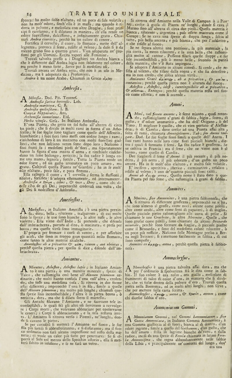 fporca.' ha molto lolfo efaltato, ed un poco di fale volatile, non ha molt’ odore, finch’ ella è in malia ; ma quando è ri¬ dotta in polvere, e mefcolata con altre Droghe, i fuoi prin¬ cipi h rarefanno, e fi dilatano in maniera, ch’ella rende un odore foavillìmo, dolciffimo, e infirjitamente grato . Chia¬ mali Ambra cineritia, perchè ha un colore di cenere , Fortifica il cervello, il cuore, lo fiomaco , mette dell’ al¬ legrezza , provoca il feme, refiffe al veleno ; la dofe fi è da mezzo grano fino a quattro grani . Vien adoperata ne’ pro¬ fumi per gli Uomini. Eccita vapori alle Femmine. Trovali talvolta predo a i Droghieri un Ambra bianca , che è differente dall’Ambra bigia non fidamente nel colore, ma perche è meno forte . Serve per li medefimi ufi. Trovafi ancora un’Ambra nera, che non è in ufo in Me¬ dicina, ma è adoperata da i Profumieri. Ambra è un nome Arabo. Chiamafi in Greco ùpfiptp AMbroJta. Dod. Pit. Tournef. Ambrofia J'ativa hortenfis. Lob. Ambrofia maritima. C. B. Ambrofia quibufdam. I. B. Conyza Hippocratis. Ans, A+rthemifia monoclonos. Eid. Herba vinoj'a. Gefa. In Italiano Ambrofia, E’una Pianta, che getta un fol fuffo all’altezza di circa lin piede ; che fi divide in molti rami in forma d’ un Arbo¬ scello; le fue foglie fono tagliate come quelle dell’Affènzio, bianchiccie ; i fuoi fiori fono meffi con ordine lungo i rami ; cialcheduno di loro è un mazzetto con molti fiorellini gial¬ licci , che non lafciano verun feme dopo loro ; Nafcono i fuoi frutti fu i medefimi piedi de’fiori , ma feparatamente hanno la figura d’una mazza d’ arma , e rinchiude ciafche- duno un feme bislungo, nericcio; la fua radice è lunga co¬ me una mano, legnofa , fiottile. Tutta la Pianta rende un odor fioave , ed un guffo aromatico un poco amaro , ma grato. Coltivali quella Pianta ne’Giardini ; ha in fe molt’ olio efaltato, poco fale, e poca flemma . Ella rallegra il cuore , e ’l cervello ; ferma le flulfioni ; tifolve, fortifica : li adopra eflernamente, ed internamente . Ambrofia a , cibus , & essi , Deus , come chi di- Ceffg cibo de gli Dei; imperocché credeva!! una volta , che gli Dei fi nodriffero d’Ambrofia. ' / Amethyftus. AMethyJìus, in Italiano Ametiffa ; è una pietra prezio- fia, dura, bella , rilucente , trafparente , di cui molte fono le fpezie ; le une fono bianche , le altre rofle , le altre violette . Ella viene dall’ Indie . Si pretende , che difenda dall’ imbriachezza, portata al dito, ò macinata, e prefa per bocca; ma quelle virtù fono immaginarie. E’ propria per fermare i corfi di ventre , e per alforbire gli acidi, che fono in troppo gran quantità nello llomaco, come fanno le altre materie alcaliche. Amethyjìus ab a privativo & fitPn, vinum , aut ebrietà* , Eerch? quella pietra , per quello fi dice , difende dall’ im- riachezza. Si ritrova dell’Amianto nella Valle di Campan à 1 Pire* nei ; orefice à guifa di Pianta ne’ luoghi , donde fi cava il Marmo fino all’altezza di circa due piedi. Quella materia è bianca , rilucente , argentina ; può elfere macerata come il Canape ; Se ne cava una fpezie di Poppa lunga , lifcia al tatto, più bella ancora, e più bianca, che per l’addietro , e che refille al fuoco. Se ne fepara altresì una porzione, la più materiale , la pia corta, la meno rilucente, e la men bella , che raffomi- glia molto al cotone . Poflono filarli quelle Poppe , e far tele incombuPibili , più ò meno belle , fecondo la purità della materia, che v’è fiata impiegata. Si adopera l’Amianto in alcuni rimedi • Si crede , che re- fifia al veleno, che rifani dalla rogna , e che fia deterfivo ; ma io non credo, che abbia alcuna virtù. Amiantus Grcecè ecfun^ , ab a privativo , & mulvu , contamino ; perchè quella pietra non è alterata dal fuoco. Asbejìon , Asbejìes, idefì , inextinguibilis ab a privativo , & rfivrovL,. Extinguo-, perchè quefia materia refia nel fuo¬ co come efiinta, e non fi accende . Ammi, AMmi, vel femen amneos , è feme minuto , quali roton¬ do, raflomigliante a’grani di labbia, bigio, fcuro, di guPo, e d’odore aromatico , che ha dell’ Origano , ò del Timo. Il migliore è quello, che ci vien portato d’ Aleffan- dria, ò di Candia , dove crefce ad una Pianta affai alta , folta di rami, chiamata AmnioJ'elinum. Eab ; feu Ammi vul- gare. Dod. Le fue foglie fono limili a quelle dell’ Aneto. I fuoi rami hanno nelle loro cime fiori piccioli bianchi , die¬ tro i quali fi formano i femi. La fua radice è groffètta. Se ne coltiva in Francia ; ma il feme, che ne viene non è sì buono, come quello di Candia. Dee fceglierlì il feme d’Ammi il più recente , il più no- drito, il più netto , il più odorato , d’un guPo un poco amaro. Ha in fe molt’ olio efaltato , e molto fale volatile. E’ incifivo , aperitivo , iPerico , carminativo , cefalico ; refifie al veleno.; è uno de’quattro piccioli femi caldi. Ammi ab oìun ^ arena. Quefio nome è fiato dato a que¬ lla Pianta pel fuo feme , che raflomiglia à grani di fabbia. Ammìtes. AMmites, five Ammonite*, è una pietra fabbionofa, che fi ritrova di differente groffezza; imperocché ve n’ha, e he fono almeno sì grofie, come noci, alcune come pifelli , altre come orobi, altre come femi di papaveri, ò di miglio. QuePe picciole pietre rafsomigliano alle uova di pefce . Si chiamano le une Cencbrite, le altre Meconite . Quelle , che fono grofse come pifelli, fono chiamate da alcuni Bezoardo minerale, perchè fono formate da fcaglie, ò picciole piaPre come il Bezoardo, e fono del medefimo colore rilucente , ò un poco più roflicie. Nafcono fulle Montagne prefso a Ber¬ na negli Svizzeri ; fi rimettono facilmente in fabbia , di cui fono compoPe. Ammìtes ex àppo*, arena , perchè quefia pietra è fabbio¬ nofa. Amiantus. Ammochryfus. AMiantus, Asbejìon, Asbejìes lapis ; in Italiano Amian¬ to è una pietra, ò una materia minerale , fpezie di Talco , che raffòmiglia così bene all''Alumen plumeum or¬ dinario , che molti hanno confufa l’una coll’ altra , creden¬ do, che fofle una medefima cofa . Si ritrova in due forme affai differenti ; imperocché 1’ una è in fila , fimile a quelle dell’ Alumen plumeum ; ma molto più lunghe ; chiamafi que¬ fia fpezie lino incombufiibile ; l’altra è in pietra bruna , ò nericcia, dura, ma che fi dilata fiotto il martello. Gli Antichi filavano 1’ Amianto , e ne facevano tele in- combuPibili, le quali frà gli altri ufi fervivano a ravvolge¬ re i Corpi morti , che volevano abbruciare per confervarne le ceneri; ì Corpi fi abbruciavano , e la tela refiava inte¬ ra. L’Amianto fi ritrova verfo i Pirenei, ne’luoghi, don¬ de fi cavano le pietre. Se per curiofità fi metterà 1’ Amianto nel fuoco , le fue fila più fiottili fi abbruPoliranno, e fi disfaranno ; ma il fuo¬ co ordinario non farà alcuna impresone nel rePo della ma¬ teria ,• ci vuole un calor più forte per penetrarvi : Se fi efi- porrà al Sole col mezzo dello Specchio ufiorio , ella fi met¬ terà fubito in infufione, e fe ne farà un vetro. AMmochryfus è una pietra talvolta affai dura , ma che per l’ordinario lì fpolvenzza frà le dita come in fab¬ bia. Il fuo colore è ora rofso , ora giallo , mefcolato di frammenti di talco di color d’oro, in maniera che fi direb¬ be, che vi fofse dentro della polvere d’oro . Trovafi quePa pietra nella Boemmia, ed in molti altri luoghi ; non ferve , che per mettere luffa carta fcritta. Ammochryfus , ctpuQ. , arena , & Xpw°f , aurum ; come chi dicefse fabbia d’oro. Ammoniacum Gumm't • AMmoniacum Gummi , vel Gammi hammoniacum , five Gatta Ammoniaca, in Italiano Gomma Ammoniaca, è una Gomma gialliccia al di fuori, bianca al di dentro, d’un odore ingrato , fimile a quello del Galbanum , d’un guffo , che ha dell’amaro ; Pilla in lagrime bianche da’rami, e dalla radice, incili da una fpezie di Ferala chiamata in latino Feru¬ la Ammoni fera , che regna abbondantemente nelle fabbie della Libia , e principalmente ne’contorni del luogo , dov’ era una i