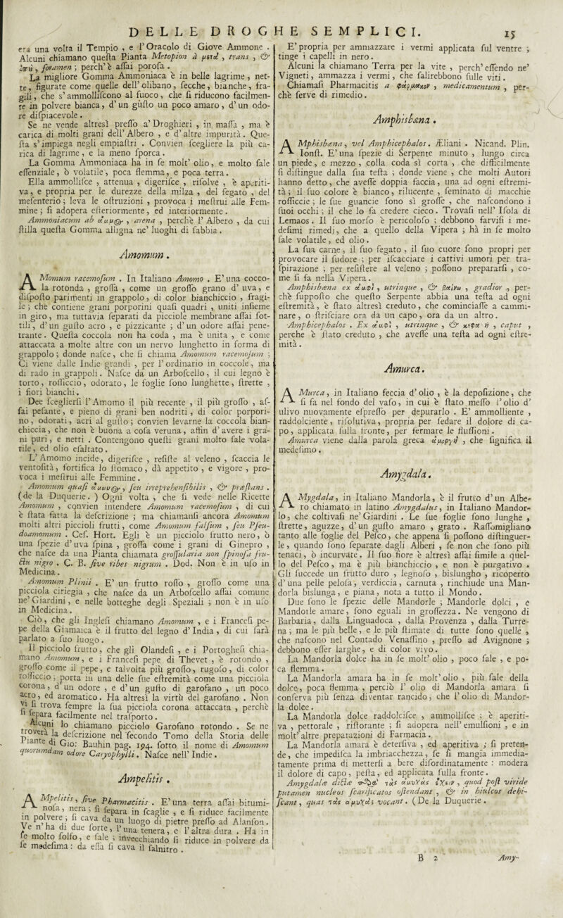 era una volta il Tempio , e l’Oracolo di Giove Ammone . Alcuni chiamano quella Pianta Metopion à yitcc , trans , & Imi, foramen ; perch’è affai porofa . La migliore Gomma Ammoniaca è in belle lagrime, net¬ te, figurate come quelle dell’olibano, fecche, bianche, fra¬ gili , che s’ammollifcono al fuoco, che fi riducono facilmen¬ te in polvere bianca, d’un gùlto un poco amaro, d’ un odo¬ re difpiacevole. Se ne vende altresì prelfo a’ Droghieri , in malfa , ma è carica di molti grani dell’ Albero , e d’ altre impurità. Que¬ lla s’impiega negli empiallri . Convien fcegliere la più ca¬ rica di lagrime , e la meno fporca. La Gomma Ammoniaca ha in fe molt’ olio, e molto fale elfenziale, ò volatile , poca flemma, e poca terra. Ella ammollifce , attenua , digerifce , rifolve , è apcriti- va, e propria per le durezze della milza , del fegato , del mefenterio ; leva le oltruzioni , provoca i meftrui alle Fem¬ mine ; fi adopera dìeriormente , ed interiormente . Ammoniacum ab , arena , perchè 1’ Albero , da cui filila quella Gomma alligna ne’ luoghi di fabbia. Amomum. AMomum racemofum . In Italiano Amomo . E’ una cocco¬ la rotonda , groffa , come un groffo grano d’ uva, e difpolìo parimenti in grappolo, di color bianchiccio , fragi¬ le ; che contiene grani porporini quafi quadri , uniti infieme in giro, ma tuttavia feparati da picciole membrane affai fot- tili, d’ un gullo acro , e pizzicante ; d’ un odore aliai pene¬ trante . Quella coccola non ha coda , ma è unita , e come attaccata a molte altre con un nervo lunghetto in forma di grappolo ; donde nafce, che li chiama Amomum racemojum ; Ci viene dalle Indie grandi , per 1’ ordinario in coccole , ma di rado in grappoli. Nafce da un Arbofcello, il cui legno è torto, rolficcio, odorato, le foglie fono lunghette, llrette , i fiori bianchii Dee fceglierfi l’Amomo il più recente , il più groffo , af¬ fai pefante, e pieno di grani ben nodriti, di color porpori¬ no , odorati, acri al gullo ; convien levarne la coccola bian¬ chiccia, che non è buona a cofa veruna, aftìn d’avere i gra¬ ni puri, e netti . Contengono quelli grani molto fale vola¬ tile, ed olio efaltato. L’ Amomo incide, digerifce , refill e al veleno , fcaccia le ventofità, fortifica lo lìomaco, dà appetito , e vigore , pro¬ voca i meftrui alle Femmine. Amomum quafi duauyy, fcu irreprehenfibilis , pueftans . (de la Duquerie. ) Ogni volta , che li vede nelle Ricette Amomum , convien intendere Amomum racemofum , di cui è Hata fatta la defcrizione ; ma chiamatili ancora Amomum molti altri piccioli frutti, come Amiomum falfum , feu Pfeu- doamomum . Cef. Hort. Egli è un picciolo frutto nero, b una fpezie d’ uva fpina , groffa come i grani di Ginepro , che nafce da una Pianta chiamata grojfularia non fpinofa fru- bìu ni grò . C* B. five ribes nigrum . Dod. Non è in ufo in Medicina. Amomum PUnii . £’ Un frutto rollo , groffo come una picciola ciriegia , che nafce da un Arbofcello affai comune ne’Giardini, e nelle botteghe degli Speziali ; non è in ufo in Medicina. Ciò, che gli Inglefi chiamano Amomum , e i Francefi pe¬ pe della Giamaica è il frutto del legno d’India , di cui farà parlato a fuo luogo. Il picciolo frutto, che gii Olandefi , e i Portoglieli chia¬ mano Amomum, e i Francefi pepe di Thevet , è rotondo , groffo come il pepe, e talvolta più grofio, rugofo, di color roMiccio ; porta in una delie fue eflremità come una picciola coioua, d un odore , e d’un gullo di garofano , un poco acro, ed aromatico. Fla altresì la virtù del garofano . Non vi fi trova fempre la fua picciola corona attaccata , perchè 1 impara facilmente nel trafporto. -Icuni lo chiamano picciolo Garofano rotondo . Se ne Pianti’1 ^e^cr^one nel fecondo Tomo della Storia delle 1 e di G10: Bauhin pag. 194. fiotto il nome di Amomum quorumdam odore Caryophylli. Nafce nell’Indie . Ampelttis . 2^ Mpelitis, five Pharmacitis . E’ una terra affai bitumi no a, nera, fi lèpara in fcaglie , e fi riduce facilment< m po veie , 1 cava da un luogo di pietre prelfo ad Alanfon e n ha di due forte, l’una tenera, e l’altra dura . Ha ir e mo to fiolfo, e (ale ; invecchiando fi riduce in polvere d; le madeiima : da elfa fi cava il falnitro . E’ propria per ammazzare i vermi applicata fui ventre i tinge i capelli in nero. Alcuni la chiamano Terra per la vite , perch’effendo ne’ Vigneti, ammazza i vermi, che falirebbono fulle viti. Chiamali Pharmacitis a tpùfy.et/.sv , medicamentum , per¬ chè ferve di rimedio. Amphnb&na. A Mphisbana, vel Amphicephalos. ì.Ebani . Nicand. Plin. Ionll. E’ una fpezie di Serpente minuto , lungo circa un piede, e mezzo , colla coda sì corta , che difficilmente fi dilìingue dalla fua tefla ; donde viene , che molti Autori hanno detto, che aveffe doppia faccia, una ad ogni efiremi- tà ; il fuo colore è bianco, rilucente , feminato di macchie rolficcie ; le fue guancie fono sì groffe , che nafeondono i fuoi occhi; il che lo fa credere cieco. Trovafi nell’ Ifola di Lemaos i II fuo morfo è pericolofo ; debbono farvifi i me- defimi rimedi, che a quello della Vipera ; hà in fe molto fale volatile , ed olio. La fua carne, il fuo fegato , il fuo cuore fono propri per provocare il fudore ; per ifcacciare i cattivi umori per tra- fpirazione ; per refiflere al veleno ; poffono prepararli , co¬ me fi fa nella Vipera. Amphisbcena ex xut?/ , utrinque , & fruiva , gradior , per¬ chè fuppofio che quello Serpente abbia una tefla ad ogni ellremità, è flato altresì creduto, che cominciale a cammi¬ nare , o flrifciare ora da un capo, ora da un altro. Amphicephalos . Ex uu<p) , utrinque , & x'-Qu tj , caput , perche è fiato creduto , che aveffe una tefia ad ogni efire- mità. Amurca. A Murca, in Italiano feccia d’olio , è la depofizione, che ^ ^ fi fa nel fondo del vafo, in cui è fiato melfo l’olio d’ ulivo nuovamente efprelfo per depurarlo . E’ ammolliente , raddolciente, rifolutiva, propria per fedare il dolore di ca¬ po , applicata filila fronte, per fermare le fluffioni. Amurca viene dalla parola greca ùycpyt} , che fignifica il medelìmo. Amyfidala. A Mygdala, in Italiano Mandorla, è il frutto d’un Albe- 1 ro chiamato in latino Amygdalus, in Italiano Mandor¬ lo , che coltivafi ne’ Giardini . Le fue foglie fono lunghe , Erette, aguzze, d’ un gullo amaro , grato . Raflbmigìiano tanto alle foglie del Pefco, che appena fi polìono diftinguer- le, quando fono feparate dagli Alberi , fe non che fono più tenaci, ò incurvate. Il fuo fiore è altresì affai fimile a quel¬ lo del Pefco , ma è più bianchiccio , e non è purgativo . ; Gli fuccede un frutto duro , legnofo , bislungho , ricoperto d’ una pelle pelofa, verdiccia, carnuta , rinchiude una Man¬ dorla bislunga, e piana, nota a tutto il Mondo. Due fono le fpezie delle Mandorle ; Mandorle dolci , e Mandorle amare, fono eguali in grolfezza. Ne vengono di Barbaria, dalla Linguadoca , dalla Provenza , dalla Turre- na ; ma le più belle, e le più firmate di tutte fono quelle , che nafeono nel Contado Venaffino , prelfo ad Avignone ; debbono effer larghe, e di color vivo. La Mandorla dolce ha in fe molt’ olio , poco fale , e po¬ ca flemma. La Mandorla amara ha in fe molt’ olio , più fale della dolce, poca flemma , perciò 1’ olio di Mandorla amara fi conferva più fenza diventar rancido, che l’olio di Mandor¬ la dolce. La Mandorla dolce raddolcifce , ammollifce ; è aperiti- va , pettorale , riftorante ; fi adopera nell’ emulfioni , e in molt’ altre preparazioni di Farmacia. La Mandorla amara è deterfiva , ed aperitiva ; fi preten¬ de, che inipedilca la imbriacchezza, fe fi mangia immedia¬ tamente prima di metterli a bere difordinatamente : modera il dolore di capo, pella, ed applicata fulla fronte. AmygdaU di6l<e tÙs duvXÙs , qaod pofi viride putamen nucleos fcarijicatos ofiendant , & in hiulcos dehi~ fcant, quas 7 ces àyvXdi vocant. (De la Duquerie.