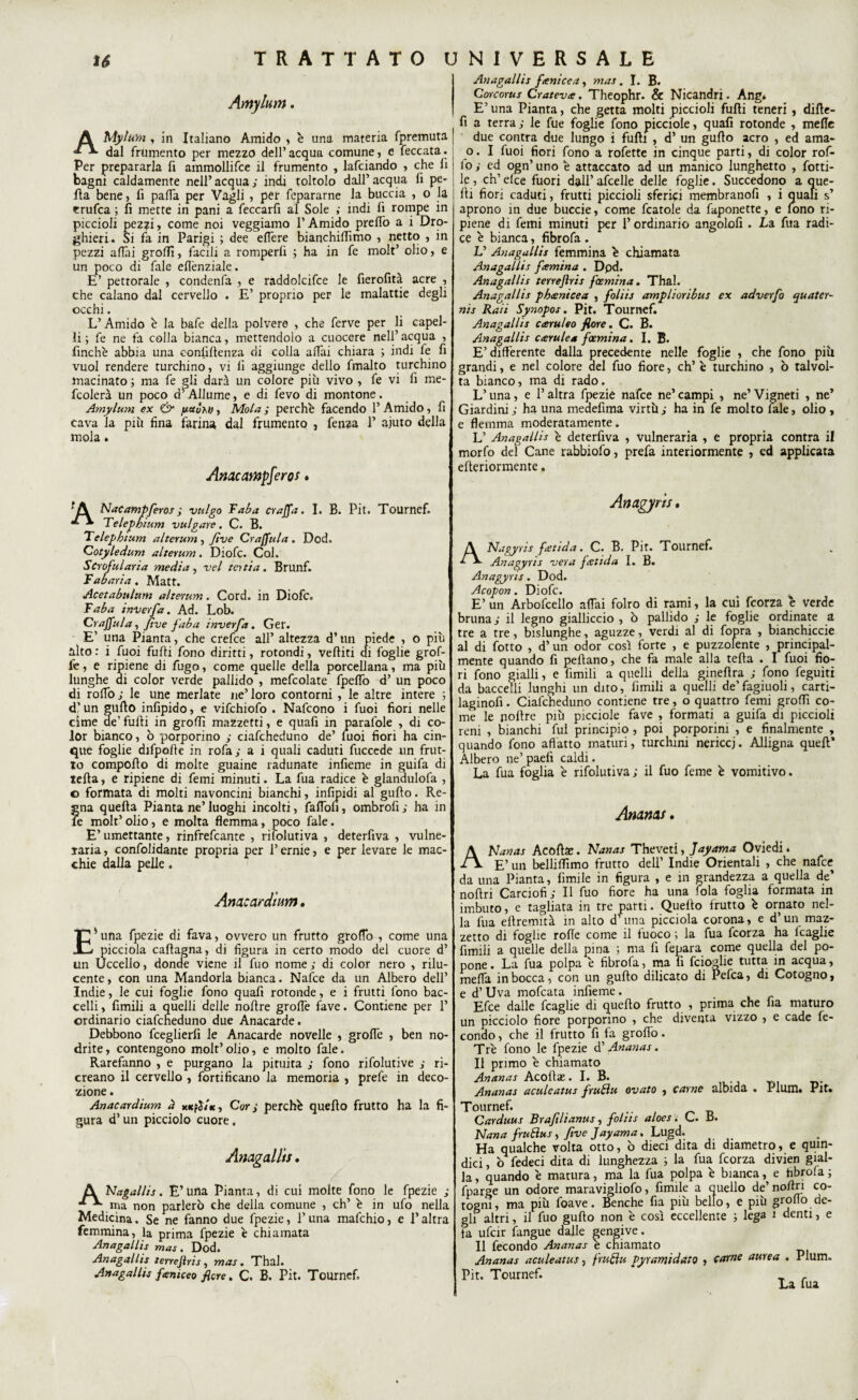 Amylum. AMyluvn , in Italiano Amido , è una materia fpremuta dal frumento per mezzo dell’acqua comune, e feccata. Per prepararla fi ammollifce il frumento , lafciando , che fi bagni caldamente nell’ acqua y indi toltolo dall’ acqua fi pe- fila bene, fi palla per Vagli , per fepararne la buccia , o la trufca ; fi mette in pani a feccarfi al Sole ; indi fi rompe in piccioli pezzi, come noi veggiamo l’Amido prelfo a i Dro¬ ghieri» Si fa in Parigi ; dee edere bianchillìmo , netto , in pezzi affai groffi, facili a romperft ; ha in fe molt’ olio, e un poco di fale ellènziale. E’ pettorale , condenfa , e raddolcifce le fierofità acre , che calano dal cervello . E’ proprio per le malattie degli occhi. L’Amido è la bafe della polvere , che ferve per li capel¬ li; fe ne fa colla bianca, mettendolo a cuocere nell’acqua , finche abbia una confluenza di colla affai chiara ; indi fe fi vuol rendere turchino, vi lì aggiunge dello fmalto turchino macinato ; ma fe gli darà un colore più vivo , fe vi fi me- fcolerà un poco d’Allume, e di fevo di montone. Amylum ex & pctùw, Mola y perche facendo l’Amido, fi cava la più fina farina dal frumento , lenza 1’ ajuto della mola. Anacampferos » Anagallis fieni ce a, mas. I. B. Corcorus Crateve. Theophr. & Nicandri. Ang* E’ una Pianta, che getta molti piccioli fufii teneri, dirte¬ li a terra y le fue foglie fono piccioie, quafi rotonde , mede due contra due lungo i furti , d’ un gurto acro , ed ama¬ ci . I fuoi fiori fono a rofette in cinque parti, di color rof- fo y ed ogn’uno è attaccato ad un manico lunghetto , fiotti¬ le , eh’ elee fuori dall’ afcelle delle foglie. Succedono a que¬ lli fiori caduti, frutti piccioli sferici membranofi , i quali s’ aprono in due buccie, come fcatole da faponette, e fono ri¬ piene di femi minuti per l’ordinario angolofi . La fua radi¬ ce è bianca, fibrofa . L’ Anagallis femmina é chiamata Anagallis femina . Dpd. Anagallis terrejhis feemina. Thal. Anagallis phenicea , foliis amplioribus ex adverfo quater- nis Raii Synopos. Pit. Tournef. Anagallis ceruleo flore. C. B. Anagallis cerulea foemina. I. B. E’differente dalla precedente nelle foglie , che fono pili grandi, e nel colore del fuo fiore, eh’ è turchino , ò talvol¬ ta bianco, ma di rado. L’una, e l’altra fpezie nafee ne’campi , ne’Vigneti , ne’ Giardini y ha una meaefima virtù y ha in fe molto fiale, olio , e flemma moderatamente. L’ Anagallis e deterfiva , vulneraria , e propria contra il morfo del Cane rabbiofo, prefa interiormente , ed applicata erteriormente, 'A Nacampferos y vulgo Tuba craffa. I. B. Pit. Tournef. ^ * Telepbium vulgate. C. B. Telepbium alterum , Jìve Craffula . Dod. Cotyledum alterum. Diofc. Col. Scrofularia media, vel tenia. Brunf. Rubati a. Matt. Acetabulum alterum. Cord, in Diofc. Tabu inverfa. Ad. Lob. Craffula, five faba inverfa. Ger. E’ una Pianta, che crefce all’ altezza d’un piede , o più alto : i fuoi furti fono diritti, rotondi, vertiti di foglie grof- fe, e ripiene di fugo, come quelle della porcellana, ma più lunghe ai color verde pallido , mefcolate fpeffo d’ un poco di rollò y le une merlate ne’ loro contorni , le altre intere ; d’un gurto infipido, e vifchiofo . Nafcono i fuoi fiori nelle cime de’ furti in groflì mazzetti, e quafi in parafale , di co¬ lor bianco, ò porporino y ciafeheduno de’ luoi fiori ha cin¬ que foglie difporte in rofay a i quali caduti fuccede un frut¬ to comporto di molte guaine radunate infieme in guifa di tefta, e ripiene di femi minuti. La fua radice è glandulofa , o formata di molti navoncini bianchi, infipidi al gurto. Re¬ gna quella Pianta ne’luoghi incolti, faflòfi, ombrofiy ha in le molt’ olio, e molta flemma, poco fale. E’umettante, rinfrefeante , rifolutiva , deterfiva , vulne¬ raria , confolidante propria per l’ernie, e per levare le mac¬ chie dalla pelle. Anacardtum • T^una fpezie di fava, ovvero un frutto groffo , come una X-/ picciola cartagna, di figura in certo modo del cuore d’ un Uccello, donde viene il fuo nome y di color nero , rilu¬ cente, con una Mandorla bianca. Nafee da un Albero dell’ Indie, le cui foglie fono quafi rotonde, e i frutti fono bac¬ celli , fimili a quelli delle nortre grolle fave. Contiene per 1’ ordinario ciafeheduno due Anacarde. Debbono fceglierfi le Anacarde novelle , grolle , ben no- drite, contengono molt’olio, e molto fale. Rarefanno , e purgano la pituita y fono rifolutive y ri¬ creano il cervello , fortificano la memoria , prefe in deco¬ zione . Anacardium à Cor y perché quello frutto ha la fi¬ gura d’un picciolo cuore. Anagallis. A Nagallis. E’una Pianta, di cui molte fono le fpezie y ma non parlerò che della comune , eh’ é in ufo nella Medicina. Se ne fanno due fpezie, l’una mafehio, e l’altra femmina, la prima fpezie è chiamata Anagallis mas. Dod. Anagallis terrejiris, mas. Thal. Anagallis feniceo fiere. C. B. Pit. Tournef. Anagyris. A Nagyris fetida. C. B. Pit. Tournef. Anagyris vera fetida I. B. Anagyris. Dod. Acopon. Diofc. E’ un Arbofcello aliai folro di rami, la cui feorza é verde bruna y il legno gialliccio , ò pallido y le foglie ordinate a tre a tre , bislunghe, aguzze, verdi al di fopra , bianchiccie al di fotto , d’ un odor così forte , e puzzolente , principal¬ mente quando fi pertano, che fa male alla teda . I fuoi fio¬ ri fono gialli, e filmili a quelli della ginertra y fono feguiti da baccelli lunghi un dito, limili a quelli de’ fagiuoli, carti- laginofi. Ciafeheduno contiene tre, o quattro femi groflì co¬ me le noltre più piccioie fave , formati a guifa di piccioli reni , bianchi fui principio, poi porporini , e finalmente , quando fono allatto maturi, turchini nericci. Alligna quell* Albero ne’ paefi caldi. La fua foglia é rifolutivay il fuo feme è vomitivo. Ananas. ANanas Acòrtse. Nanas Theveti, Jayama Oviedi. E’ un belli Almo frutto dell’ Indie Orientali , che nafee da una Pianta, filmile in figura , e in grandezza a quella de’ noftri Carciofi y II fuo fiore ha una fola foglia formata in imbuto, e tagliata in tre parti. Quello frutto è ornato nel¬ la fua ellremità in alto d’una picciola corona, e d’un maz¬ zetto di foglie rode come il fuoco ; la fua feorza ha Icaglie limili a quelle della pina ; ma fi fepara come quella del po¬ pone . La fua polpa è fibrofa, ma fi feioglie tutta, in acqua, meda in bocca, con un gufilo dilicato di lefca, di Cotogno, e d’Uva mofeata infieme. Efce dalle fcaglie di quello frutto , prima che ha maturo un picciolo fiore porporino , che diventa vizzo , e cade fe¬ condo , che il frutto fi fa groffo. Tré fono le fpezie d’ Ananas. Il primo é chiamato Ananas Acoltae. I. B. Ananas aculeatus frubìu ovato , carne albida . Plum. Pit. rournef. t. Carduus Braftlianus, foliis alocs. C. B. Nana fruBus, five Jayama. Lugd. Ha qualche volta otto, ò dieci dita di diametro, e quin- lici, ò federi dita di lunghezza ; la fua feorza divien gial- a, quando è matura, ma la fua polpa é bianca, e fibrofa; barge un odore maravigliofo, filmile a quello de’ nortri co- ogni, ma più foave. Benché fia più bello, e più grodo de- ;li altri, il fuo gufilo non é così eccellente ; lega i denti, e ufeir fangue dalle gengive. ti r-a-- '-hiamato carne aurea . Plum. Il fecondo Ananas è cl Ananas aculeatus, fruflu pyrantidato •it. Tournef. La fua