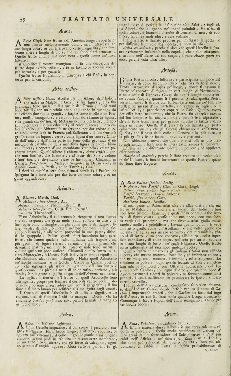 Arara » * . » < * A Rara Clufiù è un frutto dell’ America lungo, coperto d’ una feorza mediocremente dura , nera , attaccata ad •una lunga coda, in cui fi trovano certe inegualità,‘vche fem- brano effere i luoghi de’fori, che vi fono fati attaccati . Quello frutto chiude una noce nera , grolla come un’ uliva falvatica. Ammollifce il ventre mangiata : fi fa una decozione del frutto dopo averlo pellato , e fe ne lavano le vecchie ulcere : per nettarle, e per guarirle . x Quello frutto è rariffimo in Europa, e chi l’ha , lo con- : ferva per la curiofità. Arlor triflh* ARbor trijìis . Garz. Acoffae ; è un Albero dell’ Indie , che nafee in Maialar a Goa ; la fua figura , e la fua grandezza fono quafi fimili a quelle del Pruno 3 i fuoi rami •fono fottili> con un picciolo nodo di quando in quando, da cui efeòno due foglie grandi, e larghe come quelle d’un Pru¬ no , molli, lanuginofe, e verdi ; i fuoi fiori hanno la figura, e la grandezza de’ fiori di Melarancio, ma più belli, più lot¬ tili , più teneri, e più odoriferi, di color bianco 5 il loro ca¬ lice è rollò 3 gli Abitanti fe ne fervono per dar colore a’ lo¬ ro cibi, come fi fa in Francia col. Zafferano ; il fuo frutto è groffo come un lupino, verde, colla figura d’un cuore. Chiu¬ de dall’una, e dall’altra parte un Teme della groffezza d’un nocciolo di carruba, e della medefima figura di cuore, bian¬ ca , tenera, ricoperta d’una membrana verdiccia , ed un po- chetto amara. Quell’Albero è chiamato, Arbor trijìis , per¬ che non fiorifee, che la notte , e al levar del Sole , cadono i fuoi' fiori „ e diventano vizze le fue foglie . Chiamafi in Canaria Parifataco, in Malayo, Singadt, in Decan Pul , in Arabia Guart, in Perfia , ed in Turchia, Gul. I fiori di quell’Albero fono llimati cordiali ; i Paefani ne fpargono fu 1 loro cibi per dar loro un buon odore , ed un gufo aggradevole. Arbutus ? ARbutus. Matth. Dod. Arbutus, five Vnedo . Adu. Arbutus, Comarus Theophralli. I. B. Arbutus folio ferrato , C. B. Pit. Tournef Comarus Theophralli, E’ un Arbofcello, il cui tronco è ricoperto d’una feorza ruvida, crepata ; che getta molti rami rofficci in alto ; le fue foglie fono bislunghe, larghe come quelle del Lauro, li- feie, verdi, dentate , ò merlate ne’ loro contorni 3 1 fuoi fio¬ ri fono bianchi, e alle volte porporini in una pane, difpo- fti in grappolo . Pafsati quelli fiori fuccedono loro £erti frutti, che hanno qualche rafsomjglianza alle fragole , ma più groffi, di figura sferica , carnuti , e gialli prima che diventino maturi, ma d’ un bel rofso quando fono maturi , c d’un gullo un poco auflero . Chiamafi quello frutto in la¬ tino Memacylon , ò Unedo . Egli e divifo in cinque ripolligli, che chiudono alcuni femi bislunghi . Nafee quell’ Arbofcello ne’ luoghi montani , e ne’ Bofchi . Crefce in Candia così al¬ to , che uguaglia gli Alberi più grandi , e ’1 fuo frutto è grofso come una picciola mela di color rofso, nericcio , più molle, è più grato al gufto di quello delVArbutus ordinano. La foglia, la feorza , e ’l frutto di quell’ Arbofcello fono aftringenti, proprj per fermare il corfo di ventre prefi in de¬ cozione ; pofsono altresì adoperarfi per li gargarilmi 3 il fuo .fiore e ffimato buono per refiltere alla malignità degli umori. Il frutto di quell’Arbofcello è di difficile digefiione , e cagiona mali di llomaco à chi ne mangia . Dicefi , che fia chiamato Unedo 3 quafi unus edo, perchè fa male il mangiar¬ ne più d’uno. Arde a » Rdea, in Italiano Aghirone . E’ un Uccello acquatico, il cui corpo è picciolo , ma¬ gro , e leggiero. Ha il becco lungo, grofsetto , robullo, ed aguzzo nell’ eftremità, il collo lungo , le gambe afsai lunghe 3 ciafcuno de’fuoi piedi ha tre dita unite con certe membrane, ed un altro dito di dietro, che gli ferve di calcagno , ognu¬ no armato d’unghie aguzze . Abita verfo le paludi , fu gli ftagni 3 vive di pefee , fa il fuo nido sù i Salci , e lugli al¬ tri Alberi, che allignano ne’luoghi paludofi . Ve n’ha di molti colori, di bianchi, di color di cenere, di neri, di rof- Ificci 3 ha in fe molt’olio, e fiale volatile. 11 fuo grafso è ffimato proprio per mitigare la gotta , e per diffìpare le nuvole degli occhi; è poco in ufo. Ardea ab ardendo, perchè fi dice che quell’ Uccello è ffra- ordinariamente lufsuriofo nella copula 3 che i fuoi eferemen- ti ardono nell’ufcire dal fuo corpo , ò pure Ardea quafi <*» dua, perchè vola afsai alto. E’una Pietra talcofa, fulfurea, e parricipante un poco del ferro; di color turchino feuro , che tira verfo il nero p Trovafi attorniata d’acqua ne’luoghi , donde fi cavano le Pietre ne’contorni d’Angers, in certi luoghi di Normandia, e nelle colle di Genova, ,Cavali da quelli luoghi dopo aver¬ ne votata l’acqua, quanto fi è potuto. Si alza quella Pietra verticalmente, fi divide con forbici fatte entrare ne’ fuoi in- terflizj col mezzo d’ un martello, e fi riduce in foglie, ò in laltre lottili, e proprie per coprire le Cafe . Quello lavoro dee effer fatto nel tempo, che la Pietra fia di frefeo cavata dal fuo luogo, e fia ancora umida ; perchè fe fi afpettaffe , eh5 ella foffe fecca, affai più grande farebbe la fatica a divi¬ derla in lallre. Quella d’ Angers è la più filmata , e parti¬ colarmente quella , che gli Operai chiamano la roffi nera . Quella, che fi cava dalle colle di Genova è la più dura , e la più grolla ; fe ne formano tavole, e mattoni. Non abbiamo pruova, che quella Pietra foffe in ufo pref- fo agli antichi ; lorfe non fe n’ era fatta ancora la feoperta. E’ detersiva , e difeccante ridotta in polvere , ed applicata efieriormente. Ardofia ab ardendo, perche è fiato creduto ci: veder ufei- re de’ Uulcani, ò fuochi fotterranei da quelle Pietre , quan¬ do fono fiate feoperte. Areca. A Reca Palmre fpecies . Scalig. Areca, five Faufel , Clus. in Garz. Lugd. Palma , cujus frutlus fejfilis Faufel. dicitur . Faufel Serapioni, Fufer. Avicens . Faufel, five Areca. Garz. Avellana Indica r Acoftae . E’una fpezie di Palma affai alta , e affai dritta , che na¬ fee in Malabar , e in molti altri luoghi dell’ Indie ; i fuoi fiori fono piccioli, bianchi, p quafi fenza odore ; il fuo frut¬ to è di figura ovata , groffo come una noce , con una feor¬ za verde fui principio , ma che diventa affai gialla matu¬ rando, molle , e pelofiffìma . Levata quella fcorza , fi vede un frutto groffo come un’ Avellana , e alle volte groffo co¬ me ima caffagna, ora mezzo rotondo , pra piramidale, pia¬ no al di fiotto, e un poco concavo, affai duro , colla luper- fizie cannellata, di color bigio, rofficcio per tutto , fuorché in alcuni luoghi di fiotto , ne’ quali è bianco , Quello frutto rotto raffomiglia ad una noce mofeada rotta. Quello frutto chiamato dq gl’ Indiani Chofool non effendo ancora, che mezzo maturo, fìordifce , ed imbriaca coloro » che ne mangiano ; maturo, è infipido , ed aftringente . Lo riducono in polvere, dopo averlo beccato al Sole , e mefeo- lato inficine col Betel , con Oltriche abbruciate , col Ly- cium, colla Canfora, col legno d’ Aloe , e qualche poco d’ Ambra parimenti ridotti ili polvere , ne formano come tanti penniti, i quali, mafiicano per promovere lo fputo , e fran¬ care il cervello. Il fugo dell’maturo , condenfato folo vien chiama¬ to dagl’indiani Cache; donde forfè è venuto il nome di Ca- chou ; imperocché credefi , che il Cackou fia fatto dal fugo dell’ Areca, in cui fia fiata meffa qualche Droga aromatica. Comunque fi fia, i Popoli dell’ Indie mangiano il Cache pen far buona bocca . K Arem. Rena, Sabulum, in Italiano Sabbia. E’ una materia dura, faffofa , ò una terra calcinata ri¬ dotta in polvere , e fpeffo anche vinificata in ciafeun de* fuoi grani da un forte calore del Sole ; perciò i Paefi più caldi nell’ Affrica , ne’ difierti di Zara , nella Libia > che fono più rifcaldati da quello Pianeta , fono più ab¬ bondanti in fabbia . Tutta la fabbia probabilmente di qualun-