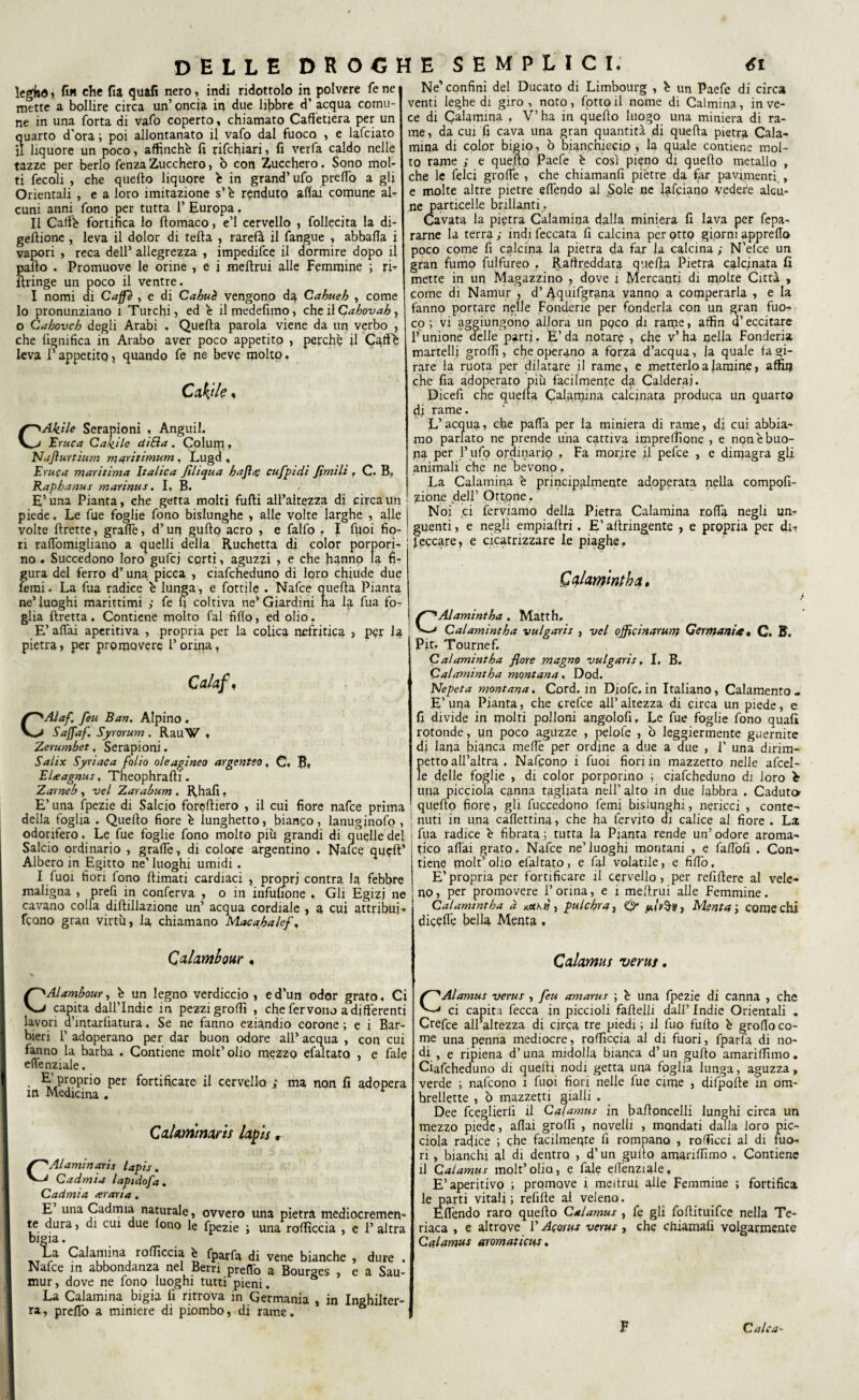 legfoo , fin che fìa quali nero, indi ridottolo in polvere fe ne mette a bollire circa un’ oncia in due libbre d’ acqua comu¬ ne in una Torta di vafo coperto, chiamato Caff'etiera per un quarto d'ora ; poi allontanato il vafo dal fuoco , e lafciato il liquore un poco, affinchè fi rifchiari, fi verfa caldo nelle tazze per berlo fenza Zucchero, ò con Zucchero. Sono mol¬ ti fecoli , che quello liquore è in grand’ ufo prelfo a gli Orientali , e a loro imitazione s’è renduto aliai comune al¬ cuni anni fono per tutta 1’ Europa. Il Caffè fortifica lo flomaco, e’1 cervello , follecita la di- gellione , leva il dolor di teda , rarefi il fangue , abballa i vapori , reca dell’ allegrezza , impedifce il dormire dopo il palio . Promuove le orine , e i meltrui alle Femmine ; ri^ ftringe un poco il ventre. I nomi di Caffè , e di Cahuè vengono da Cahueh , come lo pronunziano i Turchi, ed è ilmedefimo, eh e ilCahovab} o Cahovcb degli Arabi . Quella parola viene da un verbo , che lignifica in Arabo aver poco appetito , perchè il Caffè leva l’appetito, quando fe ne beve molto. Cabile « Ne’ confini del Ducato di Limbourg , è un Paefe di circa venti leghe di giro, noto, fottoil nome di Calmina, inve¬ ce di Calamma . V’ha in quello luogo una miniera di ra¬ me, da cui fi cava una gran quantità di quella pietra Cala- mina di color bigio, o bianchiccio , la quale contiene mol¬ to rame ; e quello Paefe è così pieno ai quello metallo , che le felci grolfe , che chiamanti piètre da far pavimenti., e molte altre pietre elfendo al Sole ne lafciano vedere alcu¬ ne particelle brillanti . Cavata la pietra Calamiqa dalla miniera fi lava per fepa- rarne la terra ; indi feccata fi calcina per otto giorni apprello poco come fi calcina la pietra da far la calcina ; N'elce un gran fumo fulfureo . Raffreddata quella Pietra calcinata fi mette in un Magazzino ? dove i Mercanti di m°he Città , come di Namur , d’ 4quifgrana vanno a comperarla , e la fanno portare nelle Fonderie per fonderla con un gran fuo¬ co ; vi aggiungono allora un pqco di rame > affin d’eccitare l’unione delle parti. E’ da notare , che v’ ha nella Fonderia martelli grolfi, che operano a forza d’acqua, la quale la gi¬ rare la ruota per dilatare il rame, e metterlo a lamine, affiti che fia adoperato più facilmente da Calderai. Dicefi che quella Calamina calcinata produca un quarto AkHe Serapioni , Anguil. Eruca Cakìle di Eia . Colum , Naflurtium maritimum, Lugd , Eruca maritima Italica Sìliqua bajì<c cufpidi fimili, C. B. Rapbanus marinus. I, B. / E’una Pianta, che getta molti furti all’altezza di circa un piede, Le fue foglie fono bislunghe , alle volte larghe , alle volte ftrette, grafie, d’un gufto acro , e falfo , I fpoi fio¬ ri ralfomigliano a quelli della Ruchetta di color porpori¬ no . Succedono loro gufej corti, aguzzi , e che hanno la fi¬ gura del ferro d’una picca , ciafcheduno di loro chiude due femi • La fua radice è lunga, e fiottile . Nafce quella Pianta ne’ luoghi marittimi ; fe fi coltiva ne’ Giardini na la fua fo¬ glia ftretta, Contiene molto fai fifio, ed olio. E’ affai aperitiva , propria per la colica nefritica , per la pietra, per prpmovere l’orina, Calaf, CAlaf. feu Bau. Alpino . Saffaf. Syrorum . Rau’W , Zerumbet, Serapioni. Salix Syriaca folio oleagineo argenteo, C, B» EUagnus, Theophrafti. Zarneb , vel Zarabum . R.hafi , E’ una fpezie di Salcio forertiero , il cui fiore nafce prima della foglia . Quello fiore è lunghetto, bianco, lanuginofo , odorifero. Le fue foglie fono molto più grandi di quelle del Salcio ordinario , grafie, di colore argentino . Nafce quell’ Albero in Egitto ne’ luoghi umidi. I Tuoi fiori fono rtimati cardiaci , propri contra la febbre maligna , prefi in conferva , o in infuftone , Gli Egizi ne cavano colla diftillazione un’ acqua cordiale , a cui attribuì-* feono gran virtù, la chiamano Macabalef, di rame. L’acqua, che pafia per la miniera di rame, di cui abbia¬ mo parlato ne prende una cattiva impresone , e non è buo¬ na per l’ ufo ordinario , Fa morire il pefee , e dimagra gli animali che ne bevono, La Calamina è principalmente adoperata nella compofi- zione .dell’ Ottone . Noi ,ci ferviamo della Pietra Calamina coffa negli un¬ guenti , e negli empiartri. E’ aftringente , e propria per di-r leccare, e cicatrizzare le piaghe, Q alamintba, Alamintba . Matth. Calamintha vulgaris , vel offici narum Germani* • C. B. Pit. Tournef. C alamintba flore magno vulgaris, I, B. Calamintba montana, Dod. Nepeta montana. Cord, in Diofc.in Italiano, Calamento- E' una Pianta, che crefee all’ altezza di circa un piede, e fi divide in molti polloni angolofi. Le fue foglie fono quali rotonde, un poco aguzze , pelofe , ò leggiermente guernite di lana bianca mefle per ordine a due a due , 1' una dirim¬ petto all’altra . Nafcono i Tuoi fiori in mazzetto nelle afcel- le delle foglie , di color porporino ; ciafcheduno di loro una picciola canna tagliata nell’ alto in due labbra . Caduto quello fiore, gli fuccedono femi bislunghi, nericci , conte¬ nuti in una cafiettina, che ha fervito eli calice al fiore . La fua radice è fibrata 5 tutta la Pianta rende un’ odore aroma¬ tico afiai grato. Nafce ne’luoghi montani , e fafiofi . Con¬ tiene rnolt’ olio efaltato, e fai volatile, e fi fio, E’propria per fortificare il cervello, per refirtere al vele¬ no, per promovere l’orina, e ì meltrui alle Femmine. Calamintha à Kct\ij, pulebra, 0* y.{v§y} Menta', come chi dicefle bella Menta , Qalambow. % ... CAlambour, è un legno verdiccio , e d'un odor grato. Ci capita daU’Indie in pezzi grolfi , che fervono a differenti lavori a’intarlìatura. Se ne fanno eziandio corone ; e i Bar¬ bieri P adoperano per dar buon odore all’ acqua , con cui fanno la barha . Contiene molt’olio mezzo efaltato , e fiale effenziale. E’ proprio per fortificare il cervello ; ma non fi adopera in Medicina . Cahmmms lapis » CAlaminaris lapis. Cadmia lapidofa. Cadmia oraria. E una Cadmia naturale, ovvero una pietra mediocremen¬ te dura, di cui due fono le fpezie ; una rofficcia , e 1’ altra bigia. Calamina rolficcia è fparfa di vene bianche , dure . Nafce in abbondanza nel Berti prelfo a Bourges , e a Sau- mur, dove ne fono luoghi tutti pieni. La Calamina bìgia fi ritrova in Germania , in Inghilter¬ ra , prelfo a miniere di piombo, di rame. Calamus verus. CAlamus verus , feu amarus ; è una fpezie di canna , che ci capita fecca in piccioli faitelli dall’ Indie Orientali . Crefee all’altezza di circa tre piedi ; il fuo furto è groffo co¬ me una penna mediocre, rolficcia al di fuori, fparfa di no¬ di , e ripiena d’una midolla bianca d’ un gufto amariffìmo. Ciafcheduno di quelli nodi getta una foglia lunga, aguzza, verde ; nafcono i fuoi fiori nelle lue cime , difpofte in ora- brellette , ò mazzetti gialli . Dee fceglieriì il Calamus in baftoncelli lunghi circa un mezzo piede, affai grolfi , novelli , mondati dalla loro pic¬ ciola radice ; che facilmeqte fi rompano , rofficci al di fuo¬ ri , bianchi al di dentro , d’un guito amariffìmo , Contiene il Calamus molt’olici, e fiale efienziale, E’aperitivo ; promove i meltrui alle Femmine ; fortifica le parti vitali; refilte al veleno. Effèndo raro quello Calamus , fe gli foftituifee nella Te¬ riaca , e altrove l’Acorus verus , che chiamali volgarmente Calamus aromaticus. V Calca-