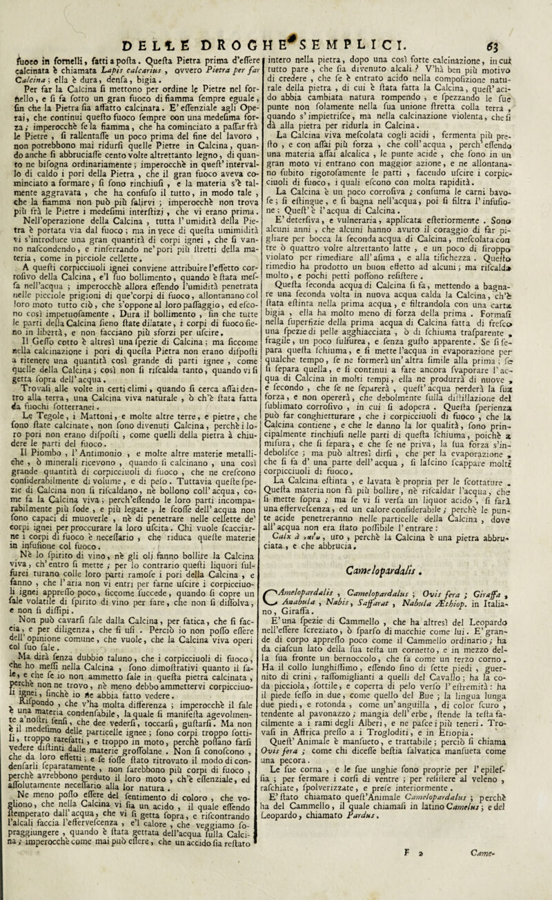 àioco in fornelli, fatti a porta. Quella Pietra prima d’efTere Calcinata è chiamata Lapis calcarius , ovvero Pietra per far Calcina ; ella è dura, denfa, bigia. Per far la Calcina fi mettono per ordine le Pietre nel for- hello, e fi fa fotto un gran fuoco di fiamma Tempre eguale, fin che la Pietra fia affatto calcinata. E’ eflenziale agli Ope¬ rai, che continui quefto fuoco Tempre con unamedefima for¬ za y imperocché fe la fiamma, che ha cominciato a partiir frà le Pietre , fi rallentale un poco prima del fine del lavoro , non potrebbono mai ridurli quelle Pietre in Calcina, quan¬ do anche fi abbruciale cento volte altrettanto legno, di quan¬ to ne bifogna ordinariamente ; imperocché in quell’ interval¬ lo di caldo i pori della Pietra , che il gran fuoco aveva co¬ minciato a formare, fi fono rinchiufi , e la materia s’é tal¬ mente aggravata , che ha confufo il tutto, in modo tale , che la fiamma non può più finirvi ; imperocché non trova più frà le Pietre i medefimi intèrftizj , che vi erano prima. Nell’operazione della Calcina , tutta 1’ umidità della Pie¬ tra é portata via dal fuoco ; ma in vece di quella umimidità vi s’introduce una gran quantità di corpi ignei , che fi van¬ no nafcondendo, e rinferrando ne’pori più Hretti della ma¬ teria , come in picciole cellette. A quelli corpicciuoli ignei conviene attribuire l’effetto cor- roiìvo della Calcina, e’1 Tuo bollimento, quando é Hata mef- fa nell’acqua ; imperocché allora erténdo l’umidità penetrata nelle picciole prigioni di que’corpi di fuoco, allontanano col loro moto tutto ciò , che s’oppone al loro palTaggio, ed efco- no così impetuofamente . Dura il bollimento , fin che tutte le parti della Calcina fieno fiate dilatate, i corpi di fuoco fie¬ no in libertà, e non facciano più sforzi per ufcire. Il Geffo cotto é altresì unafpezie di Calcina; ma ficcome nella calcinazione i pori di quella Pietra non erano difpofii a ritenere una quantità così grande di parti ignee , come quelle della Calcina; così non fi rifcalda tanto, quando vi fi getta fopra dell’acqua. Trovali alle volte in certi climi, quando fi cerca affai den¬ tro alla terra, una Calcina viva naturale , ò ch’è fiata fatta da fuochi fotterranei. Le Tegole, i Mattoni, e molte altre terre, e pietre, che fono fiate calcinate, non fono divenuti Calcina, perchéilo¬ ro pori non erano difpofii , come quelli della pietra à chiu¬ dere le parti del fuoco. Il Piombo , 1’ Antimonio , e molte altre materie metalli¬ che , ò minerali ricevono , quando fi calcinano , una così grande quantità di corpicciuoli di fuoco , che ne crefcono conliderabilmente di volume , e di pelo. Tuttavia quelle fpe- zie di Calcina non fi ribaldano, ne bollono coll’acqua, co¬ me fa la Calcina viva ; perch’eltendo le loro parti incompa¬ rabilmente più fode , e più legate , le fcolfe dell’ acqua non fono capaci di muoverle , né di penetrare nelle cellette de’ corpi ignei per proccurare la loro ufcita. Chi vuole Tracciar¬ ne i corpi di fuoco é necefiario , che riduca quelle materie in infufione col fuoco. . Nè lo^fpirito di vino, né gli oli èmno bollire la Calcina viva, ch’entro fi mette y per lo contrario quelli liquori ful- furei turano colle loro parti ramofe i pori della Calcina , e fanno , che l’aria non vi entrj. per farne ufcire i corpicciuo¬ li ignei apprcrtò poco, ficcome fuccede, quando fi copre un Tale volatile di fpinto di vino per fare, che non fi diffolva, e non fi difiìpi. Non può cavarli Tale dalla Calcina, per fatica, che fi fac- e Per diligenza ? che fi ufi . Perciò io non portò ertére dell opinione comune, che vuole, che la Calcina viva operi col fuo fai e . Ma dirà fenza dubbio taluno, che i corpicciuoli di fuoco, che ho mertì nella Calcina , fono dimofirativi quanto il fa- Cv,che k *° non ammetto fate in quella pietra calcinata , perche nonne trovo, né meno debbo ammettervi corpicciuo- ^ tFf61 ’ Vinafibia fatto vedere. xulpondo , che v’ha molta differenza ; imperocché il Tale e una materia condenfabile, la quale fi manifefta agevolmen- te a no tri fenlì, che dee vederfi, toccarfi, guftarfi. Ma non e il meaelimo delle particelle ignee ; fono corpi troppo fotti- U, troppo rarefatti, e troppo in moto, perché portano farfi vedere diltinti dalle materie groffolane . Non fi conofcono , che da loro effetti; e fe forte fiato ritrovato il mododicon- denfarli leparatamente , non farebbono più corpi di fuoco , perche avrebbono perduto il loro moto , ch’é ertenziaie, ed aflolutamente neceflano alla lor natura . Ne meno porto ertere del fentimento di coloro , che vo¬ gliono, che nella Calcina vi fia un acido , il quale effóndo temperato dall acqua, che vi fi getta fopra, e rifcontrando 1 «ilculi fucci il 1 efierveicenza j c 1 calore ^ che vergiamo fo- praggiungere , quando è fiata gettata dell’acqua fulla Calci¬ na y imperocché come mai può effere, che un accido fia reftato intero nella pietra, dopo una così forte calcinazione, in cui tutto pare , che fia divenuto alcali ? V’hà ben più motivo di credere , che fe é entrato acido nella compofizione natu¬ rale della pietra , di cui é fiata fatta la Calcina, quefi’aci¬ do abbia cambiata natura rompendo , e fpezzando le fue punte non folamente nella Tua unione firetta colla terra , quando s’impietrile, ma nella calcinazione violenta, cheli dà alla pietra per ridurla in Calcina. La Calcina viva mefcolata cogli acidi , fermenta più pre¬ do , e con affai più forza , che coll’acqua , perch’effóndo una materia affai alcalica , le punte acide , che fono in un gran moto vi entrano con maggior azione, e ne allontana¬ no fubiro rigorofamente le parti , facendo ufcire i corpic¬ ciuoli di fuoco, i quali efeono con molta rapidità. La Calcina é un poco corrofiva y confuma le carni bavo- fe ; fi efiingue, e fi bagna nell’acqua, poi fi filtra l’infufio¬ ne ; Quell’é l’acqua di Calcina. E’ deterfiva, e vulneraria, applicata efteriormente . Sono alcuni anni , che alcuni hanno avuto il coraggio di far pi¬ gliare per bocca la feconda acqua di Calcina, mefcolatacon tre ò quattro volte altrettanto latte , e un poco di firoppo violato per rimediare all’afima , e alla tifichezza . Quelto rimedio ha prodotto un buon effetto ad alcuni ; ma rifiald» molto, e pochi petti poffono refifiere . Quella feconda acqua di Calcina fi fa, mettendo a bagna¬ re una feconda volta in nuova acqua calda la Calcina, ch’è fiata efiinta nella prima acqua , e filtrandola con una carta, bigia , ella ha molto meno di forza della prima . Formali nella fuperfizie della prima acqua di Calcina fatta di frefeo una fpezie di pelle agghiacciata , ò di fchiuma trafparente * fragile, un poco fulfurea, e fenza guffo apparente. Se fife- para quella fchiuma, e fi mette l’acqua in evaporazione per qualche tempo, fe ne formerà un’ altra fimile alla prima ; fer fi fepara quella, e fi continui a fare ancora fvaporare ì’ ac¬ qua di Calcina in moki tempi, ella ne produrrà di nuove , e fecondo , che fe ne fe parerà , quell’acqua perderà la fua forza, e non opererà, che debolmente filila dillillazione dei fublimato corrolìvo , in cui fi adopera . Quella fperienza può far conghietturare , che i corpicciuoli di fuoco , che la Calcina contiene , e che le danno la lor qualità, fono prin¬ cipalmente rinchiufi nelle parti di quella fchiuma, poiché a mifura, che fi fepara, e che fe ne priva, la lua forza s’in- debolifce ; ma può altresì dirfi , che per la evaporazione „ che fi fa d’ una parte dell’ acqua , fi lalcino Scappare molti corpicciuoli di fuoco. La Calcina efiinta , e lavata é propria per le fiottatine . Quella materia non fa più bollire, nè rilcaldar l’acqua, che fi mette fopra y ma fe vi fi verfa un liquor acido , fi fari una effervefienza, ed un calore confìderabile y perchè le pun¬ te acide penetreranno nelle particelle della Calcina , dove all’ acqua non era fiato pofiìbile l’entrare : Calx à putito, uro , perchè la Calcina è una pietra abbru¬ ciata, e che abbrucia. Carne lopardalìs, CAmelopardalis , Camelopardalus ; Ovis fera y Giraffa , Anabula , Nabis, Saffarat , Nabula JEthiop. in Italia¬ no, Giraffa. E’ una fpezie di Cammello , che ha altresì del Leopardo nell’efiere fireziato, ò fparfo di macchie come lui. E’gran¬ de di corpo apprerto poco come il Cammello ordinario,- ha da ciafiun lato della fua tefia un cornetto, e in mezzo del¬ la fua fronte un bernoccolo, che fa come un terzo corno. Ha il collo lunghiffimo, effóndo fino di fette piedi , guer- nito di crini , raffòmiglianti a quelli del Cavallo ; ha la co¬ da picciola, fottile, e coperta dj il piede fello in due, come quel i pelo verfo l’efiremità: ha o del Bue ; la lingua lunga due piedi, e rotonda , come un’anguilla , di color fiuro , tendente al pavonazzo y mangia dell’ erbe , ftende la tefia fa¬ cilmente a i rami degli Alberi, e ne pafieipiù teneri. Tro¬ vali in Affrica prertò a i Trogloditi, e in Etiopia. Quell’ Animale è manfueto, e trattabile ; perciò fi chiama Ovts fera y come chi dicefle befiia falvatica manfueta come una pecora. Le file corna , e le fue unghie fono proprie per l’epilef- fia ; per fermare i corfi di ventre ; per reliitere al veleno , rafehiate, fpolverizzate, e prefe interiormente . E’fiato chiamato queft’Animale Camelopardalus ; perchè ha del Cammello , il quale chiamali in latino Camelia ; e del Leopardo, chiamato Pardua. F 2 Carne’