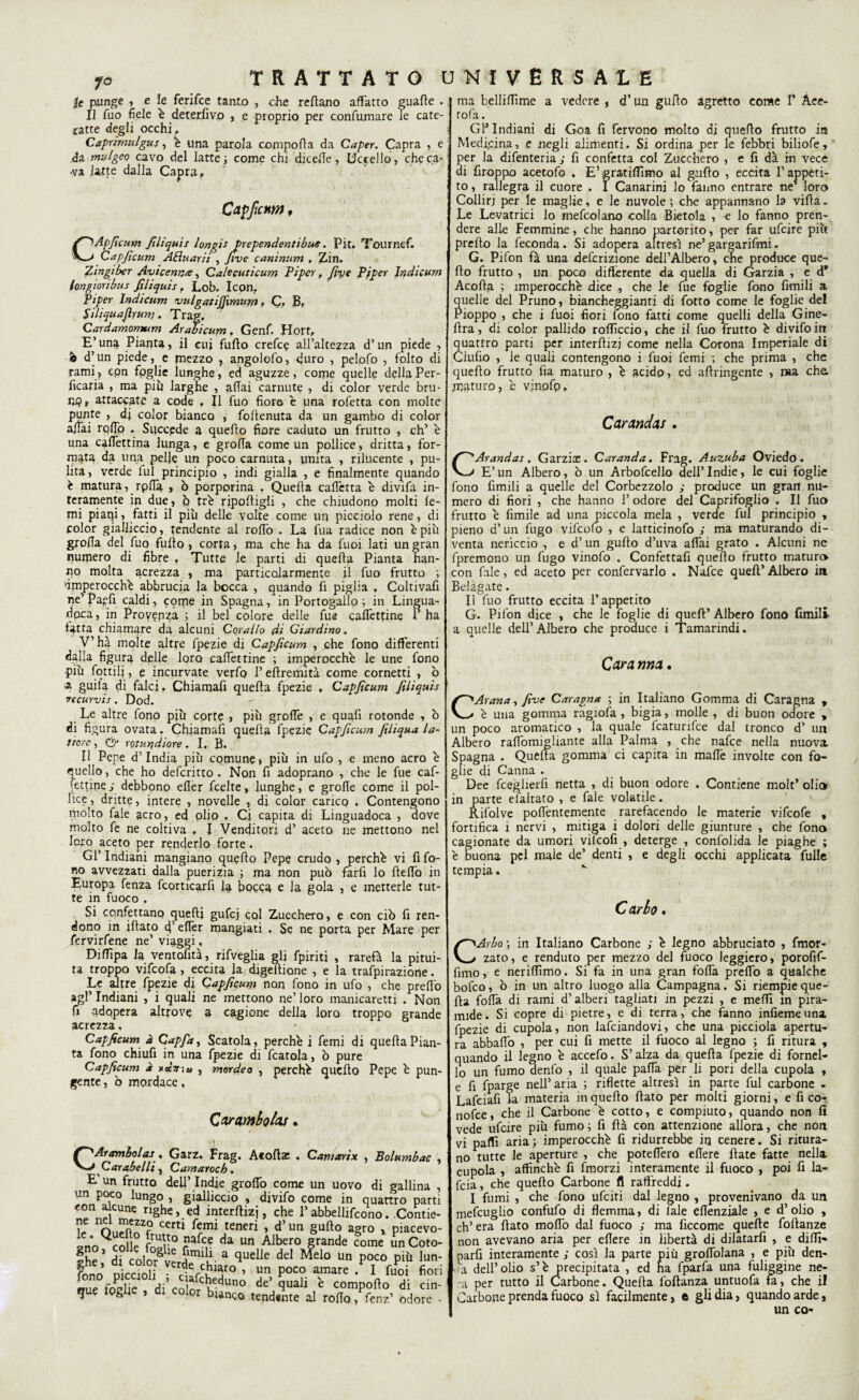1° }c punge , e le ferifce tanto , che reftano affatto gnaffe . Il fuo fiele é deterfivo , e proprio per confumare Te cate¬ ratte degli occhi, Caprimulgus, è una parola comporta da Caper. Capra , e da mulgeo cavo del latte ; come chi dicerte, Uccello, che c.a^ •va latte dalla Capra. Capjicnm f CApficum filiquis longìs prependenti bus. Pie. Tournef. Capficum ASì u arii , fi ve caninum , Zin. Zi agi ber Avicenr,<e, Cale cut icurn Piper, /tv e Piper Jndicum longioribus filiquis f Lob. Icon, Piper Indicum vulgatijjìmum, C, B, Siliquajìrun;. Trag, Cardamontum Arabicum, Genf. Hort, E’una Pianta, il cui furto crefce all’altezza d’un piede , b d’un piede, e mezzo , angolofo, duro , pelofo , folto di rami, c.on foglie lunghe, ed aguzze, come quelle della Per- ficaria , ma più larghe , affai carnute , di color verde bru¬ no, attaccate a code , Il fuo fiore è una rofetta con molte punte , dj color bianco , fortenuta da un gambo di color affai rofTo . Succede a quefto fiore caduto un frutto , eh’ è una caffettina lunga, e groffa come un pollice, dritta, for¬ mata da una pelle un poco carnuta, unita , rilucente , pu¬ lita, verde fui principio , indi gialla , e finalmente quando é matura, rpfia , ò porporina , Quella cadetta è divifà in¬ teramente in due, ò tré riportigli , che chiudono molti fe- mi piarci, fatti il più delle volte come un picciolo rene, di color gialliccio, tendente al rofio . La fua radice non è più grolla del fuo furto , corta, ma che ha da fuoi lati un gran numero di fibre . Tutte le parti di quella Pianta han¬ no molta acrezza , ma particolarmente il fuo frutto ; ‘imperocché abbrucia la bocca , quando fi piglia , Coltivarti ne’P a? fi caldi, come in Spagna, in Portogallo ; in Lingua- dpea, in Provenza ; il bel colore delle fue caflettine P ha fatta chiamare da alcuni Corallo di Giardino. V’ hà molte altre fpezie di Capficum , che fono differenti dalla figura delle loro calettine ; imperocché le une fono più lottili, e incurvate verfo P ertremiti come cornetti , ò •a guila di falci. Chiamarti querta fpezie . Capficum filiquis vccurvis . Dod. Le altre fono più corte , più grotte , e quali rotonde , ò di figura ovata. Chiamali querta fpezie Capficum filiqua la¬ ttare , CS>* rotiirjdiore. I, B. Il Pepe d’india più comune, più in ufo , e meno acro é quello, che ho deferitto . Non fi adoprano , che le fue caf- fettine ; debbono etter feelte, lunghe, e grotte come il pol¬ lice , dritte, intere , novelle , di color carico . Contengono molto Tale acro, ed olio . Ci capita di Linguadoca , dove molto fe ne coltiva , I Venditori d’ aceto ne mettono nel loro aceto per renderlo forte. Gl’ Indiani mangiano quefto Pepe crudo , perché vi fi fo¬ no avvezzati dalla puerizia ; ma non può farfi lo fteftò in Europa fenza fcorticarfi la bocca e la gola , e metterle tut¬ te in fuoco . Si confettano queftj gufej col Zucchero, e con ciò fi ren¬ dono in iftato 4’ etter mangiati , Se ne porta per Mare per fervirfene ne’ viaggi, Diffipa la ventofità, rifveglia gli fpiriti , rarefò la pitui¬ ta troppo vifeofa , eccita la digellione , e la trafpirazione. Le altre fpezie di Capficum non fono in ufo , che predò agl’ Indiani , i quali ne mettono ne’ loro manicaretti . Non fi adopera altrove a cagione della loro troppo grande acrezza. Capficum à Capfa, Scatola, perché i femi di querta Pian¬ ta fono chiufi in una fpezie di fcatola, ò pure Capficum à xaVia» , morde a , perché quello Pepe é pun¬ gente , ò mordace, Carambolai. 'Arambolas. Garz. Frag. Acoftae , Camarix , Bolumi Carabelli, Camaroch . E un frutto deli’ Indie grotto come un uovo di galli un poco lungo , gialliccio , divifo come in quattro \ eon alcune righe, ed interftizj, che 1*abbellirono. Co V OnS Certi teneri » d> un §ufto agro i Piac * ^ £ruV° nafee da un Albero grande come unC 8°> t?1 e H1* Mi a quelle del ]&lo un poco Zh fonò piccM -ÌAhÌr * u P°c°. «« I Cuoi _u(, follie di>rnlo^Cvu^uno t'e> 9ua“ e comporto di que lolite , di color btanco. tendente al rotto, fenz’ odi ma hellittìme a vedere , d’un gurto agretto come f Ace- tofa. GB Indiani di Goa fi fervono molto di querto frutto in Medicina, e negli alimenti. Si ordina per le febbri biliofe, per la difenteria ; fi confetta col Zucchero , e fi dà in vece ai firoppo acetofo . E’gratiflìmo al grillo , eccita l’appeti¬ to , rallegra il cuore . I Canarini lo fanno entrare ne’ loro Colliri per le maglie, e le nuvole ; che appannano la villa. Le Levatrici lo mefcolano colla Bietola , e lo fanno pren¬ dere alle Femmine, che hanno partorito, per far ufeire più prello la feconda. Si adopera altresì ne’gargarifmi. G. Pifon fa una definizione dell’Albero, che produce que¬ rto frutto , un poco differente da quella di Garzia , e d* Acorta ; imperocché dice , che le fue foglie fono fitnili a quelle del Pruno, biancheggianti di fiotto come le foglie del Pioppo , che i fuoi fiori fono fatti come quelli della Gine- rtra, di color pallido roffìccio, che il fuo frutto é divifo iti quattro parti per interrtizj come nella Corona Imperiale di Ciufio , le quali contengono i fuoi femi ; che prima , che querto frutto ila maturo , é acido, ed artringente , ma che. maturo, é vinofp» Carandas . CAr andar, Garzi#. Caranda. Fl'ag. Auzuba Oviedo. E’un Albero, ò un Arbofcello deil’Indie, le cui foglie fono fimili a quelle del Corbezzolo ; produce un gran nu¬ mero di fiori , che hanno 1’ odore del Caprifoglio . Il fuo frutto é limile ad una piccola mela , verde fui principio , pieno d’un fugo vifcolo , e latticinofo ; ma maturando di¬ venta nericcio , e d’un gurto d’uva affai grato . Alcuni ne fpremono un fugo vinofo . Confettarti querto frutto maturo con fòle, ed aceto per confervarlo . Nafee quell’ Albero in Bel agate. Il fuo frutto eccita l’appetito G. Pifon dice , che le foglie di quell’ Albero fono limili a quelle dell’Albero che produce i Tamarindi. Cara ma. CAvana, five Cavagna ; in Italiano Gomma di Caragna , é una gomma ragiola , bigia, molle , di buon odore , un poco aromatico , la quale fcaturifce dal tronco d’ un Albero rartòmigliante alla Palma , che nafee nella nuova Spagna . Quella gomma ci capita in matte involte con fo¬ ghe di Canna . Dee fceglierfi netta , di buon odore . Contiene molt’ olia in parte el'aitato , e fòle volatile. Rifolve pottentemente rarefacendo le materie vifeofe , fortifica i nervi , mitiga i dolori delle giunture , che fono cagionate da umori vilcofi , deterge , confolida le piaghe ; é buona pel male de’ denti , e degli occhi applicata fulle tempia. Carbo. CArbo \ in Italiano Carbone ; é legno abbruciato , fmor- zato, e renduto per mezzo del fuoco leggiero, porofif- fimo, e nerittìmo. Si fa in una gran fotta pretto a qualche bofeo, ò in un altro luogo alla Campagna. Si riempie que¬ lla folTa di rami d’alberi tagliati in pezzi , e metti in pira¬ mide. Si copre di pietre, e di terra, che fanno infiemeuna. fpezie di cupola, non lanciandovi, che una picciola apertu¬ ra abbatto , per cui fi mette il fuoco al legno ; fi ritura , quando il legno é accerto. S’alza da quella fpezie di fornel¬ lo un fumo denfo , il quale patta per li pori della cupola , e fi fparge nell’ aria ; riflette altresì in parte fui carbone . Lafciafi la materia in quefto ftato per molti giorni, e fi co¬ noide , che il Carbone è cotto, e compiuto, quando non fi vede ufeire più fumo ; fi Uà con attenzione allora, che non vi paffì aria ; imperocché fi ridurrebbe in cenere. Si ritura¬ no tutte le aperture , che potettero edere fiate fatte nella cupola , affinché fi fmorzi interamente il fuoco , poi fi la- feia, che quefto Carbone fi raffreddi. I fumi , che fono ufeiti dal legno , provenivano da un mefcuglio confufo di flemma, di fòle eflenziale , e d’olio , eh’ era ftato morto dal fuoco s ma ficcome quelle foftanze non avevano aria per effere in libertà di dìlatarfi , e ditti-» parli interamente ; così la parte più grottòlana , e più den- ia dell’olio s’é precipitata , ed na fparfò una fuliggine ne¬ ra per tutto il Carbone. Quella loftanza untuofa fa, che il Carbone prenda fuoco sì facilmente, e gli dia, quando arde, un co-