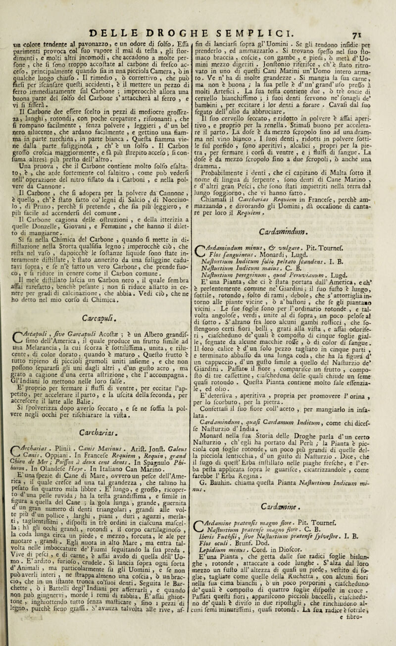 tua colore tendente al pavonazzo, e un odore di folfo, Effa parimenti provoca col fuo vapore il mal di tefla , gli jflor- dimenti, e molti altri incomodi, che accadono a molte per- fone , che fi fono troppo accollate al carbone di frefeo ac- cefo, principalmente quando fia in una picciola Camera, b in qualche luogo chiufo . Il rimedio , ò correttivo , che può farli per ifeanfare quelli accidenti, è il mettere un pezzo di ferro immediatamente fui Carbone ; imperocché allora una buona parte del folfo del Carbone s’attaccherà al ferro , e vi fi fi fièra . Il Carbone dee edere feelto in pezzi di mediocre grettez¬ za > lunghi, rotondi, con poche crepature , rifuonanti , che fi rompano facilmente , fenza polvere , leggieri , d’ un bel nero rilucente, che ardano facilmente , e gettino una fiam¬ ma in parte turchina, in parte bianca . Quella fiamma vie¬ ne dalla parte fuligginosa , eh’ è un folfo . Il Carbon grotto crolcia maggiormente , e fa più jlrepito accetto ; ficon- nima altresì più pretto dell’ altro. Una pruova , che il Carbone contiene molto folfo efalta- to, è , che arde fortemente col falnitro , come può vederli nell’ operazione del nitro fidato da i Carboni , e nella pol¬ vere da Cannone. Il Carbone , che fi adopera per la polvere da'Cannone , è quello , eh’è flato fatto co’legni di Salcio , di Nocciuo- lo , di Pruno, perchè fi pretende , che fia più leggiero , e più facile ad accenderfi del comune . Il Carbone cagiona delle ottruzioni , e della itterizia a quelle Donzelle, Giovani , e Femmine , che hanno il dilet¬ to di mangiarne,. Si fa nella Chimica del Carbone , quando fi mette in di- ttillazione nella Storta qualfifia legno ; imperocché ciò, che retta nel vafo , dapoicchè le fottanze liquide fono Hate in¬ teramente diffidiate, è fiato annerito da una fuliggine cadu¬ tavi fopra, e fe n’è fatto un vero Carbone, che prende fuo¬ co, e fi riduce in cenere come il Carbon comune. Il mele diilillato lafcia un Carbon nero , il quale fembra affai rarefatto, benché pelante ; non fi riduce allatto in ce¬ nere per gradi di calcinazione, che abbia. Vedi ciò, che ne ho detto nel mio corfo di Chimica. Care apuli. CArcapulì , fi ve Gare apuli Acottae ; è un Albero grandif- fimo dell’America, il quale produce un frutto fimile ad una Melarancia, la cui feorza è fottililfima, unita, e rilu¬ cente , di color dorato, quando è maturo , Quello frutto è tutto ripieno di piccioli grumoli uniti infieme , e che non pofiono fepararfi gli uni dagli altri , d’un guido acro , ma grato a cagione d’una certa attrizione, che 1’ accompagna. Gl’Indiani io mettono nelle loro falfe. E’ proprio per fermare i flutti di ventre, per eccitar l’ap¬ petito , per accelerare il parto, e la ufeita della feconda, per accrefcere il latte alle Balie. Si fpolverizza dopo averlo feccato , e fe ne foffia la pol¬ vere negli occhi per rifehiarare la villa, Canhanas. (>Arcbarias . Plinii . Canis Marinus . Arili. Jonfl. Galeus fi Canix. Oppiani. In Francefe Requiem , Requin, grand Cbien de Mer ; Poi [fon a deux cent dents. In Spagnulo Pbi- huron, In Olandefe Haye. In Italiano Can Marino. . E’ una fpezie di Cane di Mare, ovvero un pefee dell’Ame¬ rica , il quale erette ad una tal grandezza , che taluno ha pelato fin quattro mila libbre . E’lungo, e grotto, ricoper¬ to d’una pelle ruvida ; ha la tetta grandiflìma , e fimile in figura a quella del Cane ; la gola lunga , grande, guernita d un gran numero di denti triangolari , grandi alle vol- te piu d’un pollice , larghi , piani , duri , aguzzi, merla¬ ti , taglientiffimi , difpotti in tré ordini in ciafcuna mattel- la ; ha gli occhi grandi , rotondi , il corpo cartilaginofo , la coda lunga circa un piede, e mezzo, forcuta, le ale per nuotare , grandi . Egli nuota in alto Mare , ma entra tal- volta nelle imboccature de’ Fiumi feguitando la fua preda . Vive di petti , e di carne, è affai avido di quella dell’ Uo¬ mo . E ardito, furiofo, crudele. Si lancia fopra ogni forta d’Animali , ma particolarmente fu gli Uomini , e fe non può averli interi , ne ftrappa almeno una cottia, ò un brac¬ cio, che in un ìftante tronca co’fuoi denti. Seguita le Bar¬ chette , ò i Battelli degl’ Indiani per afferrarli , e quando non può giugnervi, morde i remi di rabbia. E’ affai ghiot¬ tone , inghiottendo tutto fenza matticare , fino 1 pezzi di legno, purché fieno gratti. S’avanza talvolta alle rive, af- 71 fin di Ianciarfi fopra gl’Uomini . Se gli tendono infidie per prenderlo , ed ammazzarlo . Si trovano fpeflo nel fuo tto- maco braccia , cottie, con gambe , e piedi, ò metà d’ Uo¬ mini mezzo digeriti . Jonttonio riferirne , eh’è flato ritro¬ vato in uno di quelli Cani Marini un’Uomo intero arma¬ to . Ve n’ ha di molte grandezze . Si mangia la fua carne, ma non è buona ; la lua pelle è d’un’grand’ufo pretto à molti Artefici . La fua tetta contiene due , ò tré oncie di cervello bianchiamo 5 i fuoi denti fervono ne’ fonagli de* bambini , per eccitare i lor denti a forare , Cavafi dal fuo fegato dell’olio da abbruciare. Il fuo cervello feccato, eridotto in polvere è affai aperi¬ tivo , e proprio per la renella. Stimali buono per accelera¬ re il parto . La dotte è da mezzo fcropolo fino ad una dram¬ ma nel vino bianco . I luoi denti, ridotti in polvere fiotti¬ le fui porfido , fono aperitivi, alcalici , propri per la pie¬ tra , per fermare i corli di ventre , e i flutti di Sangue. La dotte è da mezzo fcropolo fino a due fcropoli, ò anche una dramma. Probabilmente i denti , che ci capitano di Malta fiotto il nome di lingua di ferpente , fono denti di Cane Marino , e d’altri gran Petti, che fono flati impietriti nella terra dal lungo foggiorno, che vi hanno fatto. Chiamali il Carcharias Requiem in Francefe, perchè am¬ mazzando » e divorando gli Uomini, dà occafione di canta¬ re per loro il Requiem , Cardamindum. CArdamindum minus, & vulgare. Pit. Tournef. Flos fanguineus. Monardi, Lugd. Nafturtium lndicum folio, peltato jeandens. I. B. Najìurtium lndicum maius. C. B, Nafturtium peregnnum , quod Peruvianum . Lugd. E’una Pianta, che ci è fiata portata dall’America, e eh* è prelentemente comune ne’Giardini ; il fuo fililo è lungo, fiottile, rotondo, folto di rami, debole , che s’attortiglia in¬ torno alle piante vicine , ò a’ baffoni , che fe gli piantalo vicini . Le fue foglie fono per P ordinario rotonde , e tal¬ volta angolofe, verdi, unite al di fopra, un poco pelofea! di fiotto . S’alzano fra loro alcuni gambi roffìcci , che fo- llengono certi fiori belli , grati alla villa , e affai odorife¬ ri , ciattheduno de’quali è comporto di cinque foglie gial¬ le , fegnate da alcune macchie roflè , ò di color di fangue. Il foro calice è d’un folo pezzo tagliato in cinque parti , e terminato abbatto da una lunga coda, che ha la figurò d’ un cappuccio, d’un gufto fimile a quello del Narturzio de* Giardini . Pattato il fiore , comparifce un frutto , compo¬ rto di tre caflèttine, ciafcheduna delle quali chiude un feme quatti rotondo . Quella Pianta contiene molto fale effènzia- le, ed olio. E’ deterliva , aperitiva , propria per promovere 1’ orina , per lo feorbuto, per la pietra. Confettali il fuo fiore coll’ aceto , per mangiarlo in infia¬ lata . Cardamindum , quafi Cardamum lndicum , come chi dicef- fe Narturzio d’India. Monard nella fua Storia delle Droghe parla d’un certo Narturzio , ch’egli ha portato dal Perù ; la Pianta è pic¬ ciola con foglie rotonde, un poco più grandi di quelle del¬ la picciola lenticchia, d’un guito di Narturzio . Dice, che il fugo di quell’Erba mftillato nelle piaghe fretthe, e l’er¬ ba Detta applicata fopra le guarifee, cicatrizzandole , come farebbe l’Erba Regina . G. Bauhin. chiama quella Pianta Nafturtium lndicum mi¬ nus . Cardatine. Ardamine pratenfis magno flore. Pit. Tournef. Nafturtium pratenfe magno fiore. C. B. Iberis Fuchfii, five Nafturtium pratenfe fylveftre. I. B. Flos oculi. Brunf. Dod. hepidium minus. Cord, in Diofcor. E’una Pianta , che getta dalle fue radici foglie bislun¬ ghe , rotonde , attaccate a code lunghe . S’alza dal loro mezzo un furto all’altezza di quafi un piede, vertito di fo¬ ghe, tagliate come quelle della Ruchetta , con alcuni fiori nella fua cima bianchi , ò un poco porporini , ciattheduno de’quafi è comporto di quattro foglie difporte in croce . Pattati quelli fiori, appariscono piccioli baccelli, ciatthedu- no de’quali è divifo in due riportigli , che rinchiudono al¬ cuni femi minutiflìmi, quafi rotondi. La fua radice è fiottile, c hbro-