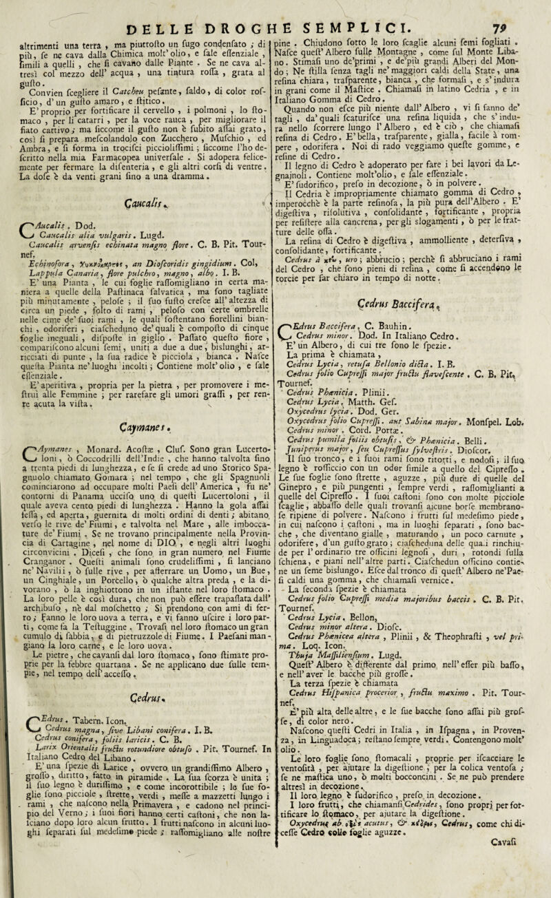 altrimenti una terra , ma piuttoPo un fugo condenfato ; di più, fé cava dalla Chimica mole’olio, e Tale eflenziale , limili a quelli , che fi cavano dalle Piante . Se ne cava al¬ tresì col mezzo dell’ acqua , una tintura rolTa , grata al guflo. Convien fcegliere il Catcheu pelante, faldo, di color rof- ficio, d’ un gullo amaro, e Pitico. E’proprio per fortificare il cervello , i polmoni , lo Po- maco , per li catarri , per la voce rauca , per migliorare il fiato cattivo; ma ficcome il gullo non è fubito aliai grato, così fi prepara mefcolandolq con Zucchero , Mufchio , ed Ambra, e fi forma in trocifci picciolilfimi ; ficcome l’ho de¬ ferito nella mia Farmacopea univerfale . Si adopera felice¬ mente per fermare la difenteria , e gli altri cord di ventre. La dole è da venti grani fino a una dramma. Cane alti ^ CAucalis . Dod. Caucalìs alia vulgaris. Lugd. Caucalìs arixenfis echinata magno flore. C. B. Pit. Tour- nef, ' ■  • Ecbinofora , y\ìxv Stupra , an Diofcoridis gingidium . Col, Lappula Canaria, flore pulchro, magno, albo. I. B. E’ una Pianta , le cui foglie ralTomigliano in certa ma¬ niera a quelle della PaPinaca falvatica , ma fono tagliate più minutamente , pelofe ; il fuo fuPo crefce all’altezza di circa un piede , folto di rami , pelofo con certe ombrelle nelle cime de’ fuoi rami , le quali fomentano fiorellini bian¬ chi , odoriferi , ciafcheduno de’quali è compoPo di cinque foglie ineguali , difpoPe in giglio . Paflàto quePo fiore , comparifcono alcuni femi, uniti a due a due, bislunghi, ar¬ ricciati di punte , la fua radice è picciola , bianca . Nafce quella Pianta ne’luoghi incolti ; Contiene molt’olio , e fale eflenziale. E’ aperitivi , propria per la pietra , per promovere i me- Prui alle Femmine ; per rarefare gli umori gralTi , per ren- re acuta la viPa. N (?aj/ mane s. CAymanes , Monard. AcoPs , Ciuf. Sono gran Lucerto¬ loni , 6 Coccodrilli delPIndie , che hanno talvolta fino a trenta piedi di lunghezza, e fe. fi crede ad uno Storico Spa- gnuolo chiamato. Gomara ; nel tempo , che gli Spagnuoli cominciarono ad occupare molti Paefi dell’ America , fu ne’ contorni di Panama uccifo uno di quePi Lucertoloni , il quale aveva cento piedi di lunghezza . Hanno la gola affai fella., ed aperta, guernita di molti ordini di denti ; abitano, verfo le rive, de’ Fiumi, e talvolta nel Mare , alle imbocca¬ ture de’ Fiumi . Se ne trovano principalmente nella Provin¬ cia di Cartggine , nel nome di DIO, , e negli altri luoghi circonvicini . Dicefi , che fono in gran numero nel Fiume Cranganor . Quelli animali fono crudelilfimi , fi lanciano ne’Navilii, b fulle rive , per afferrare un Uomo, un Bue, un Cinghiale, un Porcello, ò qualche altra preda , e la di¬ vorano , b la inghiottono in un ifiante nel loro Pomaco . La loro pelle e così dura, che non pub elTere trapaflatadall’ archibulo , nè dal mofehetto ; Si prendono con ami di fer¬ ro; Fanno le loro uova a terra, e vi fanno ufeire i loro par¬ ti, cometa la TePuggine . Trovali nel loro Pomaco un gran cumulo di fibbia, e di pietruzzoledi Fiume. I Paefaniman¬ giano la loro carne, e le loro uova. Le pietre , che cavanfi dal loro Pomaco , fono Pimate pro¬ prie per la febbre quartana . Se ne applicano due fulle tem¬ pie, nel tempo deli’accedo . Cedriti* CEdrus. Tabern. Icon, Cedrus magna, flve Libani conifera. I. B. Cedrus conifera, foliis laricis. C. B. Larix Orientalis frutta rotundiore obtujo . Pit. Tournef. In Italiano Cedro del Libano. E’ una lpezie di Larice , ovvero un grandiflfimo Albero , groflo, diritto, tatto in piramide . La fua feorza è unita ; il fuo legno è duritfimo , e come incorottibile ; lo fue fo¬ glie tono, picciole , Prette, verdi , mede a mazzetti lungo i - rami , che nafeono nella Primavera , e cadono nel princi¬ pio del Verno; i tuoi fiori hanno certi cafioni, che non la- iciano dopo loro alcun frutto. I frutti nafeono in alcuni luo¬ ghi lèparati fui medeiìm® piede ; raffomigiiano alle noPre pine . Chiudono fiotto le loro fcaglie alcuni femi fogliati . Nafce queP’ Albero fifllp Montagne , come fui Monte Liba¬ no. Stimafi uno de’primi , e de’più grandi Alberi del Mon¬ do; Ne Pilla lènza tagli ne’maggiori caldi della State, una refina chiara, trafparente, bianca , che formali , e s’indura in grani come il MaPice . Chiamafi in latino Cedria , e in Italiano Gomma di Cedro. Quando non efee più niente dall’Albero , vi fi fanno de’ tagli , da’quali featurifee una refina liquida , che s’ indu¬ ra nello feorrere lungo l’Albero , ed è ciò , che chiamafi refina di Cedro. E’bella, trafparente, gialla, facile à rom¬ pere , odorifera . Noi di rado veggiamo quefie gomme, e refine di Cedro. _ Il legno di Cedro è adoperato per fare i bei lavori da Le¬ gnaiuoli . Contiene molt’olio, e fale eflenziale. E’ fudorifico, prefo in decozione, b in polvere . Il Cedria è impropriamente chiamato gomma di Cedro , imperocché è la parte refinofa, la più pura dell’Albero . E’ digePiva , rifolutiva , confolidante , fortificante , propria per refifiere alla cancrena, per gli slogamenti , b per le frat¬ ture delle offa. La refina di Cedro è digePiva , ammolliente , deterfiva » confolidante, fortificante.” \ Cedrus à , uro ; abbrucio ; perchè fi abbruciano i rami del Cedro , che fono pieni di refina , come fi accendono le torcie per far chiaro in tempo di notte. Cedrus Baccifera » > CEdrus Baccifera, C. Bauhin. Cedrus minor. Dod. In Italiano Cedro. E’ un Albero, di cui tre fono le fpezie. La prima è chiamata , Cedrus Lycia, retufa Bellonio diBa. I. B. Cedrus folio Cuprejfì major fruttu flavefeente , C. B. Più, Tournef. 1 ’ ' Cedrus P binici a . Plinii. Cedrus Lycia, Matth. Gef. Oxycedrus lycia, Dod. Ger. Oxycedrus folio Cuprejfì. aut Sabina major. Monfpel, Lob. Cedrus minor . Cord. Portae. Cedrus pumi la foliis obtufls <& Pheenicia . Belli. Juniperus major, feu Cuprejfus fylvejìris. Diofcor. Il fuo tronco , e ì fuoi rami fono ritorti’, e nodo.fi ; il fuo legno è roflìccio con un odor fimile a quello del Cipreflo » Le fue foglie fono Prette , aguzze , più dure di quelle del Ginepro , e più pungenti , iempre verdi , raflomiglianti a quelle del Cipreflo . I fuoi caPoni fono con molte picciole fcaglie, abballo delle quali trovanti alcune borfe membrano- fe ripiene di polvere. Nafeono i frutti fui medefimo piede, in cui nafcpno i cafloni , ma in luoghi feparati , fono bac¬ che , che diventano gialle , maturando , un poco carnute , odorifere, d’un gufiograto; ciafchediina delle qua.i rinchiu¬ de per l’ordinario tre oflìcini legnofi , duri , rotondi fulla fchiena, e piani nell’altre parti. Ciafchedun officino contie-». ne un feme bislungo. Efce dal tronco di quefi’ Albero ne’Pae- fi caldi una gomma, che chiamafi vernice. - La feconda fpezie è chiamata Cedrus folio Cuprejfì media majoribus baccìs . C. B. Pit, Tournef. ' Cedrus Lycia, Bellon, Cedrus minor altera. Diofc. Cedrus Phcenicea altera , Plinii , & TheophraPi , vel pri¬ ma . Loq. Icon. Ehu ja Majfìlienflum. Lugd. QueP’Albero è. differente dal primo nell’eflèr più ballò, e nell’aver le bacche più groffe. La terza fpezie è chiamata Cedrus Hi/panica procertor , fru&u maximo . Pit. Tour¬ nef, '  ‘  £’ più alta delle altre, e le fue bacche fono affai più grof- ’fe, di color nero. Nafeono quePi Cedri in Italia , in Ifpagna, in Proven¬ za, in Linguadoca; rePanofempre verdi. Contengonomolt’ oliò, ’ Le loro foglie fono Pomacali , proprie per ifcacciare le ventofità , per aiutare la digellione ,‘ per la colica ventofa ; fe ne maPica uno, ò molti Docconcini . Se ne pub prendere altresì in decozione , ; Il loro legfio è fudorifico , prefo in decozione. I loro frutti, che chiamanfi 'Ce^rld’ej-, fono propri per for¬ tificare lo Pomaco, per aiutare la digePione. Oxycedrus ab p’|lt acutus, Ó* , Cedrus, come chidi- ceffe Cedro «olle foglie aguzze. Cavali
