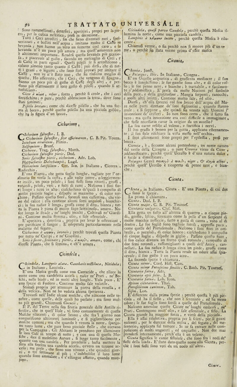 \ trattato universale Sono i ammollienti, deterfiyi, aperitivi» propri per lapie- tfra, per la colica nefritica, prefi in decozione. Tutti ! Ceci arrolhti , fin che fieno diventati neri » fpol- verizzati , e bolliti nell’ acqua , imitano molto il Caffè rn bevanua 3 ^non hanno jn vero un lumetto così caro » e la bevanda n’ è un poco più amara ; ma quell’ amarezza non è altrimenti importuna. Rendefi quella bevanda più grazio¬ la , e piacevole al gufio , facendo un mefcuglio di Ceci , e di Cahè in parti eguali . Quelli pifelli fe li arroftifcono , calano almeno tanto quanto il Caffè ; può dir fi, che di tut¬ ti i grani , o legumi , che fono fiati provati per imitare il Caffè , non ve n’è fiato uno , che lia riufcito meglio di quello. Ho offervato, che i Ceci, che vengono di Spagna, hanno un poco più di gufio di Caffè degli altri , e per¬ dono più ^fattamente il loro giallo di pifelli , quando fi ar~ Tollifcono. Cicer à x/KuJ , robur , forza , perchè fi crede , che i ceci fortifichino; o pure, perchè abbruciano la terra, dove fono fiati feminati . Ti fello beccato ; come chi diceffe pifello , che ha una for¬ ma di becco , perchè quello pifello ha una picciola gobba, che ha la figura d’ un becco. Cichorium ? Cichorium fylveftre . I. B. Cichorium fylveftre, Jìve ojftcmarum. C. B. Pit. Tourn. Intubum enaticum. Plinio. Solfequium . Brunf. Cicborea . Trag, fylveftris. Matth. Cichorium fylveftre picris. Dod. Serie fylveftre picris , cichorium . Adv. Lob. Hyppochxris Dalechampii. Lugd. Hieracium latifolium . Ger. Ico. |n Italiano , Cicorea , Radicchio . E’una Pianta, che getta foglie lunghe, tagliate per P or¬ dinario fin verfo la coffa, e alle vplte intere, o leggiermen¬ te incife, un poco pelofe ; i fuoi filili fono ritorti, grolfi , TOtpndi, pelolì, voti , e folti di rami . Nafcono i fuoi fio¬ ri lungo i rami in alto ; ciafcheduno de’quali è compofto di molte picciole foglie , difpoffe in mazzetto , di color tur¬ chino . Palfato quello fiore , fprmafi una caffettina, che vie¬ ne dal calice ; ella contiene alcuni femi angolofi , bianchic¬ ci ; la fua radice è lunga, grolla come il dito, bianca; tut¬ ta la Pianta è piena di molto fugo latticinofo, amaro. Na- ice lungo le llrade , ne’luoghi incolti . Coltivafi ne’Giardi¬ ni . Contiene molta flemma, olio, c fale eflenziale. E’aperitivi , deteriiva , propria per levar le offruzioni , per purificare il fangue . E’ adoperata particolarmente nelle malattie del fegato. Cichorium à niygiu, inverno ; perchè trovafi quella Pianta per tutto ne’ Campi , e ne’ Giardini. Serie à ferere , feminare picris, àirmpit, amaro, come, chi diceffe Pianta, che fi femina, e eh’è amara, Cicindela , Cicindela. Lampyrìs alata. Cantharis nottiluca, Ni ti dui a ; # in Italiano , Lucciola. E’una Mofca groffa come una Cantaride , che riluce la notte come una candeletta accefa ; nafee ne’ Prati , ne’ Bo- ichi, nelle biade, ed in molti altri luoghi. Vola poco , E’ una fpezie di Fosforo . Contiene molto fale volatile. Stimali propria per attenuare la pietra della renella , e della vefcica. Non ne ho veduta alcuna fperienza. Trovanti nell’Indie alcune mofche, che rilucono nelle te¬ nebre, come quelle, delle quali ho parlato ; ma fono mol¬ to più grandi. Chiamanfi Cucucii . Il P. del Tertre nella fua Storia generale delle Antiile rfi ferifee, che in quell1 Ifole , vi fono comunemente di quelle Mofche rilucenti , di color bruno , che fra ’l giorno non comparifeono altrimenti luminofe , e fi pigfierebbono per ■molche comuni ; ma che quando è venuta la notte, fpargo- no tanto lume , che pare fieno picciole ffelle , che corrano per la Campagna . Gli Abitanti le prendono per illuminate e i°ro Cafe in tempo di notte ; e con una di quelle Mo- c e , dice il medefimo Autore , fi legge tanto facilmente , quan o con una candela . Per prenderle , balla mettere la era a melerà una candela accefa, ovvero un tizzone ac¬ ce o, ma prete , che fieno non vivono , che quindici gior- 111 ’ u° fC* ettlnut?e più ; s* indebolito il loro lume quando ono ammalate , e s’efiingue affatto, quando muo,-* Cicindela, quafi parva Candela, perchè quella Mofca il¬ lumina la notte, come una picciola candela. Lampiris a x&v lucere , perchè quella Mofca è rilu¬ cente . Chiamafi verme, o fia perchè non fi muove più d’un ve me, o perchè fia fiata verme prima d’effer mofca Ciconia, C'leoni a. Jonff. ' Pelargus. Ibis. In Italiano, Cicogna. E’ un Uccello acquatico , di groffezza mediocre ; il fuo becco è lunghiffìmo ; le fuegambe fono alte, e di color rof- fo ; le fue penne nere, e bianche ; è trattabile e facilmen¬ te s’addimefttca . E’prefa da molte Nazioni pel fimbolo della pace, e della gratitudine . Mangia ferpenti, ranocchi, e molti altri infetti. Contiene molto fale, ed olio. Dicefi , eh’ ella fpruzzi col fuo becco dell’ acqua del Ma¬ re nelle parti diretane de’fuoi figliuolini , quando Hanno male ; e lì fuppone ? che quindi ha venuta, agli Uomini P invenzione de’ crifierj . Io non fono certo , che il fatto fia vero ; ma qufia invenzione era così difficile a immaginare a che folle neceffario cavar la origine da un uccello ? La fua carne refifie al veleno, e fortifica i nervi. Il fuo graffo è buono per la gotta, applicato efternamen- te; il fuo fiele rifehiara la villa niello nell’occhio. 1 fuoi eferementi fono proprj per l’epilelfia , prefi per bocca. Ciconia , è , ficcome alcuni pretendono , un nome cavato dal verfo della Cicogna , o pure Ciconia viene da Cicur , uddirnefticato, perchè quell’ Uccello è d’una natura dolce , e facile a dimefiicare. Pelargus Grtecè TiKotpyo! d rrehlf, ni ger , & cìpyot albus , perchè quell’ Uccello è ricoperto di penne nere , e bian- che , Cicuta. C'-lcuta , in Italiano, Cicuta . E’ una Pianta, di cui due * fono le fpezie. La prima è chiamata . Cicuta. Dod, I. B. Cicuta major. C. B. Pit. Tournef, Cicutaria vulgaris. Ciuf, Hill. Ella getta un tulio all’ altezza di quattro , o cinque pie¬ di, grpffo, lifeio, fcreziato come la pelle d’un Serpente di molte macchie roffìccie, fatto a guifa di canna , voto al di dentro . Le fue fogli è fono tagliate fiottili , appretto poco , come quelle del Pretofemolo . Nafcono i fuoi fiori in om¬ brelle, o parafali, di color bianco; ciafcheduno è comporto di cinque foglie , difpoffe in giglio . Paffato quello fiore , il fuo calice diventa un frutto quafi rotondo , comporto di due femi rotondi , raffòmiglianti a quelli dell’ Anice , can¬ nellati, La fua radice è lunga circa un piede, groffa come il dito, bianca . Tutta la Pianta rende un odore affai fpia- cevole ; il fuo guflo è un poco acro. La feconda fpezie è chiamata, Cicuta minor. Cord. Hill. Cam. Cicuta minpr Petrofeltno fimilis, C. Bauh, Pit, Tournef, Cicutaria fatua. Adv. Cicutaria apii folio. 1. B. Cicutaria fatua. Lob. Icon. fipium cicutarium. Thal. Petrofelinum camnum, Tab. Sifon, Lon. E’differente dalla prima fpezie ; perchè quella è più pic¬ ciola , ed ha il furto , che non è fcreziato , ed ha meno odore; le fue foglie fono filmili a quelle del Pretofemolo. Nafcono amendue quelle Cicute ne’ luoghi ombro!! , ne* Prati, Contengono molt’olio, e fale effènziale, e fifio. La Cicuta grande ha maggior forza , e virtù delia picciola. Ella è affai rilplutiva, propria per fi feirri, per li gozzi nafeenti , per le durezze della milza , del fegato , del me- fenterio, applicata fui tumore . Se ne fa entrare nelle com- ppfizioni di molti unguenti , ed empiafiri , Non dee mai prenderfì internamente, perch’ella è un veleno. Cicuta fignifica le canne fillolofe , che fono fra i nodi de* furti della biada. E’fiato dato quello nome alla Cicuta, per¬ che i luoi furti fono voti da un nodo all’altro. Ci/nex » /
