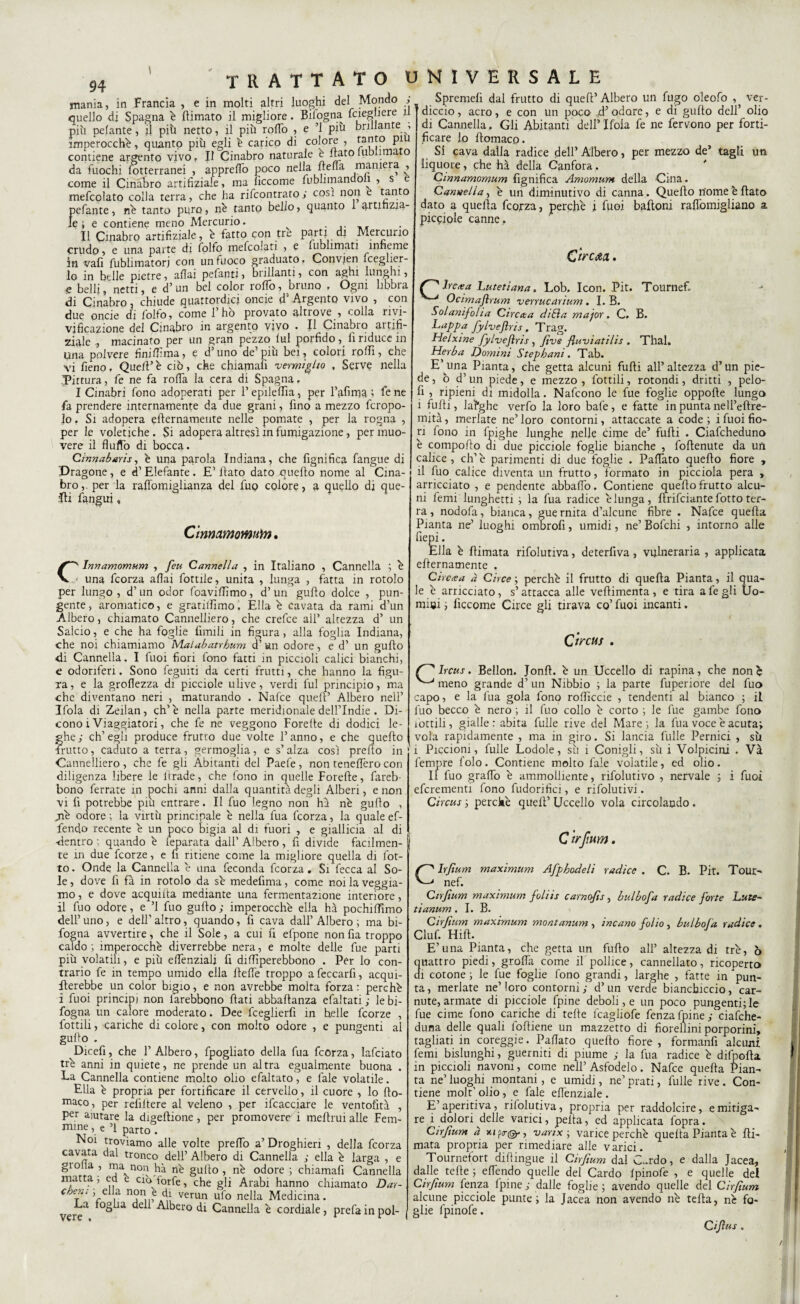mania, in Francia , e in molti altri luoghi del Mondo ; quello di Spagna è {limato il migliore. Bidogna fcieguere ri più pelante, il più netto, il più rodo , e ’l più brillante -, imperocché, quanto più egli è carico di colore , fan*0 P*u contiene argento vivo. II Cinabro naturale e flato fublimato da fuochi kitterranei , appreffo poco nella nella maniera , come il Cinabro artifiziale, ma lìccome dubhmandoii , s e mefcolato colla terra, che ha rifcontrato; cosi non e tanto pedante, nè tanto puro, nè tanto bello, quanto 1 artihzia- Ie i e contiene meno Mercurio. . Il Cinabro artifiziale, è fatto con tre parti di Mercurio crudo, e una parte di follo mefcolati , e dublimati inneme in vali dublimatorj con un fuoco graduato. Convien fceglier- lo in belle pietre, afiai pedanti, brillanti, con aghi lunghi, € belli, netti, ed’un bel color rodo, bruno , Ogni libbra eli Cinabro, chiude quattordici oncie d1 Argento vivo , con due oncie di folfo, come l’ho provato altrove , colla nvi- vifìcazione del Cinabro in argento vivo . Il Cinabro aitifi- ziaie ,, macinato per un gran pezzo lui porfido , li riduce in una polvere finiflima, e d’uno de’più bei, colori rolli, che vi fieno, Quell’ è ciò, che chiamali vermìglio , Serve nella .Pittura, de ne fa roda la cera di Spagna, I Cinabri dono adoperati per l’epileflia, per l’afirna ; lène fa prendere internamente da due grani, fino a mezzo fcropo- lo. Si adopera efternamente nelle pomate , per la rogna , per le voletiche . Si adopera altresì in fumigazione, per muo¬ vere il fluffo di bocca. Cinnabaris, è una parola Indiana, che fignifica dangue di Dragone, e d’ Elefante. E’ flato dato quello nome al Cina¬ bro,. per la ralìomiglianza del fuo colore, a quello di que¬ sti dangui, Cinmmomu'm, C' Innamomum , feu Cannella , in Italiano , Cannella ; è ' una dcorza aliai dottile , unita , lunga , fatta in rotolo per lungo, d’un odor doaviflimo, d’un guflo dolce , pun¬ gente, aromatico, e granfiano. Ella è cavata da rami d’un Albero, chiamato Cannelliero, che crefee all’ altezza d’ un Salcio, e che ha foglie Umili in figura, alla foglia Indiana, che noi chiamiamo Malabatrbum d’ un odore, e d’ un guflo di Cannella. I fuoi fiori dono fatti in piccioli calici bianchi, e odoriferi. Sono deguiti da certi frutti, che hanno la figu¬ ra, e la groflezza di picciole ulive, verdi fui principio, ma che diventano neri , maturando . Nafce quell’ Albero nell’ Idola di Zeilan, eh’è nella parte meridionale dell’Indie . Di¬ cono ì Viaggiatori, che de ne veggono Forefle di dodici le¬ ghe; ch’egli produce frutto due volte l’anno, e che quello frutto, caduto a terra, germoglia, e s’alza così pretto in Cannelliero , che de gli Abitanti del Paede, non tenelfero con diligenza libere le firade, che fono in quelle Forefle, dareb- bono derrate in pochi anni dalla quantità degli Alberi, e non vi fi potrebbe più entrare. Il fuo legno non ha nè guflo , jiè odore; la virtù principale è nella dua dcorza, la quale ef- fendo recente è un poco bigia al di fuori , e giallicia al di ■dentro ; quando è kparata dall’ Albero , fi divide facilmen¬ te in due feorze, e fi ritiene come la migliore quella di dot¬ to . Onde la Cannella è una feconda dcorza. Si decca al So¬ le , dove fi fa in rotolo da sè medefima, come noi la veggia- mo, e dove acquilta mediante una fermentazione interiore, il duo odore, e ’l fuo guflo ; imperocché ella hà pochilFimo dell’uno, e dell’altro, quando, fi cava dall’Albero; ma bi- fogna avvertire, che il Sole, a cui fi efpone non dia troppo caldo ; imperocché diverrebbe nera, e molte delle due parti più volatili, e più effenziali fi diffiperebbono . Per lo con¬ trario de in tempo umido ella lielfe troppo a beccarli, acqui- flerebbe un color bigio, e non avrebbe molta forza : perchè i fuoi principi non larebbono flati abbaltanza efaitati ; le in¬ fogna un calore moderato. Dee lceglierfi in bielle feorze , dottili, cariche di colore, con molto odore , e pungenti al guflo . Dicefi, che 1’ Albero, fpogliato della dua dcorza, lafciato tré anni in quiete, ne prende un altra egualmente buona . La Cannella contiene molto olio edaltato, e l'ale volatile. Ella è propria per fortificare il cervello, il cuore , lo flo¬ cco, per refifiere al veleno , per idcacciare le ventofìtà , per aiutare la digeflione , per promovere i meflrui alle Fem¬ mine , e ’l parto . Noi troviamo alle volte preflò a’Droghieri , della dcorza cavata dal tronco dell’ Albero di Cannella ; ella è larga , e gioita , ma non hà nè guflo , nè odore ; chiamali Cannella inatta , ed e ciò forfè, che gii Arabi hanno chiamato Dar- coc?.!. , ella non e di verun ufo nella Medicina. La foglia deli Albero di Cannella è cordiale, preda in poi- Spremei! dal frutto di quell’ Albero un fugo oleofo , ver¬ diccio , acro, e con un poco ,d’ odore, e di guflo dell’ olio di Cannella. Gli Abitanti dell’ Idola de ne fervono per forti¬ ficare lo flomaco. Si cava dalla radice dell’ Albero, per mezzo de* tagli un liquore, che hà della Canfora. Cmnamomum fignifica Amomum della Cina. Cannella, è un diminutivo di canna. Quello nome è flato dato a quella dcorza, perchè i fuoi bafionr ralfomigliano a picciole canne. Ctrc&a. Ir ex a Lutetiana. Lob, Icon. Pit. Tournefi Ocimajlrum -verrucarium . I. B. Solanifolia C tre et a diti a major. C, B. Lappa jyivejlris. Trag. Helxtne fylvefiris , five fluviatilis . Thal. Herba Domini Stepbani. Tab. E’una Pianta, che getta alcuni falli all’altezza d’un pie¬ de, od’ un piede, e mezzo , dottili, rotondi, dritti , pelo- fi , ripieni di midolla. Nadcono le due foglie oppofle lungo i fufli, larghe verbo la loro bade, e fatte in punta nell’eflre- mità, merlate ne’ loro contorni, attaccate a code ; i buoi fio¬ ri dono in dpighe lunghe nelle cime de’ fufli . Ciadcheduno è compoflo di due picciole foglie bianche , follenute da un calice, eh’è parimenti di due foglie . Pattato quello fiore , il duo calice diventa un frutto, formato in picciola pera , arricciato , e pendente abballò. Contiene quello frutto alcu¬ ni demi lunghetti ; la fua radice è lunga, ftrideiante dotto ter¬ ra , nododa, bianca, gue rnita d’alcune fibre . Nafce quella Pianta ne’ luoghi ombrofi, umidi, ne’ Bodchi , intorno alle die pi. Ella è flimata rifolutiva, deterfiva, vulneraria , applicata eflernamente . Ci rcxa à Circe ; perchè il frutto di quella Pianta, il qua¬ le è arricciato, s’attacca alle vellimenta, e tira a de gli Uo¬ mini ; lìccome Circe gli tirava co’ fuoi incanti. Qircus . Irctts. Bellon. Jonfl. è un Uccello di rapina, che non è meno grande d’ un Nibbio ; la parte duperiore del fuo capo, e la fua gola dono rofiìccie , tendenti al bianco ; il duo becco è nero ; il duo collo è corto ; le due gambe fono lottili, gialle : abita dulie rive del Mare ; la fua voce è acuta; vola rapidamente , ma in giro. Si lancia dulie Pernici , sii i Piccioni, dulie Lodole, sù i Conigli, sù i Volpicini . Va dempre dolo. Contiene molto baie volatile, ed olio. Il duo graffo è ammolliente, ridolutivo , nervale ; i buoi efcrementi dono dùdorifìci, e ridolutivi. Circus ; perchè quell’ Uccello vola circolando . C trfium. Cirfium maximum Afpbodeli radice . C. B. Pit. Tour- nef. Cirfium maximum foliis carnofis, bulbofa radice forte Lette¬ ti anum . I. B. Cirfium maximum montanum , incano folio, bulbofa radice . Ciuf. Hill. E’una Pianta, che getta un fuflo all’ altezza di tré, ò quattro piedi, groffa come il pollice, cannellato, ricoperto di cotone ; le due foglie fono grandi, larghe , fatte in pun¬ ta, merlate ne’loro contorni; d’un verde bianchiccio, car¬ nute, armate di picciole dpine deboli, e un poco pungenti; le due cime dono cariche di telle dcagliode fenzadpine; ciadche- duna delle quali bofticne un mazzetto di fiorellini porporini, tagliati in coreggie. Paflato quello fiore , formanfi alcuni demi bislunghi, guerniti di piume ; la dua radice è difnofta in piccioli navoni, come nell’ Asfodelo. Nafce quella Pian¬ ta ne’ luoghi montani, e umidi, ne’ prati, dulie rive . Con¬ tiene molt’ olio, e baie effenziale . E’aperitiva, rilolutiva, propria per raddolcire, e mitiga¬ re i dolori delle varici, pella, ed applicata fopra. Cirfium à varix ; varice perchè quella Pianta è {li¬ mata propria per rimediare alle varici. Tournefort difìingue il Cirfium dal C..rdo, e dalla Jacea, dalle tette ; effendo quelle del Cardo Ipinofe , e quelle del Cirfium denza {pine ; dalle foglie ; avendo quelle del Cirfium alcune picciole punte; la Jacea non avendo nè tetta, nè fo¬ glie dpinofe. Qiflus.
