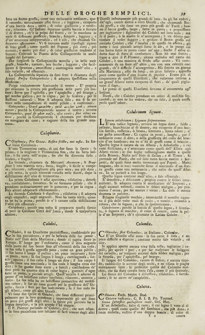 loro un frutto grotto, come una melarancia mediocre, qua¬ li rotondo, naturalmente aliai fecco , e leggiero , ricoperto d’una buccia dura , unita , di color gialliccio , e verdic¬ cio , rilucente. Gl’ Indiani feparano quella buccia c feccato il di dentro , eh’è la polpa del frutto , ce Io mandano in mele di differenti mollezze, bianche, fungofe , leggiere , e d’un’ amarezza inlopportabile , ed è ciò , che chiamali Co- locynthis officinarum . Vi fi trovano molti ri polligli ripieni di femi grofTì , come quelli del Popone , pm cotti , più carnuti, e molto più duri , di color gialliccio tendente al bianco. Coltivafi la Pianta della Colloquintida in molti luoghi del Levante. Dee fceglierfi la Colloquintida novella , in belle mele grolle, bianche, carnute, ben fecche , leggiere , che facil¬ mente fi fpezzino , amarilfime ; contengono molt’ olio , e fale volatile, ed ettènziale. La Colloquintida leparata da Tuoi femi è chiamata dagli Autori Pttlpa Colocynthidos ; fi adopera fpelfilfimo nella Medicina. Purga violentemente fcaricando il ventre . E’ propria per evacuare la pituita più groffolana delle parti più lon¬ tane; Serve per 1’ epilelfia , per l’apoplelfia , pel letargo , el morbo gallico , per la rogna , per la fciatica , per le uffioni catarrali ; Non fi adopera fola , ma fi fa en¬ trare nelle compofizioni di molte pillole , e confezioni. Colocynthis , Grate è mKs*. hfìif , quòd mikI&v *.tv<ù , aluum movet, perchè la Colloquintida muove il ventre ; ovvero Colocynthis, quod fit y.chov y.mvZv , e fica canis , fi ve cibus ca- 7ìum , perchè la Colloquintida è chiamata per derifione un mangiare da cane , a cagione delia fua grande ama¬ rezza . Colopbonìa. COlopbonia, Pix Gratca. Refina friéìa, a ut tofta . In Ita¬ liano Colofonia. E’una Trementina cotta, di cui due fono le fpezie ; la prima, e la migliore è Trementina fina , che fia fatta bol¬ lire, ò fia cotta nell’acqua , fin che fia divenuta foda , bianca, e fragile. La feconda , chiamata da Mercanti Arcanzon , ò Bvay- fecco è una materia nera, fecca, fragile, ò facile a rompe¬ re , rilucente, raffomigliante alla pece nera, ma più dura , e più netta, la quale ritrovafi rimafta nelle Porte, dopo la diltillazione dell’ olio di trementina . La prima Colofonia è affai aperitira, rifolutiva , deterfi- va, confolidante, farcotica. Se ne formano pillole , che fi rendono ordinariamente per le gonorree, e per la rogna . uò altresì adoperarli efternamente . La feconda Colofonia è digeftiva , rifolutiva ; fi adopera negli empiaftri, negli unguenti. Non ha tanta virtù, quan¬ ta ne ha la prima, perchè fe n’ è cavato colla diftillazione l’olio più effenziale. Colophonia , perchè una volta fi preparava quella fpezie di pece in Colofone Città dell’Jonia , donde fi trafportava altrove. C olubrì. COlubri, è un Uccelletto piccioliflìmo, confiderabile per la fua picciolezza, e per la bellezza delle lue penne . Nafce nell’ Ifole della Martinica , donde ci capita lecco in Europa. E’ lungo per l’ordinario , come il dito mignolo dalla punta del fuo becco fino all’ elfremità della fua coda ; la fua telta è grolla appreffo poco , come un gran pifello ; il fuo becco è lungo il pollice , un poco incurvato , fatto in punta, nero ; la fua lingua è lunga , cartilaginofa , fot- tile, aguzza ; il fuo collo è lungo un dito ; il fuo corpo è grò fio come una nocciuola.; la ìua coda è lungha circa due dita,' le fue gambe fono corte , e fiottili ; ciaficheduno de’ luoi piedi ha quattro dita di color bigio , guerniti d’ugne fatte in punta, o piccioli artigli. Quell’uccello è adorno di penne d un bellittimo colore turchino, rilucente, azzurro , vano. La lua teda ha un bellilfimo pennacchio del medefi- mo colore ; le fue ale fono grandi per la groffezza dell’ Uc¬ cello , fuccia 1 fiori per fuo nodrimento j fa il fuo nido lu¬ gli Alberi, come gli altri Uccelli. Vi lono due fpezie di Colubri, che fono differenti princi¬ palmente per la loro grandezza ; imperocché gli uni fono un poco piu groffi degù altri : la fpezie più picciola ha la lingua femphee, e la piu grande P ha doppia . Il P. Plumier parlando de’Colubri, dice , die non ottan¬ te la loro picciolezza non iafeiano di farli temere dagli altri 99 Uccelli infinitamente più grandi di loro. Io gli ho veduti , die’egli, correr dietro a certi Uccelli , che chiamanfi Bec¬ chi grotti, e che fono un poco più grotti de’ Tordi ; han¬ no il becco grotto, largo , fatto in punta , e proprittimo per inghiottire' i figliuolini del Colubri nel loro nido ; ma fe il padre, ò la madre fe n’ accorgono ; è un diletto par¬ ticolare il veder fuggire , e gridare il Becco grotto col picciolo Colubri , che l’incalza ; fe quelli lo atterra , gli mette i fuoi piccioli artigli fotto le ale , e lo punge col fuo becco fatto in punta come un’ ago , finche fi abbia ri¬ dotto fuor di fiato di combattere . Non ho mai fentita , fegue a dire il P. Plumier, alcuna melodia nel canto del Colubri , è una maniera di ftrido affai acuto . Và conti¬ nuamente da un fiore all’ altro , ma con una celerità così grande, eh’è difficile l’accorgercene. Hò fentito un giorno alla Martinica , affai da lungi , un gran fufurro , appreffo poco come quello d’pno fidarne di pecchie . Erano più di cinquecento di quelli Uccelletti , che volavano intorno a un grand’ Albero tutto ricoperto di fiori , de’ quali piglia¬ vano il fugo .. Le penne di quelli Uccelletti fervono d’ ornamento agl’ Indiani. Dicefi, che i Colubri prendano un odore di mufchìo fec- candofi ; io non ne ho veduto, che un folo, il quale aveffe prefo quell’odore. Qolubrìmm llgnum. Ignum eolubrinum ; Lignum fierpentarium E’ una radice legnofa, ovvero un legno duro , faldo , pefante, bianchiccio al di dentro, ma ricoperto d’una buc¬ cia fiottile, rotticcia, ò bruna, ficreziata , fenza odore , d’ un gutto amarittimo . Ci capita in pezzi , lunghi , per 1’ ordinario come il dito, e della groffezza del collo del brac- • ciò d’un bambino ; ma ve n’ hà di grotti come il braccio . Quello legno è cavato da un Albero , ò Arbofcello , i cui rami llrifciano, e s’attaccano come quelli dell’ Ellera agli Alberi vicini ; le fue foglie raffomigliano molto a quelle della Brionia. Nafce nell’Ifole di Zeilan , e di Timor . Si pretende nel Paefe, che col folo tatto faccia morire i Ser¬ penti , da’ quali fono molto tormentati que’ Popoli . Molti tengono, che le noci vomiche fieno il nocciuolo d’ un frut¬ to grotto come una melarancia , che nafce da quell’Albe¬ ro . Io ne parlerò a fuo luogo. Quello legno contiene molt’olio, e fale effenziale. E’deterfivo, e difeccante , proprio contra le febbri inter¬ mittenti. Si adopera contra le morficature de’ Serpenti , e degli animali velenofi, contra le febbri maligne , per pro¬ mover 1’ orina, per far morire ì vermi . La dofe è mezza dramma in polvere. Bifogna fceglierlo vecchio ; imperocché il novello cagio¬ na il più delle volte mali di cuore , e vomiti , eziandio a coloro, che lo fegano, o che lo fpolverizzano. Colubrinum ; perchè la buccia di quello legno , è fcrezia- ta, ò fegnata di macchie, di color di cenere, come la pel¬ le d’un Serpente, eh’è chiamato in Latino Coluber. Co/umba. Olumba, five Columbus, in Italiano , Colombo. E’ un Uccello affai noto .* la fua carne è foda , e un poco difficile a digerire ; contiene molto fiale volatile , ed olio. Si applica aperto ancora vivo filila tetta, tagliatine i ca¬ pelli, per aprire i pori , e per far trafpirare le fuliggini del cervello, ne’ rralporti eccitati dalla febbre maligna , per la frenefia, per l’apoplettia, pel letargo. Il fangue del Colombo, cavato di frefeo, e ancora tiepi¬ do, raddolcifce le acrezze degli occhi, e ne rifana le piaghe nuovamente fatte . Si preferifee quello del Colombo maf- chio, che fia flato cavato fotto l’afa } come il più fpiritofo. Lo Aereo del Colombo è difeuflìvo, rifolutivo, e fortifi¬ cante ; fe ne mette ne’ cataplafmi. Coluteci. COlutea. Fuch. Matth. Dod. Colutea veficaria. C. B. I. B. Pit. Tournef. Senna fiylveftris quibufidam male. Gef. Hor. E’ un Arbefcello, folto di rami, il cui legno è voto al di dentro , quafi come quello del Sambuco , ma più duro, e fenza midolla, veflito d’ una doppia buccia , di color di \