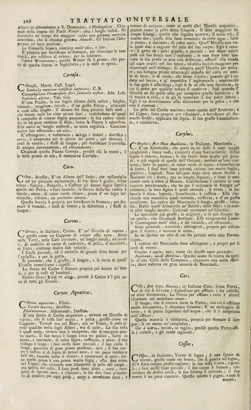 Àlbero in abbondanza a S. Domenico, a Madagafcar . Chia¬ marti nella lingua del Paefe Fimpi ; ama i luoghi faflòfi. Ne fcaturifce ne’tempi del maggior caldo una gomma nericcia, odorifera, che fi chiama gomma Alouchi. Gl’ Indiani 1 ado¬ perano ne loro profumi. La Cannella bianca contiene molt’olio, e fale, E’propria per fortificare Jo'rtomaco, per ifcacciare le ven* tonta, per refirtere al veleno, per lo fcorbuto. Cortex ^ inter amus, perchè Winter fu il primo, che por¬ ti) di quella fcorza in Inghilterra , e la mile in opera, Corttifa, COrtufa. Matth, Cali. Lugd. Sanicula montana lati folla laciniata. C. B. Caryophyllata Veronenfium flore faniculie urfìnte . Adu. Lob. Sanicula alpina . Tab. Ger. E’una Pianta, le cui foglie efcono dalla radice , larghe, rotonde, intagliate, ruvide , d’un guflo (litico , attaccate a code afTai lunghe . S’ alzano frà loro piccioli fulti nudi , che hanno nelle Jor cime alcuni fiori ; ciafcheduno de’quali i: comporto di cinque foglie porporine ; la fua radice confi¬ le in un gran numero di fibre ; tutta la Pianta è odorifera. Ella nafce ne’ luoghi ombrofi , in terra argillofa . Contiene molto fale eflenziale, ed olio. E’ aftringente, e vulneraria , mitiga i dolori , fortifica i nervi, è adoperata per le ulcere del petto , per fermare i corfi di ventre, i flurtì di fangue , per fortificare il cervello. Si adopra internamente, ed elternamente. Chiamafi quella Pianta Cortufa, perchè chi la trovò , è la mife primo in ufo, fi nominava Cprtufo. Corti. COru. Acortaj. E’un Albero dell’ Indie, che rartòmiglia ad un picciolo melarancio. Il fuo fiore è giallo, fenza odore. Garzia , Fragofo, e Cafìore gli danno foglie fimili a quelle del Pefco, e fiori bianchi ; la buccia della fua radice è lottile, unita, di color verde chiaro , piena d’ un fugo lat- ticinofo, vifcofo, un pochetto amaro. Quella buccia è propria per fortificare lo rtomaco, per fer¬ mare il vomito, i corli di ventre , la difenteria , i flurtì di fangue. Corvus. COrvus, in Italiano, Corbo. E’ un’ Uccello di rapina , groflò come un Cappone di colore aliai nero , Abita nelle ^Torri, nelle Cafe rovinate, ne’luoghi umidi, ed incol¬ ti, Si nodrifce di carne di cadavero, di pefci, d’uccelletti, tli frutti; contiene molto fale volatile. I Corbi piccioli, cd il cervello de’grandi fono buoni per F epileflìa, e per la gotta. Si pretende, che il grado, il fangue, e le uova di quell Uccello annerifcano i capelli. Lo Aereo del Corbo è {limato proprio pel dolore de’ den¬ ti, e per la tolfe de’bambini. Corvus Grtecè ex ^P& ? perchè il Corbo è’1 più ne¬ ro di tutti gli Uccelli. Corvus Aquatica!, COrvus aqualicus. Plinii. Cornix manna. Arriftot. Phalacrocorax . Aldrovandi. Jonrton. E’una fpezie di Corbo acquatico , ovvero un Uccello di rapina, che fi tuffa fott’ acqua , e pefca , groflò come un Cappone. Trovafi ora nel Mare, ora ne’Fiumi, fi pofa al¬ tresì qualche volta fugli Alberi , ma di rado . La fua teda è quali nuda, ovvero non è ricoperta, che di una gran pen¬ na matta. Il fuo becco è lungo circa tre pollici , fatto in punta, e uncinato, di color bigio, rofficcio, e nero ; il fuo cfofago è largo ; i fuoi occhi fono piccioli ; il fuo colio è lun^o, guernito di gran penne pendenti, nere ; il fuo cor¬ po e veftito al di fopra di penne nere, e un poco verdiccie nell’ ale, bianche fotto il ventre, e contornate di nero ; fat¬ to quelle penne è una penna matta bigia , affai fina come nel Cigno -, che circonda non folamente la pelle del corpo , ma quella del collo. I fuoi piedi fono piani , corti , rico¬ perti di fquame nere, e rilucenti, le fue dita fono al nume¬ ro di quattro per ogni pie4e , unite a membrane forti , e armate di corazza, come in molti altri Uccelli acquatici , granite .come la pelle detta Chagrin . Il dito maggiore ha cinque falangi, quello che feguita quattro, i'1 terzo tre, il quarto due; quelte dita fono terminate da certe ugne , fatte in punta, e uncinate, di color nero. Quell’ Uccello non vo¬ la quafi mai a cagione del pefo del fuo corpo. Egli è vora¬ ce ; fi getta su i pefci grandi, e piccioli ; ma dopo averli prefi col fuo becco non l’inghiotte , fe non dopo aver lan¬ ciata la fua preda in aria con deftrezza, affinch’ ella ricada col capo avanti nel fuo becco, ed abbia facilità maggiore per Scorrergli nell0efofago. Si adopera quell’uccello per pefea- re ; ma bifogna prima attaccargli abballo del collo un anel¬ lo di ferro, ò di corda, che fermi il pefee, quando gli è ca¬ duto nel becco, e gl’ impedifea 1’ inghiottirlo ; imperocché la fua gola è affai larga ; egli fi fa in erta una faccoccia, in cui il pefee per qualche tempo fi conferva . Indi quando 1’ Uccello ne ha prefo aflai per riempiere quella faccoccia , fi tà venire a riva, e fe gli fi vomitare il fuo pefee intero . Egli è un divertimento aflai dilettevole per la pefca , e che non è comune . La pelle del Corbo marino, come quelle dell’Avoltojo, e del Cigno, fono proprie per rifcaldare, e fortificare gli fto- machi freddi, applicata lor fopra. Il fuo grado è ammollien¬ te, e rifolutivo. Corylus, C' Orylus ; five Nux Avellana, in Italiano. Nocciuolo . > E’ un Arbofcello, che getta molti furti ò rami lunghi pieghevoli , fenza nodi, ricoperti d’una buccia fottile . Il fuo le^no è tenero, bianco ; le fue foglie fono larghe più gran¬ di , e più rugofe di quelle dell’ Ontano, merlate ne’loro con¬ torni, fatte in punta, di color verde di fopra, e bianchiccio di fotto. I fuoi fiori fono piccioli cartoni con molte foglie, giallicci, fcagliofi. Non lafciano dopo loro alcun frutto . Nafcono ivi 1 frutti, ma in luoghi feparati, e fono le noc- ciuole note a tutto il Mondo. Ciafcheduna è involta in una coperta membranofa, che ha per 1’ ordinario le frangie ne’ contorni ; la loro figura è quafi rotonda , ò ovata ; la lor buccia è dura, legnofa, bianchiccia, ò roflicia . Ella rin¬ chiude una mandorla quafi rotonda, roflìccia, e d’un gurto eccellente. La radice del Nocciuolo è lunga, grofla , robu- rta. Nafce quell’Arbofcello ne’Bofchi, nelle fiepi, e in mol¬ ti altri luoghi incolti. Coltivarti parimenti ne’ Giardini. Le nocciuole più grolle, le migliori, e le più rtimate fo¬ no quelle, che chiamanfi Avellane. Erte vengono dal Lione- fe Contengono molt’ olio , e fai volatile, ed eflenziale. Sono pettorali , nutritive, aftringenti, proprie per rirtrin- gere il ventre, e muover le orine, Se ne fpreme un olio di cui ho parlato nella mia Farma¬ copea . I cartoni del Nocciuolo fono allringenti , e propri per li corfi di ventre. Corylus à nxpón■> nux ; come chi dicefle noce picciolo. Avellana, quafi Abellina. Quello nome fu tratto da quel¬ lo d’una Città della Campania , chiamata una volta Abel¬ la, dove nafeeva un gran numero di Nocciuoli. Cos, COs ; fìve lapis Naxius, in Italiano Cote, è una Pietra, di cui fi fervono i Coltellinai per affilare i lor coltelli, ed altre ferramenta. La Pietra per affilare i rafo; è altresì chiamata col medefimo nome. Il fango , che fi ritrova fotto la Pietra, con cui fi affilano molte ferramenta, è chiamata Cimolea ; E’ un mefcuglio di ferro , e di pietra liquefatti dall’acqua , che fi è adoperata nell’ affilare. Quefta materia è rifolutiva, propria per fermare il fan- gue ; fe ne mette ne’ cataplafmi. Cos à noma, incido, io taglio; perchè quella Pietra affi¬ la i coltelli, e gli rende taglienti. Cojjus. COffus, in Italiano, Verme di legno ; è una fpezie di verme, groflo come un bruco, che fi genera nel legno, eh’ è flato troppo preflo tagliato ; la fua tefta^ è nera, e grof- la, • i fuoi occhi fono piccioli; il fuo corpo è bianco , cir¬ condato da dodici anelli, la fua fchiena è rotonda ; il fuo ventre è un poco concavo. Quello infetto è pigro, e non fi muove,