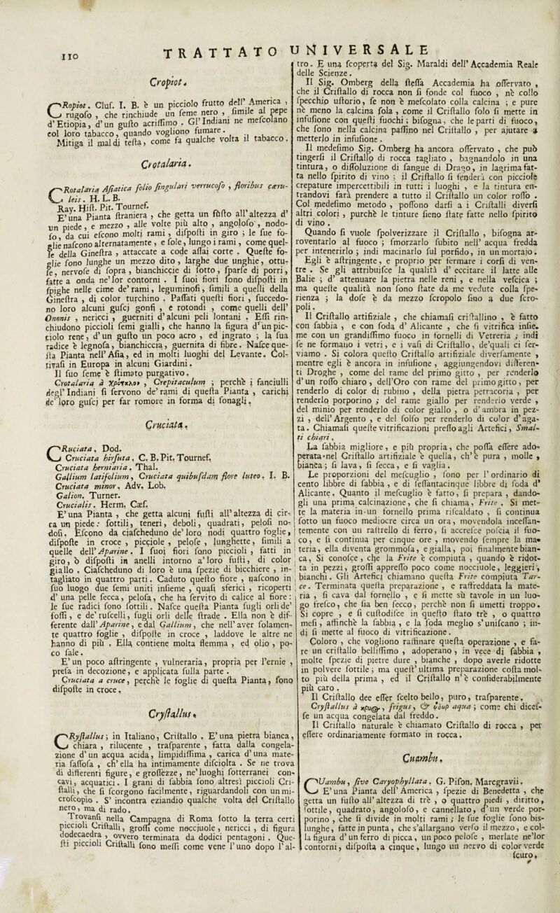 Ilo Croato 14 CRopiot. Ciuf. I. B. 'e un picciolp frutto dell’ America , rugofo , che rinchiude un Teme nero , fimile a. PfP*- d’Etiopia, d’un gufto acriflìmo . Gl Indiani ne mefco ano eoi loro tabacco, quando vogliono fumare. Mitiga il mal di tefta, come fa qualche volta il tabacco. Crotalaria. C Rotaiaria Afiatica folio fìnga lari verrucofo , flou bus cteru- lets. H. L. B. Dav «ifl. Pit. Tournef. E’una Pianta Bramerà , che getta un fùfto all’altezza d’ un piede , e mezzo , alle volte più alto , angolofo', nodo- fo da cui efcono molti rami , difpofti in giro ; le lue fo¬ glie nafcono alternatamente , e fole, lungo i rami, come quel¬ le della Gineftra , attaccate a code aliai corte . Quelle fo¬ glie fono lunghe un mezzo dito , larghe due unghie, ottu- fe, nervofe di fopra , bianchicce di lotto, Iparfe di porri, fatte a onda ne’lor contorni . I fuoi fiori fono difpofti in fpighe nelle cime de’ rami, leguminofi, fimili a quelli della Gineftra , di color turchino , Partati quelli fiori , fuccedo- no loro alcuni gufcj gonfi , e rotondi , come quelli dell’ Ononis , nericci , guerniti d’alcuni peli lontani . Erti rin¬ chiudono piccioli femi gialli, che hanno la figura d’un pic¬ ciolo rene, d’un gufto un poco acro , ed ingrato ; la fua radice è legnofa, bianchiccia, guernita di fibre. Nalpeque¬ lla Pianta nell’Afta, ed in molti luoghi del Levante. Col¬ tivali in Europa in alcuni Giardini. Il fuo feme è ftimato purgativo. Crotalaria à Xpttxhor , Crepitaculum ; perchè i fanciulli degl’ Indiani fi fervono de’ rami di quella Pianta , carichi de^lpro gufcj per far romore in forma di fonagli. Cruciata, UNIVERSALE tro. E una fcoperta del Sig. Maraldi dell’ Accademia Reale delle Scienze. Il Sig. Omberg della ftefla Accademia ha oflervato , che il Criftallo di rocca non fi fonde col fuoco , nè collo fpecchio uftorio, fe non è mefcolato colla calcina ; e pure nè meno la calcina fola , come il Cri Hallo folo fi mette in infufione con quelli fuochi; bifogna, che le parti di fuoco, che fono nella calcina pallino nel Criftallo , per ajutare a metterlo in infufione. Il medefimo Sig. Omberg ha ancora offervato , che pub tingerfi il Criftallo di rocca tagliato , bagnandolo in una tintura, o difloluzione di fangue di Drago, in lagrima fat¬ ta nello fpirito di vino ; il Criftallo fi fenderà con picciole crepature impercettibili in tutti i luoghi , e la tintura en¬ trandovi farà prendere a tutto il Criftallo un color rofio . Col piedefimo metodo , polTono darli a i Cnftalli diverfi altri colori , purché le tinture fieno fiate fatte nello fpirito di vino . Quando fi vuole fpolverizzare il Criftallo , bifogna ar¬ roventarlo ai fuoco ; fmorzarlo fubito nell’ acqua fredda per intenerirlo; indi macinarlo fui porfido, in un mortaio. Egli è aftringente, e proprio per fermare i corfi di ven¬ tre . Se gli attribuire la qualità d’ eccitare il latte alle Balie ; d’ attenuare la pietra nelle reni , e nella vefcica ; ma quelle qualità non fono fiate da me vedute colla fpe- rienza ; la dofe è da mezzo fcropolo fino a due fero- poli. Il Criftallo artifiziale , che chiamali cri Ballino , è fatto con fabbia , e con foda d’ Alicante , che fi vitrifica infie. me con un grandilfimo fuoco in fornelli di Vetreria j indi fe ne formano i vetri, e i vafi di Criftallo, de’quali ci fer¬ viamo . Si colora quello Criftallo artifiziale diverfamente , mentre egli è ancora in infufione , aggiungendovi differen¬ ti Droghe , come del rame del primo gitto , per renderlo d’un rolfo chiaro , dell’Oro con rame del primo gitto, per renderlo di color di rubino , della pietra petracoria , per renderlo porporino ; del rame giallo per renderlo verde , del minio per renderlo di color giallo , o d’ambra in pez¬ zi , dell’Argento , e del folfo per renderlo di co’or d’aga¬ ta . Chiamali quelle vitrificazioni prefio agli Artefici, Smal¬ ti chiari. CRuotata. Dod. Cruciata hirfuta. C. B. Pit, Tournef, Cruciata herniaria. Thal. Gallium latifoltum, Cruciata quibufeìam flore luteo, I. B. Cruciata minor. Adv. Lob. Galion. Turner. Crucialis. Herm, Caef. E’una Pianta , che getta alcuni fufti all’altezza di cir¬ ca un piede : fiottili, teneri, deboli, quadrati, peiofi no- Bofi. Eficono da ciafcheduno de’ loro nodi quattro toglie, difpofte in croce , picciole , pelofe , lunghette, limili a quelle dell’ Aparine, I fuoj fiori fono piccioli, fatti in giro, b difpofti in anelli intorno a’loro fufti, di color giallo , Ciafcheduno di loro è una fpezie di bicchiere , in¬ tagliato in quattro parti. Caduto quello fiore , nafcono in fuo luogo due femi uniti infieme , quafi sferici , ricoperti d’ una pelle fecca, pelofa, che ha fervito di calice al fiore: le fue radici fono fottili. Nafce quella Pianta Lugli orli de’ folli, e de’rufcelli, fugli orli delle ftrade . Ella non è dif¬ ferente dall’ Aparine, e dal Gallium, che nell’aver fidamen¬ te quattro foglie , difpofte in croce , laddove le altre ne hanno di più , Ella contiene molta flemma , ed olio , po¬ co fale, E’ un poco aftringente , vulneraria, propria per l’ernie , prefa in decozione, e applicata fulla parte . Cruciata a cruce, perchè le foglie di quella Pianta, fono difpofte in croce, Qryftallus « CRyflallus; in Italiano, Criftallo , E’una pietra bianca, chiara , rilucente , trafparente , fatta dalla congela¬ zione d’ un acqua acida, limpidiflima , carica d’una mate¬ ria fafibfa , ch’ella ha intimamente difciolta . Se ne trova di differenti figure, egroflezze, ne’luoghi fotterranei con-» cavi, acquatici. I grani di fabbia fono altresì piccioli Cri- Halli , che fi feorgono facilmente, riguardandoli con un mi- crofcopio . S’ incontra eziandio qualche volta del Criftallo nero, ma di rado, Trovatili nella Campagna di Roma lotto la terra certi piccioli Criftalli, grofli come neccjuole , nericci , di figura dodecaedra , ovvero terminata da dodici pentagoni . Que¬ lli piccioli Criftalli fono mefii come vene l’uno dopo l’al- La fabbia migliore, e più propria, che polla efière ado¬ perata «nel Griftallo artifiziale è quella, eh’è pura , molle , bianca ; fi lava, fi fecca, e fi vaglia, Le proporzioni del mefcuglio , fono per 1’ ordinario di cento libbre di fabbia , e di feflantacinque libbre di foda d’ Alicante, Quanto il mefcuglio è fatto, fi prepara , dando¬ gli una prima calcinazione, che fi chiama, Frite . Si met¬ te la materia in-un fornello prima rifcaldato , fi continua fotto un fuoco mediocre circa un ora, movendola inceflan- temente con un raftrelio di ferro, fi accrefce pofeia il fuo¬ co, e fi continua per cinque ore , movendo fempre la ma* teria, ella diventa grommofa, e gialla, poi finalmente bian¬ ca, Si conofce , efie la Frite è compiuta , quando è ridot¬ ta in pezzi, grofli appreflò poco come nocciuole, leggieri, bianchi. Gli Artefici chiamano quella Frite compiuta Far¬ ce. Terminata quella preparazione , e raffreddata la mate¬ ria , fi cava dal fornello , e fi mette sù tavole in un luo¬ go frefeo, che fia ben fecco, perchè non fi umetti troppo. Si copre , e fi cuftodifce in quello flato tré , o quattro mefi , affinché la fabbia , e la loda meglio s’unificano ; in¬ di fi mette al fuoco di vitrificazione. Coloro , che vogliono raffinare quefta operazione , e fa¬ re un criftallo belliflìmo , adoperano , in vece di fabbia , molte fpezie di pietre dure , bianche , dopo averle ridotte in polvere fiottile ; ma quell’ ultima preparazione colla mol¬ to più della prima , ea il Cnftallo n’è confiderabilmente più caro , Il Criftallo dee eftèr feelto bello, puro, trafparente, Cryftallus à xpvQ-, frigus, & Còup aqua ; come chi dicci- fe un acqua congelata dal freddo, Il Criftallo naturale è chiamato Criftallo di rocca , per eflere ordinariamente formato in rocca. Cu amili » Uambu, fìve Caryophyllata, G. Pifon. Marcgravii, E’ una Pianta dell’ America , fpezie di Benedetta , che getta un fililo all’ altezza di tré , o quattro piedi , diritto, fiottile, quadrato, apgolofo, e cannellato, cf’un verde por¬ porino , che fi divide in molti rami ; le fue toglie fono bis¬ lunghe , fatte in punta, che s’allargano verfo il mezzo, e col¬ la figura d’ un ferro di picca, un poco pelofe , merlate ne’lor contorni, difpoila a cinque, lungo un nervo di color verde leuro,