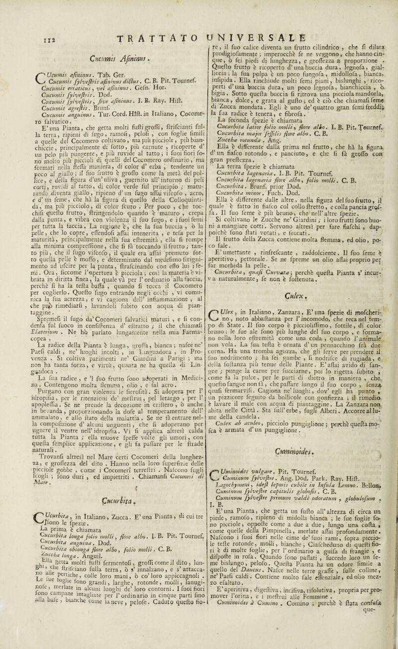 l • » • i ' • Cucimis Afininus. CUcumis afininus. Tab. Ger.. Cucumis fylvejìris afininus diSus. C» B. Pit, Tournef. Cucumis erraticus, vel afininus. Gefn. Hor. Cucumis fylvefiris. Dod. Cucumis Jylvefiris, five afininus. I. B. Ray. Hill. Cucumis agrejìis. Brunf. Cucumis angumus, Tur» Cord. Hill. in Italiano, Cocome- 10 falvatico. E’ una Pianta, che getta molti furti grortì, rtrifcianti mi¬ la terra, ripieni di fugo, ramofi, pelofi , con foglie^ limili a quelle del Cocomero coltivato , ma più picciole, piùbian- chiccie, principalmente di lotto, più carnute , ricoperte d’ un pClo più pungente, e più ruvide al tatto ; i fuoi fiori fo¬ no molto più piccioli di quelli del Cocomero ordinario, ma formati nella ltcrta maniera, di color d’ erba , tendente un poco al giallo ; il fuo frutto e grofio come la metà del pol¬ lice , e della figura d’un’ uliva , guarnito all’ intorno di peli corti, ruvidi al tatto, di color verde fui principio ; matu¬ rando diventa giallo, ripieno d’un fugo affai vifcofo , acro, e d’i;n feme, che ha la figura di quello della Colloquinti- da, ma più picciolo, di color l’euro . Per poco , che toc¬ chili qherto frutto, Pungendolo quando è maturo , crepa dalla punta, e vibra con violenza il fuo fugo, e i fuoi femi per tutta la faccia. La regione è, che la fua buccia , b la pelle, che lo copre, effendofi affai intenerita , e tela per la maturità, principalmente nella fua eftremità , ella fi rompe alla minima compreflione, che li fà toccando il frutto; tan¬ to più, che il fugo vifcofo, il quale era aliai premuto fot- to quella pelle è moflo, e determinato dal medefimo ilrigni- mento ad ufeire per lg punta, fìrafeinando con elio lui 1 fe¬ mi, Ora, ficcome fi-apertura è picciola ; cosi la materia c vi¬ brata in diritta linea, la quale va per fi ordinano ' alla faccia, perchè fi ha la terta balla , quando fi tocca il Cocomero per coglierlo. Quello fugo entrando negli occhi , vi comu¬ nica la fua acrezza, e vi cagiona dell’ infiammazione , al che pujo rimediarfi , lavandoli fubito con acqua di pian¬ taggine . Spremerti il fugo da’Cocomeri falvatici maturi , e fi con- denfa lui fuoco in confidenza d’ ertratto ; il che chiamafi Elaterìum . Ne ho parlato lungamente nella mia Farma¬ copea . La radice della Pianta è lunga, grolfa, bianca; nafeéne’ Paefi caldi, ne’luoghi incolti , in Linguadoca , in Pro¬ venza . Si coltiva parimenti ne’ Giardini a Parigi ; ma non ha tanta forza, e virtù, quanta ne ha quella Hi Lin- guadoca . La fua radice , e ’l fuo frutto fono adoperati in Medici¬ na . Contengono molta flemma, olio , e (al acro. Purgano con gran violenza le lierolità. Si adopera per fi ìdropilia, per le ritenzioni de’ mefirui, pel letargo , per fi apoplertia. Se ne prende la decozione in enfierò , ò anche in bevanda, proporzionando la dofe al temperamento dell’ ammalato, e allo fiato della malattia. Se ne fà entrare nel¬ la compofizione d’ alcuni unguenti, che fi adoperano per ugnere il ventre nell’idropifia. Vi fi applica altresì calda tutta la Pianta ; ella muove lpelfe volte gli umori, con quella femplice applicazione, e gli fa paliate per le Iliade naturali. Trovanfi altresì nel Mare certi Cocomeri della lunghez¬ za, e grortezza del dito . Hanno nella loro fuperfizie delle picciole g^obbe , come i Cocomeri terrertri . Nafcono Lugli (cogli ; lono duri , ed impietriti . Ghiamanlì Cocomeri di Mare. ? £ucurhttA, Cucurbita, in Italiano, Zucca. E’una Pianta, di cui tre Jfono le fpezie. ■La prima è chiamata Cucurbita longa folio molli, flore albo. I» B. Pit. Tournef. Cucurbita anguma. Dod. Cucurbita oblonga flore albo, folio molli. C. B. faiccha longa. Anguil. -hi lla,^etu m°fii furti fermentofi, grortì come il dito, lun- ^ ^ll e rttifciano filila terra, ò s’innalzano, e s’ attacca¬ ci10 a e pertiche, colle loro mani, b co’ loro appiccagnoli . e v e toglie fono grandi, larghe, rotonde, molli, lanugi¬ ni0 c , merlate in alcuni luoghi de’ loro contorni. I fuoi fiori Jono campane intagliate per fi ordinario in cinque parti fino alla baie , bianche come Li neve, pelofe. Caduto quello fio¬ re, il fuo calice diventa un frutto cilindrico , che fi dilata prodigiofamente ; imperocché fe ne veggono, che hanno cin¬ que, b fei piedi di lunghezza, e grortezza a proporzione , Quello frutto è ricoperto d’una buccia dura, legnofa, gial¬ liccia ; la fua polpa è un poco fungofa , midollofa, bianca, infipida. Ella rinchiude molti Temi piani, bislunghi , rico¬ perti d’una buccia dura, un poco legnofa, bianchiccia , ò bigia. Sotto quella buccia fi ritrova una picciolamandorla, bianca, dolce, e grata al gurto ; cd è ciò che chiamafi feme di Zucca mondata. Egli è uno de’quattro gran femi freddi; la fua radice è tenera, e fibrofa. La feconda fpezie è chiamata Cucurbita latior folio molli, flore albo. I. B. Pit. 'f'oumefi Cucurbita major feffilis flore albo. C. B. Zuccha rotunda . Ang. Ella è differente dalla prima nel frutto, che hà la figura d’ un fiafeo rotondo , e panciuto, e che fi fa groflò con gran prertezza. La terza fpezie è chiamata Cucurbita lagenaria. I. B. Pit. Tournef. Cucurbita lagenaria flore albo, folio molli. Q. B, Cucurbita. Brunf. prior Dod. Cucurbita minor. Fuch. Dod. Ella è differente dalle altre, nella figura del fuo frutto, il quale è fatto in fiafeo col collo rtretto, e colla pancia graf¬ ia. Il fuo feme è più bruno, che nell’altre fpezie. Si coltivano le Zucche ne’ Giardini ; 1 loro frutti fono buo¬ ni a mangiare cotti. Servono altresì per fare fiafehi , dap¬ poiché fono fiati votati, e leccati. Il frutto della Zucca contiene molta flemma, ed olio, po¬ co fale. E’umettante , rinfrefeante , raddolcente. Il fuo feme è aperitivo , pettorale. Se ne fpreme un olio aliai proprio per far morbida la pelle. Cucurbita, quafi Curvata ; perchè quella Pianta s’ incur¬ va naturalmente, fe non è fofienuta. Quiete. CUlex, in Italiano, Zanzara, E’una fpezie di mofeheri- no, noto abballanza per fi incomodo, che reca nel tem- o di State. Il fuo corpo è picciolirtìmo, fottile, di color runo ; le fue ale fono più lunghe del fuo corpo , e forma¬ no nella loro eftremità come una coda , quando l’animale non vola. La fua terta è ornata d’un pennacchino frà due corna. Ha una tromba aguzza, che gli ferve per prendere il fuo nodrimento ; ha fei gambe , fi nodrifee di rugiada, e della Ibrtanza più tenue delle Piante. E’aliai avido di fan- gue ; punge la carne per fucciarne-, poi lo rigetta fubito , come fa la pulce, per le parti di dietro in maniera , che. quello fangue non fà, che partirne lungo il fuo corpo , fenza quafi fermarvifi. Cagiona ne’luoghi, dov’ egli ha punto , un pizzicore feguito da bollicole con gonfiezza ; il rimedio è lavare il male con acqua di piantaggine . La Zanzara non abita nelle Città. Sta lull’erbe, Lugli Alberi. Accorre al lu¬ me della candela . Cu/ex ab aculeo, picciolo pungiglione; perchè quella mo- fca è armata d’un pungiglione. Qumìnoides• Uminoides vulgate. Pit. Tournef. Cuminum fylvefire. Ang. Dod. Park. Ray. Hill. J.agochymenì, idejl leporis cubile in Infula Lemno. B-elIon» Cuminum fylvefire capitulis globofis. C. B. Cuminum fylvefire primum valdè odoratum , globulofum . I. B. E’una Pianta, che getta un furto all’altezza di circa un piede, rantolo, ripieno di midolla bianca ; le fue foglie fo¬ no picciole, oppolle come a due a due, lungo una corta » come quelle della Pimpinella, merlate affai profondamente. Nafcono i fuoi fiori nelle cime de’fuoi rami, fopra piccio¬ le terte rotonde, molli, bianche , Ciafcheduno di quelli fio¬ ri è di molte toglie, per fi ordinario a guila di frangie , e difpolte in rofa. Quando fono partati , fuccede loro un fe¬ me bislungo, pelolo. Quella Pianta ha un odore limile a quello del Daucus. Nafce nelle terre graffie , filile colline, ne’Paefi caldi. Contiene molto fale elìcnziale, ed olio mez¬ zo efaltato. E’aperitiva, digeftiva, incifiva, rifolutiva, propria per pro¬ mover Porina, e 1 melimi alle Femmine . Cuminoides d Cumino . Cornino ; perchè è fiata confu fa que-