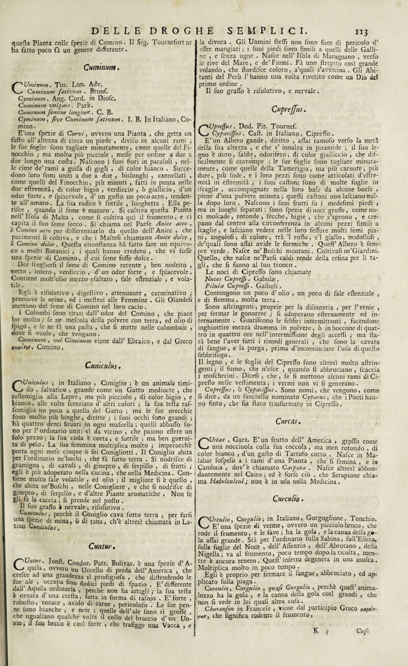 quella Pianta colle fpezie di Cornino. Il Sig. Tournefortne ha fatto poco fa un genere differente. Cumìnum. CUminum, Tur. Lon. Adv, Cumìnum fativum . Brunf. Cyminum. Ang. Cord, in DiofcT Cumìnum vulgare. Park. Cumìnum [emine longiore. C. B. Cyminum, five Cumìnum fativum. I. B. In Italiano , Co¬ rnino. E’una fpezie di Carvi, ovvero una Pianta , che getta un furto all'altezza di circa un piede , divifo in alcuni rami ; le fue foglie fono tagliate minutamente, come quelle dei Fi- nocchio j; ma molto più picciole , mertè per ordine a due a due lungo una corta. Nafcono i fuoi fiori in parafoli , nel¬ le cime de’rami a guifa di gigli > di color bianco . Succe¬ dono loro femi uniti a due a due , bislunghi , cannellati , come quelli del Finocchio, più minuti , fatti in punta nelle due eftremità, di color bigio , verdiccio , ò giallicio, d’un odor forte, e fpiacevole, d’ un gurto un poco acro, tenden¬ te all’ amaro. La fua radice e fiottile , lunghetta , Ella pe- rifee , quando il feme è maturo'. Si coltiva quella Pianta nell’ Ifola di Malta , come fi coltiva qui il frumento, e ci capita il fuo feme Pecco . Si chiama nel Paefe Anice acro , b Cornino acro per differenziarlo da quello dell’ Anice , che parimenti fi coltiva, e che i Maltefi chiamano Anice dolce , b Cornino dolce. Quella circortanza hà fatto fare un equivo¬ co a molti Botanici , i quali hanno creduto , che vi forte una fpezie di Cornino, il cui feme forte dolce.. Dee fceglierfi il feme di Cornino recente , ben nodrito , netto , intero , verdiccio , d’un odor forte , e fpiacevole. Contiene molt’olio mezzo efaltato , fiale ertenziale , e vola¬ tile . Egli è rifolutivo , digertivo , attenuante , carminativo ; promove le orine, ed i meftrui alle Femmine . Gli Olandefi mettono del feme di Cornino nel loro cacio. I Colombi fono tirati dall’ odor del Cornino , che piace lor molto ; fe ne mefcola delia polvere con terra, ed olio di ipigo, e fe ne fà una parta , che fi mette nelle colombaie , dove fi vuole, che vengano. Cumìnum, vel Ciminum viene dall’ Ebraico, e dal Greco jtujtw W • Cornino, Cunìculus * CUniculus ; in Italiano , Coniglio ; è un animale timi¬ do , falvatico , grande come un Gatto mediocre , che rartomiglia alla Lepre, ma più picciolo , di color bigio , e bianco, alle volte fcreziato d’ altri colori ; la fua teua raf- lomiglia un poco a quella del Gatto ; ma le fue orecchie fono molto più lunghe, diritte ; i fuoi occhi fono grandi ; 'hà quattro denti fituati in ogni mafcella ; quelli abbartb fo¬ no per P ordinario uniti sì da vicino , che paiono ertere un folo pezzo ; la fua coda è corta, e fiottile ; ma ben guerni- ta di pelo . La fua femmina moltiplica molto j imperocché porta ogni mefe cinque ò fei Coniglietti, Il Coniglio abita per l’ordinario ne’buchi , che fa fotto terra . Si nodrifee di gramigna , di cavoli , di ginepro , di ferpillo , di frutti ; egli é più adoperato nella cucina, che nella Medicina. Con¬ tiene molto fale volatile , ed olio ; il migliore fi è quello , che abita ne’Bofchi , nelle Conigliere , e che fi nodrifee di ginepro, di ferpillo, e d’altre Piante aromatiche , Non fe gli fà la caccia ; fi prende nel porto , Il fuo grarto « nervate, rifolutivo . Cunìculus, perchè il Coniglio cava fotto terra , per farli una fpezie di mina , ò di tana, ch’è altresì chiamata in La¬ tino Cunìculus, Cuntur« CUntur, Jonrt. Condor. Patr. Bolivar. è una fpezie d’A¬ quila, ovvero un Uccello di preda dell’America che crelce ad una grandezza sì prodigiofa , che difendendo le ,u,„aie j occupa fino dodici piedi di fpazio . E’differente cadi Aquila ordinaria , perchè non ha artigli ; la fua terta e ornata d una creila, fatta in forma di rafojo . E’ forte , robulto, vorace , avido di carne , pericolofo . Le fue pen¬ ne fono bianche , e nere ; quelle dell’ ale fono sì grolle , che ugualiano qualche volta il collo del braccio d’un Uo¬ mo i il fuo becco è così forte , che trafigge una Vacca , e 113 la divora . Gli Uomini rtertfì non fono fuor di pericolo d’ , erter mangiati ; i fuoi piedi fono filmili a quelli delle Galli¬ ne , e fenza ugne . Nafce nell’ Ifola di Maragnano , verfo le rive del Mare, e de’ Fiumi. Fà uno rtrepito così grande volando, che rtordifice coloro, a’quali s’avvicina . Gli Abi¬ tanti del Perù fi hanno una volta riverito come un Dio del primo ordine . Il fuo graffio è rifolutivo, e nervale. Cuprejfus. CUpreffus. Dod. Pit. Tournef. Cypariffus. Cart. in Italiano, Ciprefib. E’ un Albero gande, diritto , aliai ramofo verfo la metà della fua altezza , e che s’ innalza in piramide ; il fuo le¬ gno è duro, faldo, odorifero, di color gialliccio , che dif¬ ficilmente fi corrompe ; le fue foglie fono tagliate minuta¬ mente, come quelle della Tamerigia, ma più carnure, più dure, più fode, e i loro pezzi fono come articolati d’ertre- mità in ertremità j i fuoi cartoni fono di molte foglie in ifeaglie , accompagnate nella loro bafe da alcune borfe , piene d’una polvere minuta ; quelli cartoni non lafciano nul¬ la dopo loro . Nafcono i fuoi frutti fu i medefimi piedi , ma in luoghi feparati : fono fpezie di noci grolle, come no¬ ci mofeade, rotonde , fecche, bigie , che s’aprono , e cre¬ pano dal centro alla circonferenza in alcuni pezzi filmili a fcaglie, e lafciano vedere nelle loro fefiùre molti femi pia¬ ni , angolofi, di colore, trà ’l rodo, e’1 giallo, midollofi , de’quali fono affai avide le formiche . Quell’ Albero è fem- pre verde . Nafce ne’ Bofchi montani. Coltivali ne’Giardini. Quello, che nafce ne’Paefi caldi rende della refina per li ta-* gli, che fi fanno al luo tronco. Le noci di Ciprefib fono chiamate Nuces CupreJJì. Gabulx . Pilulce CupreJJì. G alòidi . Contengono un poco d’ olio , un poco di fale ertenziale , e di flemma, molta terra. Sono artringenti, proprie per la difenteria , per l’ernie , pej: fermar le gonorree ; fi adoperano ellernamente ed in¬ ternamente . Guarifcono le febbri intermittenti , facendone inghiottire mezza dramma in polvere, ò in boccone di quat¬ tro in quattro ore nell’ intermiflìone degli accerti ; ma rta- rà bene l’aver fatti i rimedi generali , che fono la cavata di fangue, e la purga, prima d’incominciare l’ufo di quello febbrifugo. Il legno , e le foglie del Ciprerto fono altresì molto artrin¬ genti ; il fumo, che n’efice , quando fi abbruciano , fcaccia j mofeherini. Dicefi , che , fe fi mettono alcuni rami di Ci¬ prerto nelle veflimenta, i vermi non vi 11 generano. CupreJJ'us, ò Cyparijfus. Sono nomi, che vengono, coma fi dice, da un fanciullo nominato Cyparus, che i Poeti han¬ no finto, che fia flato trasformato in Ciprerto, Curcas. CUrcas , Garz. E’un frutto dell’ America , grpffo come una nocciuola colla fua coccola, ma men rotondo , di color bianco , d’un gurto di Tartufo cotto . Nafce in Ma- labar fofpefo a i rami d’una Pianta , che' fi femina , e in Cambaja , dov’è chiamato Carpata . Nafce altresì abbon¬ dantemente nel Cairo ; ed è forfè ciò , che Serapione chia¬ ma Habelculculi non è in ufo nella Medicina. Cure ulto • CUrculio, Curgulìo', in Italiano, Gorgoglione, Tonchio. E’una fpezie di verme, ovvero un picciolo bruco, che rode il frumento, e le fave ; ha la gola, e la canna della ge¬ la affai grande . Stà per l’ordinario lulla Sabina, full Ellera, fulle foglie del Noce , dell’Artènzio , dell’Abrotano , della Nigella; va al frumento, poco tempo dopo la ricolta, men¬ tre è ancora tenero. Quell’ infetto degenera in una mofea « Moltiplica molto in poco tempo , .Egli è proprio per fermare il fangue, abbruciato , ed ap¬ plicato fulla piaga. Curculiq, Curgulio , qua fi Gurgulio , perchè quell’ anima- luzzo ha la gola , e la canna della gola così grandi , che non fi vede in lui quafi altra cofa. Charanfon in Francefe , viene dal participio Greco napàv- <r«p, che lignifica rodente il frumento, E ? Cuf