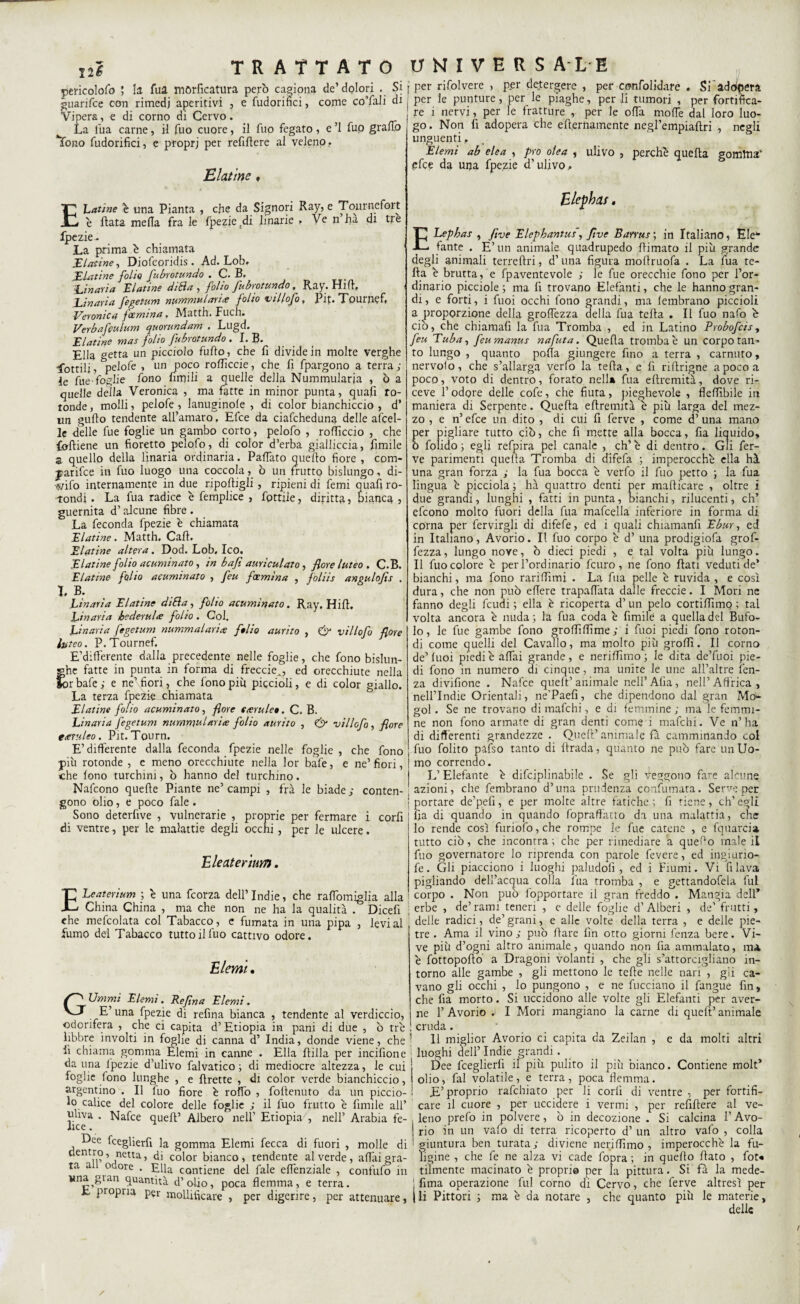 pericolofo ; h fua morficatura però cagiona de’dolori . Si guarifce con rimedi aperitivi , e fudorifici, come coTali di Vipera, e di corno di Cervo. La lua carne, il fuo cuore, il Tuo fegato, e ’l fuo grano Yono fudorifici, e proprj per refiftere al veleno. Elative ♦ . per rifolvere , per detergere , per confolidare . Si adopera ; per le punture, per le piaghe, per li tumori , per fortifica¬ re i nervi, per le fratture , per le offa mode dal loro luo¬ go. Non fi adopera che eft.erìiamente negl’empiaflri , negli unguenti, Élemi ab elea , prò alea , ulivo , perchè quella gomfna' efee da una fpezie d’ulivo. E Latine è una Pianta , che da Signori Ray, e Tournefort 'e fiata meda fra le fpezie .di linarie , Ve n ha di tre fpezie.. La prima b chiamata 1 E latine, Diofepridis . Ad. Lob, Elettine folio fubrotundo . C. B, 'Ignavia Elatine ditta , folio fubrotundo , Ray. Hifi. i Linaria fegetum nummutavite folio villofi, Pif. Tournef, Veronica facmina. Matth. Fuch. Verbafiulum quorundam . Lugd. E latine mas folio fubrotundo. I. B. Ella aetta un picciolo furto, che fi divide in molte verghe Lottili, pclofe , un poco rortìccie, che fi fpargono a terra; le fue-foglie fono firnili a quelle della Nummularia , ò a quelle deila Veronica , ma fatte in minor punta, quafi ro¬ tonde, molli, pelofe , lanuginole , di color bianchiccio , d’ un gufto tendente all’amaro. Efce da ciafcheduna delle ancel¬ le delle fue foglie un gambo corto, pelofo , rorticcio , che feftiene un fioretto pelofo, di color d’erba gialliccia, fimile a quello della linaria ordinaria. Pattato quello fiore , com- jarifce in fuo luogo una coccola, ò un frutto bislungo, di- wifo internamente in due riportigli , ripieni di Temi quafi ro¬ tondi . La fua radice b femplice , fpttiie, diritta , bianca , guernita d’alcune fibre . La feconda fpezie b chiamata Elatine. Matth. Cali. Fiatine altera. Dod. Lob, Ico. Fiatine folio acuminato, in bafi auriculato, flore luteo . C.B. Elatine folio acuminato , feu facmina , foliis angulofis , I. B. Linaria Elatine ditta, folto acuminato. Ray. Hifi. Linaria bederuhe folio . Col. Linaria fegetum nummalarice fitto aurito , & villofi flore luteo. P. Tournef, E’dilferente dalla precedente nelle foglie, che fono bislun¬ ghe fatte in punta in forma di freccie^, ed orecchiute nella Sor baie ; e ne’ fiori, che fono piu piccioli, e di color giallo. La terza fpezie chiamata Elatine folto acuminato, flore cerulee. C. B. Linaria fegetum nummularia folio aurito , & villofi, flore ttev.ileo. Pit. Tourn. E’differente dalla feconda fpezie nelle foglie, che fono jpiù rotonde , e meno orecchiute nella lor bafe, e ne’ fiori, che fono turchini, b hanno del turchino. Nafcono quelle Piante ne’campi , fra le biade; conten¬ gono olio, e poco fale . Sono deterfive , vulnerarie , proprie per fermare i corfi di ventre, per le malattie degli occhi , per le ulcere. Eleaterium. ELeaterium ; è una feorza dell’Indie, che rafiomiglia alla China China , ma che non ne ha la qualità . Dicefi che mefcolata col Tabacco, e fumata in una pipa , levi al fumo del Tabacco tutto il fuo cattivo odore. Eterni. Ummi Elemì. IReflna Eterni. E una fpezie di refina bianca , tendente al verdiccio, odorifera , che ci capita d’ Etiopia in pani di due , b tre libbre involti in foglie di canna d’ India, donde viene, che ii chiama gomma Élemi in canne . Ella flirta per incifione danna lpezie d’ulivo falvatico ; di mediocre altezza, le cui foglie fono lunghe , e ftrette , di color verde bianchiccio, argentino . Il fuo fiore è roffo , foflenuto da un piccio¬ lo calice del colore delle foglie ; il fuo frutto è fimile all’ uliva . Nafce quell’ Albero nell’ Etiopia , nell’ Arabia fe¬ lice . Dee fceglierfi la gomma Elemi fecca di fuori , molle di dentn° ’ ,netta > di color bianco, tendente al verde , affai gra¬ ta all odore . Ella contiene del fale ertenziale , contufo in vna gian quantità d’olio, poca flemma, e terra. Etephar, ELepbas , flve Elepbantus, flve Barrus; in Italiano, Eie1’ fante . E’un animale quadrupedo rtimato il più grande degli animali terreftri, d’una figura mortruofa . La ifua te¬ tta è brutta, e fpaventevole ; le fue orecchie fono per l’or¬ dinario picciole ; ma fi trovano Elefanti, che le hanno gran¬ di , e forti, i fuoi occhi fono grandi, ma fembrano piccioli a proporzione della grò Rezza della fua te Ila . Il fuo nafo è ciò, che chiamafi la fua Tromba , ed in Latino Probofcis, feu Tuba, fiu manus nafuta. Quella tromba è un corpo tan¬ to lungo , quanto porta giungere fino a terra , carnuto, nervolo, che s’allarga verfo la terta, e fi riflrigne a poco a poco, voto di dentro, forato nell* fua eflremità, dove ri¬ ceve l’odore delle cofe, che fiuta, pieghevole , fleffibile in maniera di Serpente. Quella eflremità e più larga del mez¬ zo , e n’efce un dito , di cui fi ferve , come d’una mano er pigliare tutto cib, che fi mette alla bocca, fia liquido, folido ; egli refpira pel canale , eh’ è di dentro. Gli fer¬ ve parimenti quella Tromba di difefa ; imperocché ella hà una gran forza ; la fua bocca è verfo il fuo petto ; la fua lingua b picciola ; hà quattro denti per marticare , oltre i due grandi, lunghi , fatti in punta, bianchi, rilucenti, eh’ efeono molto fuori della fua mafcella inferiore in forma di corna per fervirgli di difefe, ed i quali chiamanti Ebur, ed in Italiano, Avorio. Il fuo corpo e d’ una prodigiofa grof- fezza, lungo nove, b dieci piedi , e tal volta più lungo. Il fuo colore è per l’ordinario feuro, ne fono flati veduti de’ bianchi, ma fono Tariffimi . La fua pelle e ruvida , e così dura, che non pub edere trapaflata dalle freccie. I Mori nc fanno degli feudi ; ella è ricoperta d’ un pelo cortirtìmo ; tal volta ancora è nuda; la fua coda è fimile a quella del Bufo¬ lo, le fue gambe fono grortirtime; i fuoi piedi fono roton¬ di come quelli del Cavallo, ma molto più grorti. Il corno de’ fuoi piedi è affai grande, e nerirtimo ; le dita de’fuoi pie¬ di fono in numero di cinque , ma unite le une all’altre len¬ za divifione . Nafce queft’ animale nell’Afia, nell’Affrica, nell’Indie Orientali, ne’Paefi, che dipendono dal gran Me*» gol. Se ne trovano di mafehi, e di femmine; ma le femmi¬ ne non fono armate di gran denti come i mafehi. Ve n’ha di differenti grandezze . Quell’animale là camminando col fuo folito pàfso tanto di ftrada, quanto ne pub fare un Uo¬ mo correndo. L’ Elefante b difciplinabile . Se gli veggono fare alcune azioni, che fembrano d’una prudenza confumata. Serve per portare de’pefi, e per molte altre fatiche; fi tiene, ch’egli fia di quando in quando fopraflano da una malattia, che lo rende così furiofo,che rompe le fue catene , e fonarci» tutto cib, che incontra ; che per rimediare a queflo male il fuo governatore lo riprenda con parole fevere, ed ingiurio- fe. Gli piacciono i luoghi paludolì , ed i Fiumi. Vi filava pigliando dell’acqua colla l'uà tromba , e gettandofela fui corpo . Non può lopportare il gran freddo . Mangia dell” erbe , de’rami teneri , e delle foglie d’Alberi , de' frutti, delle radici, de’grani, e alle volte della terra , e delle pie¬ tre . Ama il vino; pub rtare fin otto giorni fenza bere. Vi¬ ve più d’ogni altro animale, quando non fia ammalato, ma è fottopofto a Dragoni volanti , che gli s’attorcigliano in¬ torno alle gambe , gli mettono le tefle nelle nari , gii ca¬ vano gli occhi , lo pungono , e ne fucciano il fangue fin, che fia morto. Si uccidono alle volte gli Elefanti per aver¬ ne l’Avorio . I Mori mangiano la carne di quell’animale cruda . 11 miglior Avorio ci capita da Zeilan , e da molti altri luoghi dell’ Indie grandi. Dee fceglierfi il più pulito il più bianco. Contiene molt* olio, fai volatile, e terra, poca flemma. E’ proprio rafehiato per li corti di ventre , per fortifi¬ care il cuore , per uccidere i vermi , per refiftere al ve¬ leno prefo in polvere, b in decozione . Si calcina F Avo¬ rio in un vafo di terra ricoperto d’ un altro vafo , corta giuntura ben turata; diviene neriffimo , imperocché la fu- ligine , che fe ne alza vi cade fopra ; in quello flato , fot* tilmente macinato e proprio per la pittura. Si fa la mede- fima operazione fui corno di Cervo, che ferve altresì per delle \