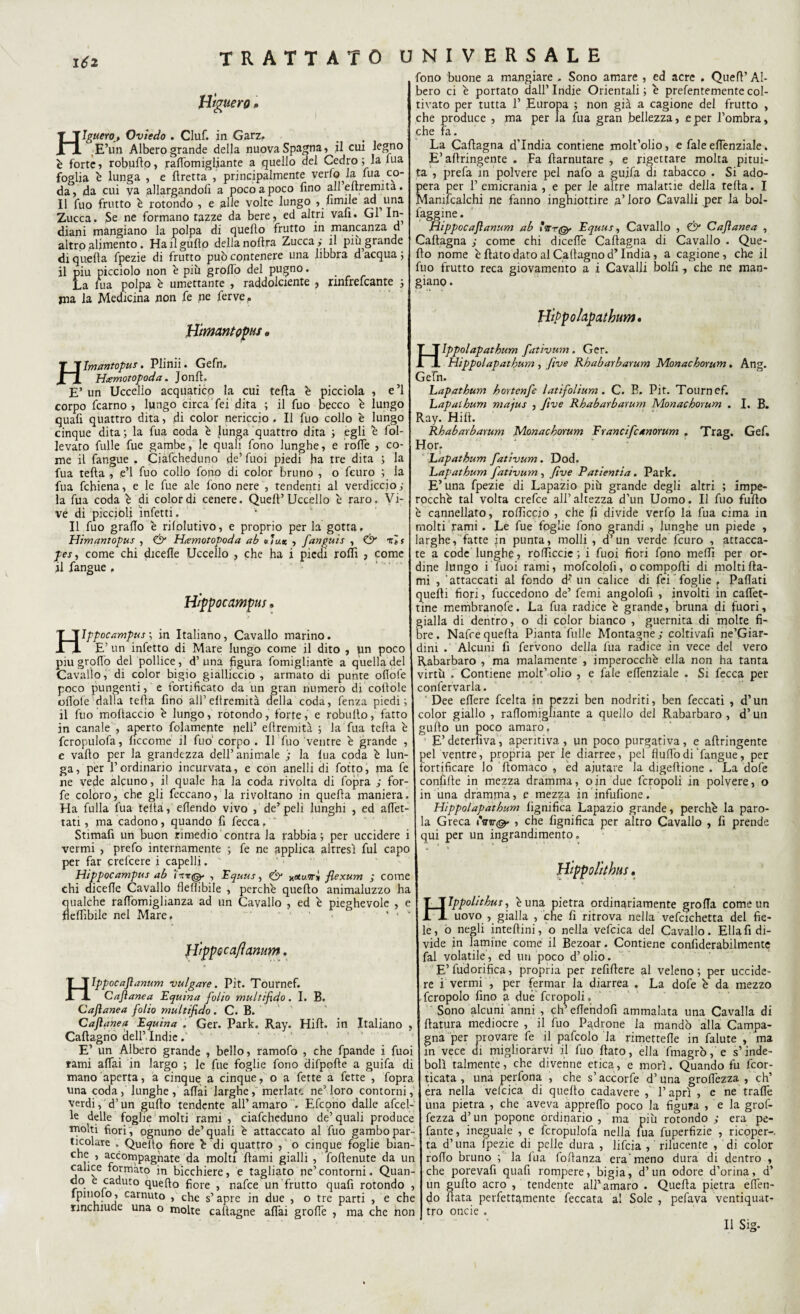 Ié2 H'tguero • Hlguero, Oviedo . Ciuf, in Garz. E’un Albero grande della nuova Spagna, il cui legno è forte, robuflo, rattomigljante a quello del Cedro ; la lua foglia é lunga , e flretta , principalmente verfo la lua co¬ da, da cui va allargandoli a poco a poco fino all enremita. Il fuo frutto è rotondo , e alle volte lungo , fimile ad una Zucca. $e ne formano tazze da bere, ed altri vali. Gl In¬ diani mangiano la polpa di quello frutto in mancanza d altro alimento. Hailgullo delia nolira Zucca ; il più grande di quella fpezie di frutto può contenere una libbra d acqua ; il piu picciolo non è più groflò del pugno. La lua polpa è umettante , raddolcente , rmfrefcante ; tna la Medicina non fe ne ferve. Uimantopui 9 Hlmantopus. Plinii. Gefn. Htemotopoda. Jonfl. E’ un Uccello acquatico la cui tella è picciola , e’1 corpo fcarno , lungo circa Tei dita ; il fuo becco è lungo quali quattro dita, di color nericcio . Il fuo collo è lungo cinque dita; la fua coda è lunga quattro dita ; egli è fol- levato Tulle fue gambe, le quali fono lunghe, e fotte , co¬ me il fangue , Ciafcheduno de’ fuoi piedi ha tre dita ; la fua tella , e’1 fuo collo fono di color bruno , o feuro ; la fua fchiena, e le fue ale fono nere , tendenti al verdiccio; la fua coda é di colordi cenere. Quell’Uccello è raro. Vi¬ ve di piccioli infetti. Il fuo grafio è rilolutivo, e proprio per la gotta. Himantopus , & Hamotapoda ab « Jux , fanguis , & irìT pesì come chi dicelle Uccello , che ha i piedi rolli , come il fangue . Hìppocampus. Hlppocampus ; in Italiano, Cavallo marino. E’ un infetto di Mare lungo come il dito , un poco piu grpflo del pollice, d’ una figura fomigliantè a quella del Cavallo, di color bigio gialliccio , armato di punte ofiole poco pungenti, e fortificato da un gran numero di coltole ofiole dalla tella fino all’ ellremità della coda, fenza piedi; il fuo mollacelo è lungo, rotondo, forte, e robullo, fatto in canale , aperto fedamente nell’ ellremità ; la fua tella è fcropulofa, liccome il fuo' corpo . Il fuo ventre è grande , e vallo per la grandezza dell’animale ; la lua coda è lun¬ ga, per l’ordinario incurvata, e con anelli di fotto, ma fe ne vede alcuno, il quale ha la coda rivolta di fopra ; for¬ fè coloro, che gli feccano, la rivoltano in quella maniera. Ha fulla fua tella, efiendo vivo , de’peli lunghi , ed affet¬ tati , ma cadono, quando fi fecca. Stimafi un buon rimedio centra la rabbia; per uccidere i vermi , prefo internamente ; fe ne applica altresì fui capo per far crefcere i capelli. Hippocampus ab , Equus, & yetuTrìi fiexum ; come chi dicefie Cavallo fieflibile , perche quello animaluzzo ha qualche rafiòmiglianza ad un Cavallo , ed è pieghevole , e fieflibile nel Mare. H'ippocafìanum. Hippocaflanum vulgare. Pit. Tournef. Caflanea Equina folio multi fido. I. B. Caftanea folio multifido . C. B. Caflanea Equina . Ger. Park. Ray. Hill, in Italiano , Callagno dell’Indie E’ un Albero grande , bello, ramofo , che fpande i fuoi rami affai in largo ; le fue foglie fono difpclte a guifa di mano aperta, a cinque a cinque, o a fette a fette , fopra una coda, lunghe, aliai larghe, merlate ne’loro contorni, verdi, d’un gullo tendente all’ amaro . Efcono dalle afcel- le delle foglie molti rami , ciafcheduno de’quali produce molti fiori , ognuno de’quali è attaccato al fuo gambo par¬ ticolare „ Queito fiore é di quattro , o cinque foglie bian- che , accompagnate da molti ftami gialli , follenute da un calice formato in bicchiere, e tagliato ne’contorni. Quan¬ di0. e caduto quello fiore , nafee un frutto quafi rotondo , lpmolo, carnuto , che s’apre in due , o tre parti , e che rinchiude una o molte callagne affai grolfe , ma che non fono buone a mangiare . Sono amare , ed acre » Quell’ Al¬ bero ci e portato dall’ Indie Orientali ; é prefentemente col¬ tivato per tutta 1’ Europa ; non già a cagione del frutto , che produce , ma per la fua gran bellezza, e per l’ombra, che fa. La Callagna d’india contiene molt’olio, e fale eflenziale. E’allringente . Fa llarnutare , e rigettare molta pitui¬ ta , prefa in polvere pel nafo a guifa di tabacco . Si ado¬ pera per 1’ emicrania , e per le altre malattie della tella. I Manifcalchi ne fanno inghiottire a’loro Cavalli per la boi- faggine. Hippocaflanum ab »Vr@* Equus, Cavallo , & Caflanea , Callagna ; come chi dicefie Callagna di Cavallo . Que¬ llo nome è flato dato ai Callagno d’India, a cagione, che il fuo frutto reca giovamento a i Cavalli bolli, che ne man¬ giano . H'tppokpathum, J__£Ippolapathum fativum. Ger. Hippolapathum, Jtve Rhabarbarum Monachorum. Ang. Gefn. hapathum hortenfe latifolium. C. B. Pit. Tournef. hapalhum majus , five Rhabarbarum Monachorum . I. B. Ray. Hill. Rhabarbarum Monachorum F rancifcanorum . Trag. Gef. Hor. hapathum fativum. Dod. hapathum fativum , fi ve Patientia. Park. E’ una fpezie di Lapazio più grande degli altri ; impe¬ rocché tal volta crefce all’altezza d’un Uomo. Il fuo fuflo è cannellato, rollicelo , che fi divide verfo la fua cima in molti rami. Le fue foglie fono grandi , lunghe un piede , larghe, fatte in punta, molli , d’un verde feuro , attacca¬ te a code lunghe, roflìccic; i fuoi fiori fpno meflì per or¬ dine lungo ifuoi rami, mofcololì, ocomppfli di molti Ita¬ mi , attaccati al fondo d* un calice di lei foglie , Paflati quelli fiofi, fuccedono de’ femi angolofi , involti in calet¬ tine membranofe. La fua radice é grande, bruna di fuori, gialla di dentro, o di color bianco , guernita di molte fi¬ bre. Nafrequella Pianta filile Montagne; coltivafi ne’Giar- dini . Alcuni fi fervono della fua radice in vece del vero Rabarbaro , ma malamente , imperocché ella non ha tanta virtù . Contiene molt’ olio , e fale eflenziale . Si fecca per confermarla. Dee eflere feelta in pezzi ben nodriti, ben feccati , d’un color giallo , raflomighante a quello del Rabarbaro , d’un gullo un poco amaro, E’deterfiva, apentiva, un poco purgativa, e allringente pel ventre, propria per le diarree, pel fluflodi fangue, per fortificare lo Ttomaco , ed aiutare la digellione . La dofe confille in mezza dramma, oin due fcropoli in polvere, o in una dramma, e mezza in inflittone. Hippolapathum lignifica Lapazio grande, perché la paro¬ la Greca 'wt@‘ , che fignifica per altro Cavallo , fi prende qui per un ingrandimento. H'ippolithus. H HJppolithus, éuna pietra ordinariamente grofla come un uovo , gialla , che fi ritrova nella vefcichetta del fie¬ le, o negli inteflini, o nella vefcica del Cavallo. Ella fi di¬ vide in lamine come il Bezoar. Contiene confiderabilmente fai volatile, ed un poco d’olio. E’fudorifica, propria per refiflere al veleno; per uccide¬ re i vermi , per fermar la diarrea . La dofe é da mezzo fcropolo fino a due fcropoli. Sono alcuni anni , ch’eflendofi ammalata una Cavalla di flatura mediocre , il fuo Padrone la mandò alla Campa¬ gna per provare fe il pafcolo la rimettefle in falute , ma in vece di migliorarvi il fuo flato, ella Tmagrò, e s’inde¬ bolì talmente, che divenne etica, e morì. Quando fu feor- ticata , una perlona , che s’accorfe d’una groflezza , eh’ èra nella vefcica di quello cadavere , l’aprì , e ne tratte una pietra , che aveva apprettò poco la figufa , e la grof- fezza d’un popone ordinario , ma più rotondo ; era pe¬ lante, ineguale , e fcropulofa nella fila fuperfizie , ricoper-, ta d’una lpezie di pelle dura , lifeia , rilucente , di color rotto bruno ; la lua foflanza era'meno dura di dentro , che porevafi quafi rompere, bigia, d’un odore d’orina, d’ un gullo acro , tendente all’amaro . Quella pietra etten- do llata perfettamente feccata al Sole , pefava ventiquat¬ tro oncie . Il Sig.