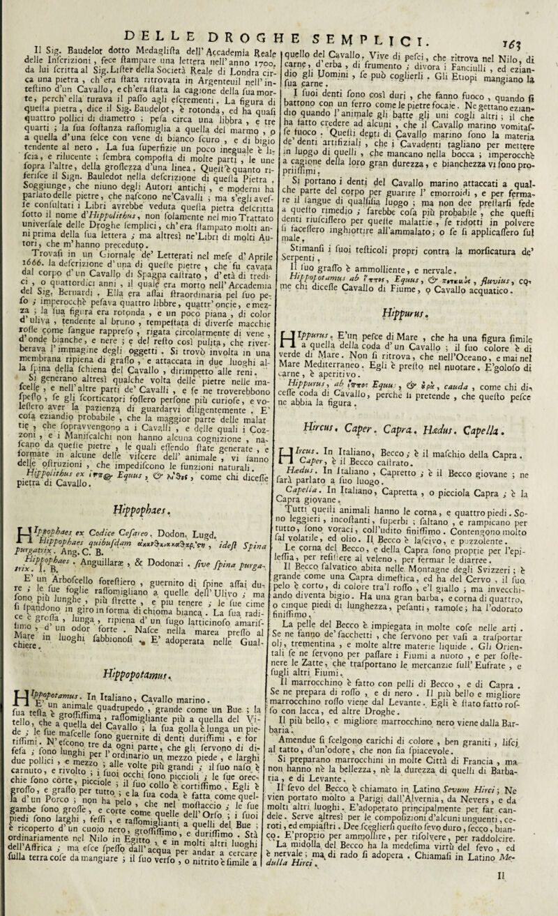 II Sig. Baudelot dotto Medaglida dell’ Accademia Reale delle Intenzioni, fece /lampare una lettera nell’anno 1700. da lui fcritta al Sig.Lider della Società Reale di Londra cir¬ ca una pietra , ch’era Rata ritrovata in Argenteuil nell’in- tefìino d’un Cavallo, e ch’era Rata la cagione della fua mor¬ te, perch’ella turava il paRo agli efcrementi. La figura di queRa pietra, dice il Sig. Baudelpt, è rotonda, ed ha quali quattro pollici di diametro ; ppfa circa una libbra , e tre quarti ; la fua foRanza raflotpiglia a quella dei marmo , o a quella d’una felce con vene di bianco feuro , e di bioi0 tendente al nero . La fua fuperfizie un poco ineguale è&li- fcia, e^ rilucente ; fembra compolta di molte parti , ìe une fopra l’alt re, delia groflezza d’una linea . QueR’è quanto ri- lenfce il Sign. Bauledot nella defcrizione di quefìa Pietra Soggiunge, che niuno degli Autori antichi , e moderni ha parlato delle pietre, che nafeono ne’Cavalli ; maVegli avef- le conlultati 1 Libri avrebbe veduta quefla pietra delcritta lotto il nome d'Hippolithus, non (blamente nel mio Trattato univerfale delle Droghe (empiici, ch’era Rampato molti an¬ ni prima della fua lettera ; ma altresì ne’Libn di molti Au¬ tori, che m’hannp preceduto. Trovafi in un Giornale 'de’ Letterati nel mefe d’Aprile 1666. la defcrizione d’una di queRe pietre , che fu cavata dal corno d’un CflVfllln di Snnarv, rollwM ' J’ «.X quello del Cavallo, Vive di pefei, che ritrova nel Nilo, di carnp, d erba , di frumento ; divora i Fanciulli , ed ezian- fua faJn^?mini ’ & PU° C0§lieril * Gli Etiopi mangiano 1* I Tuoi denti fono così duri , che fanno fuoco , quando fi battono con un ferro come le pietre focaie. Ne gettano ezian-r dio quando l’animale gli batte gli uni cogli altri; il che ha fatto credere ad alcuni , che il Cavallo marino vomitar¬ le fuoco . Quelli depp di Cavallo marino fono la materia de denti artifiziali , che i Cavadenti fagliano per mettere in lupgo di quelli , che mancano nella bocca ; imperocché a cagione della loro gran durezza, e bianchezza vi fono pro- prnRimi. , r , .. f Si portano i denti del Cavallo marino attaccati a qual¬ che parte del cofpo per guarire 1’ emorroidi , e per ferma¬ re il (angue di quallilìa lupgo ; pia non dee preRarfi fede ci quello rimedio ; farebbe cofa più probabile , che queRi denti riulcidero per quelte malattie , fe ridotti in polvere n afCe er° ln§h-ortR'e a^ ammalato; o fe fi applicaflero fuj Stimanfi i (uoi teRicoli propri contra la morficatura de’ Serpenti . * lì luo gradò è ammolliente, e nervale. HlPP°t oiamus ab t'irrof, Equus , <& ;r*TicaJ< , fluvius, CQ. I 1 ■ 1 j p , l,v' ) V.1IW 1U ViiVeiLc dal corpo d un Cavallo di Spagpa caRrato ,' d’età di tredi- . ao r** . „ . w ch‘dlcene “ d,’F,urae’’9 Vcqtro o j imperocché pefava quattro libbre, quattr’oncie, emez- ( za ; la lua figura era rorpnda , e un poco piana , di color Hìpptirttf9 0 uliy$ , tendente al bruno , tempcRata di diverfe macchie ' rode come (angue rapprefo , rigata circolarmente di vene d onde bianche, e nere ; e elei redo così pulita, che river¬ berava 1 immagine degli oggetti . Si trovò involta in una membrana ripiena di grado , e attaccata in due luoghi al¬ la (pina della, (chiena del Cavallo , dirimpetto alle reni. Si generano altresì qualche volta delle pietre nelle ma Hlppurus » E’up pefee di Mare , che ha una figura fimile a quella della coda d’ un Cavallo ; il fuo colore è di ^r<^e ^are ‘ ^on Fl ntrova, che nell’Oceano, e mai nel Mare Mediterraneo. Egli e predo nel nuotare. E’golofo di carne, e aperitivo. Hlppurus , ab »Vwf Equu: , & ipb, cauda , come chi dn (lo /’A/liì di 1 1 • . - folle 1 e nell’altre parti de’ Cavalli , e fe ne troverebbonò cefl/rff rb Co EqtiUsul & cauda > come chi di. fpedo , fe gli fcorticatori fodero perfone più curiofe vo- ne ablna la figura ’ 9 * ^ pefcc lederò aver la pazienza di guardarvi diligentemente . E’ § cola eziandio probabile , che la maggior parte delle malat w Caper-Capr*- H*Jm- Ca*elk- formate in alc'uné^ddle ’vincere animale T”vdfanno ! H In. Ifa{Ìan0' Becco ; è il marchio della Capra . de (e citazioni , che impeditone le funzioni naturali „ a% \ V,‘ ,B'CC0 cAllrat0' pieW&T0;a!' ^ ’• & C°me Chl farà parlato aS luogo/a?ret'° *' 6 “ BeCC0 «i<mne 5 ne Cape/ia. In Italiano, Capretta , o picciola Capra ; è la t Capra giovane. Hìppophaes, Tutti quelli animali hanno le corna, e quattro piedi. So- no leggieri, incollanti, (uperbi ; faltano , e rampicano per tutto, fono voraci, coll udito fi ni (Timo . Contengono molto lai volatile, ed olio. Il Becco è lafcivo, e puzzolente. Le corna del Becco, e della Capra fono proprie per l’epi le ma, per refi fiere ai veleno, per fermar le diarree. Il Becco falvatico abita nelle. Montagne degli Svizzeri ; è E’ un Àrbofcello forediero puernim di fnint» o/rv a [§rfnc!e come u,na Capra dimedica, ed ha del Cervo , il fuo ; le Tue foglie r C f j/fi if ' ^ f K0 e «rto, di colore tra’I rodo , e’1 giallo ; ma invecchi. fono pii, lunghe , pm flrette e om enei • TVneV ™ ando d,venta bl?‘° • Ha “*>» gran barba, e corna d. quattro, filpandono i! gi’roPn formi di chioma Sg/La fua S * ‘Un8hem> ^ > ha »W<> hmo , d’un o“ofUTÌnNdafcen nellV^area^Dreffo’^‘fi f c U ?'lle d^,?ecc° è. impiegata in molte cofe nelle arti . Mare in limoli fabbionod -j ..P _ a I ne Rtuno de facchetti , che fervono ner vad a rrafnorrar fi Ip pophaes ex Codice Cefareo , Dodon. Lugd„ JL 1 Hippophaes quibufdam «W9-x*«x«9-*a‘sV, ° idei} Spina purgatrix. Ang. C. B. J ' d J °Hr‘a trìxPT.PìaeS ' An§uillar* ». & Dodonad . five fpina purga¬ re Mare in luoghi chiere. mare-, a r V j,7- -“‘Toì, muuc tuie neue arri. E’ adonta !ipi n , Sr ne fanp0 de facchcttI » che fervono per vad a riportar % adoperata nelle Guai- ol;, trementina , e molte altre materie liquide . Gli Orien¬ tali fe ne fervono per padare 1 Fiumi a nuoto , e per foRe- , , nere Zatte, che trafportano le mercanzie full’Eufrate , e Hippopotamus, I (u81} aItri Flumi ». IJ PPpo amus. In Italiano, Cavallo marino, fua teda %nc^.niirTre ^cRnpedo , grande come un Bue ; la tello che fFn° ' ’ ra^°migRante più a quella del Vi¬ de • ?le fue n?afr'n Cavallo ; la fua goda è lunga un pie- Ldim N’ rfr«Ce 6 f0rì0 §uernite ^ denti duridimi , e fbr fefa fono lS ^ d,f °§ni Pae, che gli fervono di di- due pollici , e mézl’o'lauf volte n ' pied,V * Ia|§h-‘ carnuto, e rivolto ; i fuoi. occh, l^no piedoìf/ e Tu o^c- chiejono corte, p,ccIole , ,1 fuo colloP“ótdffimo fEglf è Piedi fono larghi , felli , e tSglS f ^deì i ” dell’Affrica i ma efee fpeffo ill^Sa’^War a’c^f« Ma terra cofe da mangiare ; il fuo verfo , o nitrito e limile a Il marrocchino è fatto con pelli di Becco , e di Capra . Se ne prepara di rodo , e di nero . Il più bello e migliore marrocchino rodo viene dal Levante. Egli è Rato fatto rof- fo con lacca, ed altre Droghe. Il più bello, e migliore marrocchino nero viene dalla Bar¬ baria . Amendue fi feelgono carichi di colore , ben graniti , lifej al tatto, d’un’odore, che non da (piacevole. Si preparano marrocchini in molte Città di Francia , ma non hanno nè la bellezza, nè la durezza di quelli di Barba¬ ria , e di Levante. Il fevo del Becco è chiamato, in. Latino Sevum Hirci ; Ne e da can- '*'-‘7 • ““tv .mvji xc Luiijuuiiz.jumu an.uniunguenti, ce- roti, ecl empiadri. Dee foglierli quedo fevo duro, fecQO, bian- CO'r E’Pr,0P.*10 Per ammollire, per rifolvere, per raddolcire. La midolla del Becco ha la mededma virrù del fevo , ed è nervale ; mak di rado fi adopera . Chiamali in Latino Me- dulia Hirct.