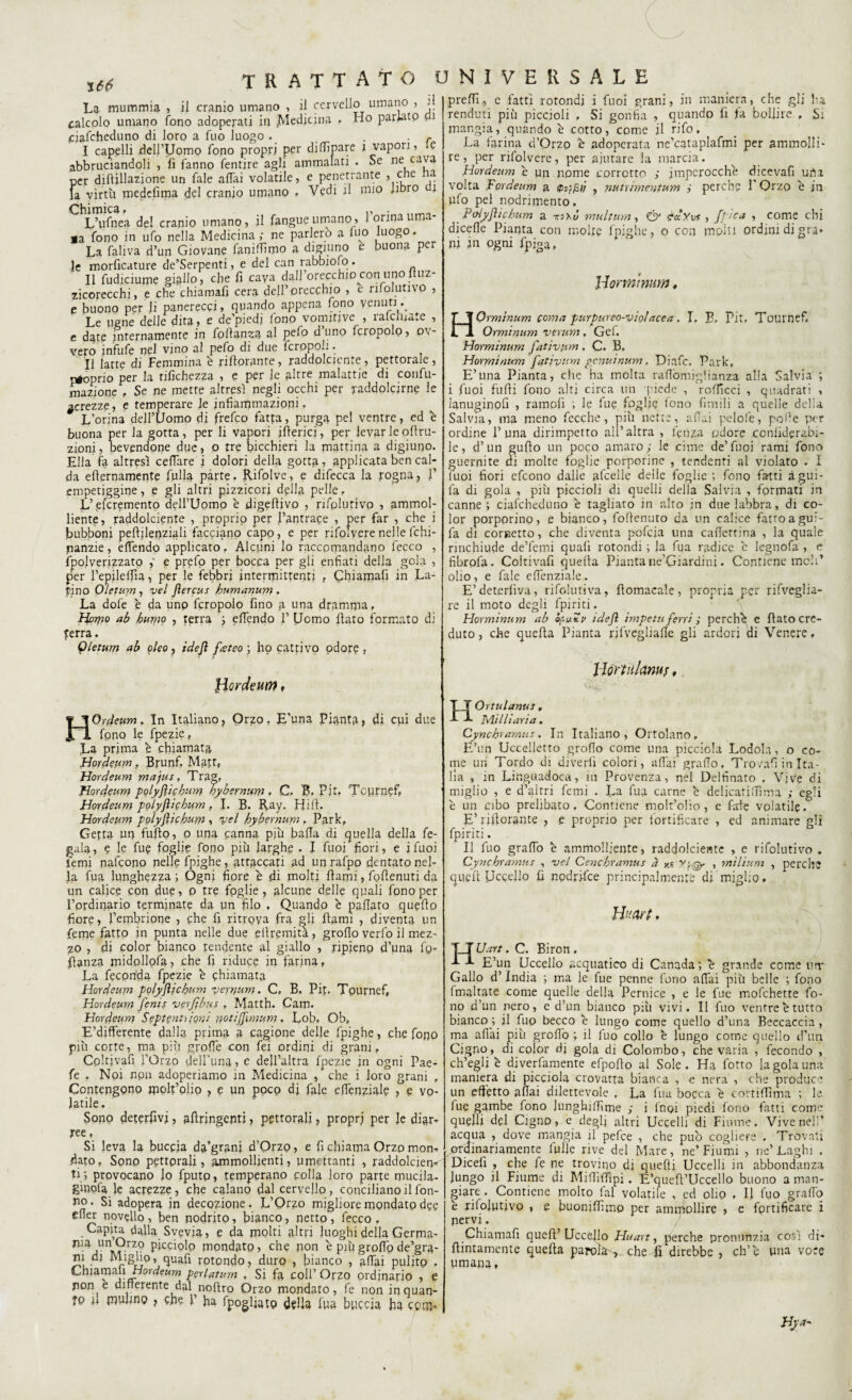 $66 La mummia , il cranio umano , il cervello umano , calcolo umano fono adoperati ili .Medicina , Ho parlato cu ciafeheduno di loro a fuo luogo. . . r I capelli dell’Uomo fono propri per diffidare i vapori, m abbruciandoli , fi fanno fentire agli ammalati . Se ne ca^ per difiillazione un Tale affai volatile, e penetrante , che ha fa virtù medefima del cranio umano , Vedi fi mio libro 1 Chimica. ,, . L’ufnea del cranio umano, il fangue umano, 1 orina ama¬ la fono in ufo nella Medicina ; ne parlerò a fuo luogo. La faliva d’un Giovane faniffimo a digiuno e buona per le morficature de’Serpenti, e del can rabbiofo. II fudiciume giallo, che fi cava dall’orecchio con uno ituz- zicorecchi, e che chiamafi cera dell’orecchio , e rifolutivo , e buono per fi panerecci, quando appena fono venuti. Le tigne delle dita, e de’piedi fono vomitive , rafcmate , e date internamente in fofianza al pefo d’uno fcropolo, ov¬ vero infufe nel vino al pefo di due fcropoli. Il latte di Femmina è riflorante, raddolcente, pettorale, r^oprio per la rifichezza , e per le aùre malattie di confu- mazione , Se ne mette altresì negli occhi per raddolcirne le nerezze, e temperare le infiammazioni. L’orina dell’Uomo di frefeo fatta, purga pel ventre, ed è buona per la gotta, per li vapori iberici, per levar le ofiru- zioni, bevendone due, o tre bicchieri la mattina a digiuno. Ella fa altresì ceffare i dolori della gotta, applicata ben cal¬ da efternamente filila parte. Rifolve, e difecca la rogna, fi empetiggine, e gli altri pizzicori della pelle. L’el’cremento dell’Uomo è digeftivo , rifplutivp , ammol¬ liente, raddolcente , proprio per l’antrace , per far , che i bubboni peftjlenziali facciano capo, e per rifolyere nelle fchi- nanzie, efiendo applicato. Alcuni lo raccomandano fecco , {polverizzato ,' e prefo per bocca per gli enfiati della gola , per l’epileffia, per le febbri intermittenti r Chiamafi in La¬ fino Oletu'rn, vel Jìercus humanum . La dofe è da unp fcrppolo fino a una dramma, Horpo ab brnpo , terra ; effendo 1’ Uomo fiato formato di ferra. Qletum ab oleo, idejì f<eteo ; ho cattivo odore, Hordeum, il preffi., c fatti rotondi i fuoi grani, in maniera, che gli ha renduti più piccioli , Si gonfia , quando fi fa bollire , Si mangia, quando è cotto, come il rifo. La farina d’Orzo e adoperata ne’cataplafmi per ammolli¬ re , per rifolvere, per aiutare la marcia. Hordeum è un nome corrotto ; imperocché dicevafi urta volta Fordeum a <psp£f/ , nutumentum ; perche fi Orzo e in ufo pel nodrimento. Poiyjìichum a tP.ù multum, & ?dxv<, /f ica , come chi dicefie Pianta con molte fpighe, o con molti ordini di gra¬ ni in ogni fpiga, H1 Hormìnum, Orminum coma purpureo-violacea. I. B, Pit. Tournef. Orminum veruni. Gel. Hormìnum fativtim , C. B. Hormìnum fatìvum penuinum. Diafe. Park, E’una Pianta, che ha molta raffomiglianza alla Salvia ; i fuoi fufii fono alti circa un piede , rofficci , quadrati , lanuginofi , ramofi ; le lue foglie fono fienili a quelle delia Salvia, ma meno fccche, più nette, affai pelofe, polle per ordine P una dirimpetto all’altra , lenza odore conliderabi- le, d’un gufio un poco amaro; le cime de’fuoi rami fono guernite di molte foglie porporine , tendenti al violato . I fuoi fiori efeono dalle afcelle delie foglie ; fono fatti àgui- fa di gola , più piccioli di quelli della Salvia , formati in canne ; ciafeheduno e tagliato in alto in due labbra, di co¬ lor porporino, e bianco, fofienuto da un calice fatroagui- fa di cornetto, che diventa pofeia una caffettina , la quale rinchiude de’femi quafi rotondi ; la fua radice c legnofa , e fibrofa. Coltivafi quella Pianta ne’Giardini. Contiene meli’ olio, e fale effenziale . E’deterlìva, rifolutiva, fiomacale, propria per rifveglia- re il moto degli fpiriti. Hormìnum ab or, u%v idejì impetri ferri ; perché e fiato cre¬ duto , che quella Pianta rfi'vegliafie gli ardori di Venere, llortnlams, HOrdeum. In Italiano, Orzo. E'una Pianta? di cui due fpno le fpezie, La prima h chiamata Hordeum, Brunf. Matt, Hordeum majus, Trag; Hordeum polyjìicbum bybernum, C. B. Pjt. Tciirnef, Hordeum polyjìicbum, I. B. Ray. Hill. Hordeum pplyfticbum , vel bybernum. Park, Getta un fufto, o una canna più bafia di quella della fe- gala, e le fu? fogli? fono più larghe . I fuoj fiori, e i fuoi temi nalcono nelle fpighe, attaccati ad unrafpo dentato nel¬ la fua lunghezza ; Ogni fiore è di molti fiami, fofienuti da un calice con due, o tre foglie, alcune delle quali fono per l’ordinario terminate da un filo , Quando è pillato quello fiore, l’embrione , che fi ritrova fra ^li fiami , diventa un feme fatto in punta nelle due efiremita, groflo verfo il mez¬ zo , di color bianco tendente al giallo , ripieno d’una fy- fianza midpllofa, che fi riduce in farina. La feconda fpezie è chiamata Hordeum polyjìicbum yep/um. C, B. Pit. Tournef, Hordeum fenis verjfbus , MattR Cam. Hordeum Septenti ioni potijfimum . Lob. Ob, E’differente dalla prima a cagione delle fpighe, che fono più corte, ma più grofìe con fei ordini di grani, Coltivafi l'Orzo dell'una, e dell’altra fpezie in ogni Pae- fe . Noi npn adoperiamo in Medicina , che i loro grani , Contengono ipolt’olio ? e un poco di fiale efienzial? > e vo¬ latile. Sono deterfivi, afiringenti, pettorali, propri per Je diar¬ ree , Si leva la buccia da’gtanj d’Orzo, e fi chiama Orzo mon¬ dato, Sono pettorali, ammollienti, umettanti , raddolcen¬ ti; provocano lo fputp, temperano colla loro parte mucila- ginofa le acrezze, che calano dal cervello, conciliano il fon- no. Si adopera in decozione. L’Orzo migliore mondato dee efier novello , ben nodrito, bianco, netto , lecco , Capita dalla Svevia, e da molti altri luoghi della Germa- un ^.rz9 picciolo mondato, che non e più grofip de’gra- quafi rotondo, duro , bianco , affai pulito . Chiamali Hordeum perlatum , Si fa coll’ Orzo ordinario , e non e differente dal noflro Orzo mondato, fe non inquan¬ to fi mulino ? che V ha fpogijatp della fiua buccia ha com- Ortulanus, Mi Ili ari a. Cynchramus. In Italiano, Ortolano. E’un Uccelletto grofio come una picciola Lodola, o co¬ inè uii Tordo di diverfi colon, affai grado. Tro^afi in Ita¬ lia , in Linguadoca, m Provenza, nel Delfinato , Vive di miglio , e d’alrri Temi . La fua carne e delicatilfima ; egli è un cibo prelibato. Contiene molt’olio , e fate volatile. E’rifiorante , e proprio per fortificare , ed animare gli fpiriti. Il fuo graffo è ammolliente, raddolcente , e rifolutivo . Cynchramus , vel Cencbramus à /e yp@. , milium , perche quell Uccello fi nodrifee principalmente di migl;p, lli'Art, Uart. C. Biron , E’un Uccello acquatico di Canada; è grande come uri* Gallo d’India ; ma le fue penne fono affai più belle ; fono fmaltate come quelle della Pernice , e le fue mofehette fo¬ no d’un nero, e d’un bianco più vivi. Il fuo ventre e tutto bianco ; il fuo becco e lungo come quello d’una Beccaccia, ma affai più grofio ; il fuo collo e lungo come quello d’un Cigno, di color dj gola di Colombo, che varia , fecondo , ch’egli b diverfamente efpofio al Sole. Ha fotto la gola una maniera di picciola crovatta bianca , e nera , che produce un effetto aliai dilettevole , La fua bocca è cortiffima ; le fue gambe fono lunghiffime ; i l'npi piedi fono fatti come quelli del Cigno, e degli altri Uccelli di Fiume. Vive nell’ acqua , dove mangia il pefee , che pub cogliere . Trovati ordinariamente fullc rive del Mare, ne’ Fiumi , ne’ Laghi . Dicefi , che fe ne trovino di quelli Uccelli in abbondanza lungo il Fiume di MifiìfTipi. E’quefi’Uccello buono a man¬ giare . Contiene molto fai volatile , pd olio , Il fuo graffo è rifolutivo , e buonifiìmo per ammollire > e fortificare i nervi. Chiamafi quell’Uccello Huart, perche pronunzia così di- {tintamente quella parola^, che fi direbbe , eh’ c una voce umana.