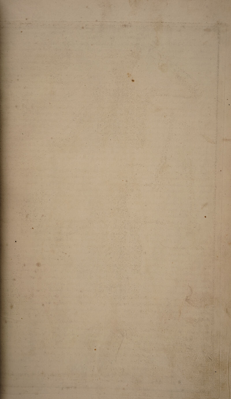 * / *♦ À / ' ± * ••• • • . ». . • .... v fi. £ v * i V f.r. • £ . 'A V ; ' ‘> * • v •' V . ' .* :r> * ' 1 t \ , * ✓ ) V- f. * f % -• A i ' ■ ;... % '■ , <