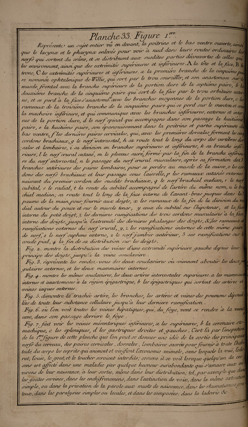 \ Planche 33. Future 1. M Représente* un s/e* entier vw en, devant, la foinne et le ba.r ventre ouverte, ainÀ que le bvqruv et le phaeyruc enlevé pour voir a, nud dans leurs, routes ordinaires 4, ne,/} que ‘sortent du cran», et se distribuent aune susdites parties decouvertes de celtes qui les e/ev mon/unt, ainsv que des extrémités super 'têtu es et inferieures. la le te et lez face, J] terme, C les eectednvtes supérieures et inférieures, a. la première branche de la. cinquièmep^ ne nommée ophtalmique de WHlis, qui sort pan le trou seurcÆr, et son anastomose sur- muscle- JrorUal avec la branche supérieure de la partum, dure de la, septième, paire, b & dciccciéme branche, de la cinquième paire qui, sort de la face pai le i> ou orbitaire ester, ne, et se perd 'a, laJuces‘anastomdavec les branches moyennes de la poi lion, dure, c b, rameunœ de, la, troisième branche de la cinquième paire put se perd sut Le menton et jou^ la, mâchoire inferieure, et put comn ut/uq ne avec Lee' branches inferieures, externes et inter ^ neif de la portion, dure, d, le nerf'?puzal gui aecornpciyne dans son passaye la, huitiemÀ paire, e la huitxhie paire, son, éponv iizssement dans la poitrine et partie supérieure, dii bas ventre,^les dernières paires cet v écoles, g tu , avec les premières dorsale.?forment le,p eug cordons brachiaux, g le nef intercostal, b sa, route tout le long du corps des ver sales et Ivrrzbaires, i sa division, en branches supérieurer et igfeneures, h sa branche inft~ meure, l le nerf crural cutané, rn le pleœcus sacre^/orme par la fin de la branche ufenea- re du, nerf tri tôt 'costal, n le, passczge du neif crural mizsculeure, aprres sa formation, dedj\ brandies intérieures des paires lombaires, pour se perdre aa muscle de la cuisse,o les cor¬ dons oies nerf braehiaiix et leur passage sous Icusr elle, p les rameaux cutanés externes naissant du, premier cardon des susdits braehiiiux, g le nerf brachial msdiarz, r le rierf cubital, s le radial, t la route du, cubital axxvmpcu/ne de lartere du meme nom,, u te Ira dual uied/an ; sa, route tout le loriç de la,face. interne de louant - brasyuspues dans laJ paume de la, rruun,pour fnirrur aux doigts, ce les rameauoe de, la fin, de la, decision chz dial autour du pouce et sur le muscle teneu ; g ceuce du cuhitat sur Iblpotenar, et la J interne du petit doigt, t les dermeres ranufications ds frais cordons musculaires a, la face, interne des doigts, fusgu'a, l'extremité des dernières phalanges des doigts, Séries ra/neaucc, et ranu/icaFons externes du nerf crural, y, t les rarrifixxitioris internes de cette meme paire, de nerfi le nerf saphene externe, 2 le nerf familier anterieur, 3 .ses ra mifcations sur coude pied, g la fin, de sa, dis frd, lUxon, sur les dov/fr. Fig. 2. montre lu distribution des celles d'une extrémité supérieure afauche deprtus leu/' principe des doigts,jusgutd lu veine souclcouierc . Fig. 3. représente les rendes - vous des deux sisiiclcrvieres ou <viennent aboutir 1er deup gu loues externes, et les' deux mammaires internes. Fig. g . montre les memes souehzoïeres, les deux artères intercostales supérieures, a les mamrna internes et anastomoses a la région èpuyastrigiœ, b les cpngastriipies put sortent des arteres ci veines uzgues cæterlies : Fy. 5. démontré la trachée artère, 1er bronches, les artères et veines des poumons dépouil¬ lées de toute leur substance cellulaire fusgu ’a leur dermere rairuf ea tion . -Fig. d. ou Ion voit toutes les veines hépatfues, gui, dufoye, vont se rendre et cave, dans scm passa//e derrière le fèn/e , ■ • , Fig. 7fait voir les veines mesentengues inferieures, a, les supérieures, b la coronaire sto- machipue, c les splenigues/ d les pas frigues droites et c/aae/ies . C'est la peud de la 1*1 fie/urc de cette planche gue lion peut se donner une idée de la sortie despruzeep af nerf dit cerveau, des paires cervicales , dorsales , lombaires sacréespolirfournir a toute Ihdoi tude du corps les esprits gui animent ctvivffient l'æcono/nie animale, sans lesguels la vas, loio\ rat, l'oiue, le y ont, et le, toucher se r oient interdits; comme lise voit lorsqueg uelguian de cesfl sens est ff été dans une mabidic par quelque humeur surabondante qiu s'a/naose auec virons de leur naissance, a, leur sortie, mène dans leur distribution,; tel, par exemple que tiitA lesyoaies sereines, dans les enclifrenemens, dans l’extinction de voix, dans la meme, cxhrsfàA simple, 011 dans lu privation de la parole aux, muets de naissance, dans les rhumaturmet\ teux, dans les pai^alysies simples on locales, et dans les composées; dans la lad terne ée.