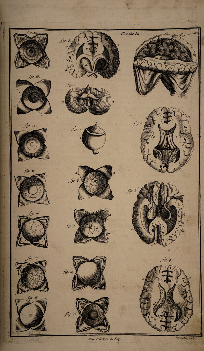 • • . yjveu P/'imfcuu du Pu y. ( /uiff>-cntur^/cuZt> .