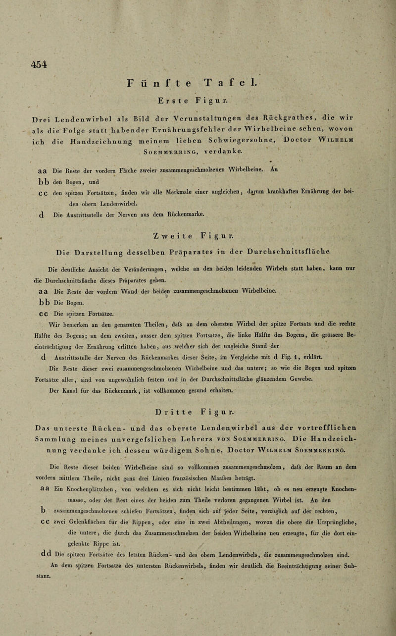 454 Fünfte Tafel. Erste Figur. Drei Lendenwirbel als Bild der Verunstaltungen des Rückgrathes, die wir als die Folge statt habender Ernährungsfehler der Wirbelbeine sehen, wovon ich die Handzeichnung meinem lieben Schwiegersöhne, Doctor Wilhelm Soemmerring, verdanke. , « aa Die Reste der vordem Fläche zweier zusammengeschmolzenen Wirbelbeine. An 1 * l ‘ ■ ' / bb den Bogen, und C C den spitzen Fortsätzen, finden wir alle Merkmale einer ungleichen, darum krankhaften Ernährung der bei¬ den obern Lendenwirbel. d Die Austrittsstelle der Nerven aus dem Rückenmarke. Zweite Figur. Die Darstellung desselben Präparates in der Durchschnittsfläche. Die deutliche Ansicht der Veränderungen, welche an den beiden leidenden Wirbeln statt haben, kann nur die Durchschnittsfläche dieses Präparates geben, aa Die Reste der vordem Wand der beiden zusammengeschmolzenen Wirbelbeine, bb Die Bogen. CC Die spitzen Fortsätze. Wir bemerken an den genannten Tbeilen, dafs an dem obersten Wirbel der spitze Fortsatz und die rechte Hälfte des Bogens; an dem zweiten, ausser dem spitzen Fortsatze, die linke Hälfte des Bogens, die grössere Be- . einträchtigung der Ernährung erlitten haben, aus welcher sich der ungleiche Stand der d Austrittsstelle der Nerven des Rückenmarkes dieser Seite, im Vergleiche mit d Fig. 1, erklärt. Die Reste dieser zwei zusammengeschmolzenen Wirbelbeiue und das untere; so wie die Bogen und spitzen Fortsätze aller, sind von ungewöhnlich festem und in der Durchschnittsfläche glänzendem Gewebe. / ' « . /. *. , ' Der Kanal für das Rückenmark, ist vollkommen gesund erhalten. Dritte Figur. Das unterste Rücken- und das oberste Lendenwirbel aus der vortrefflichen Sammlung meines unvergefslichen Lehrers von Soemmerring. Die Handzeich¬ nung verdanke ich dessen würdigem Sohne, Doctor Wilhelm Soemmerring. Die Reste dieser beiden Wirbelbeine sind so vollkommen zusammengeschmolzen, dafs der Raum an dem vordem mittlern Theile, nicht ganz drei Linien französischen Maafses beträgt. R 3 Ein Knochenplättchen , von welchem es sich nicht leicht bestimmen läfst, ob es neu erzeugte Knochen¬ masse, oder der Rest eines der beiden zum Theile verloren gegangenen Wirbel ist. An den b zusammengeschmolzenen schiefen Fortsätzen, finden sich auf jeder Seite, vorzüglich auf der rechten, % CC zwei Gelenkflächen für die Rippen, oder eine in zwei Abtheilungen, wovon die obere die Ursprüngliche, die uutere, die durch das Zusammenscbmelzen der beiden Wirbelbeine neu erzeugte, für die dort ein¬ gelenkte Rippe ist. dd Die spitzen Fortsätze des letzten Rücken- und des obern Lendenwirbels, die zusammengeschmolzen sind. An dem spitzen Fortsatze des untersten Rückenwirbels, finden wir deutlich die Beeinträchtigung seiner Sub¬ stanz.
