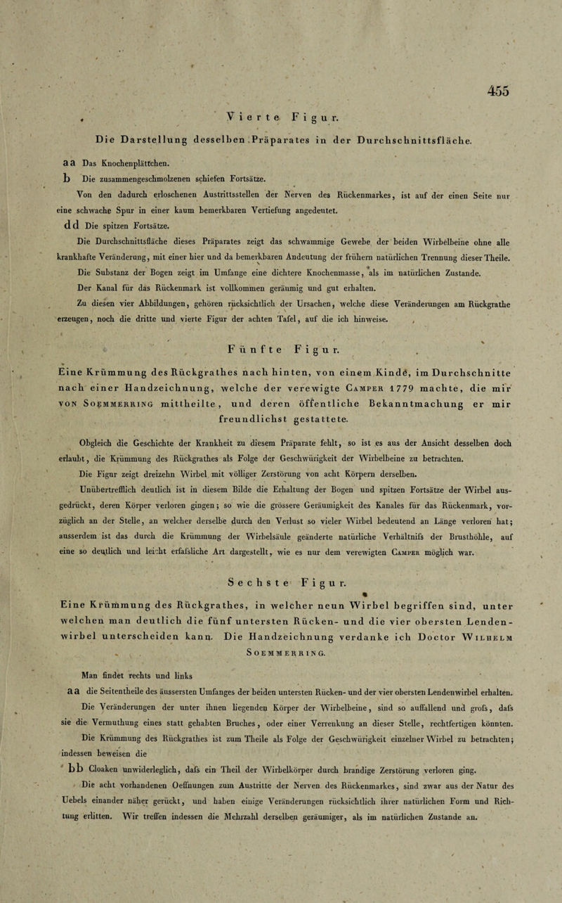 f 455 Vierte Figur. Die Darstellung desselben Präparates in der Durclischnittsfläclie. aa Das Knochenplättchen. 1) Die zusammengeschmolzenen schiefen Fortsätze. ' 0 Von den dadurch erloschenen Austrittsstellen der Nerven des Rückenmarkes, ist auf der einen Seite nur eine schwache Spur in einer kaum bemerkbaren Vertiefung angedeutet, dd Die spitzen Fortsätze. Die Durchschnittsfläche dieses Präparates zeigt das schwammige Gewebe der beiden Wirbelbeine ohne alle krankhafte Veränderung, mit einer hier und da bemerkbaren Andeutung der frühem natürlichen Trennung dieser Theile. Die Substanz der Bogen zeigt im Umfange eine dichtere Knochenmasse, als im natürlichen Zustande. Der Kanal für das Rückenmark ist vollkommen geräumig und gut erhalten. Zu diesen vier Abbildungen, gehören rücksichtlich der Ursachen, welche diese Veränderungen am Rückgrathe ■ , \ erzeugen, noch die dritte und vierte Figur der achten Tafel, auf die ich hinweise. Fünfte Figur. * , H i . 1 Eine Krümmung des Riickgrathes nach hinten, von einem Kinde, im Durchschnitte nach einer Handzeichnung, welche der verewigte Camper 1 779 machte, die mir von Soemmerring mittheilte , und deren öffentliche Bekanntmachung er mir freundlichst gestattete. Obgleich die Geschichte der Krankheit zu diesem Präparate fehlt, so ist es aus der Ansicht desselben doch ' erlaubt, die Krümmung des Riickgrathes als Folge der Geschwürigkeit der Wirbelbeine zu betrachten. Die Figur zeigt dreizehn Wirbel mit völliger Zerstörung von acht Körpern derselben. Unübertrefflich deutlich ist in diesem Bilde die Erhaltung der Bogen und spitzen Fortsätze der Wirbel aus¬ gedrückt, deren Körper verloren gingen; so wie die grössere Geräumigkeit des Kanales für das Rückenmark, vor¬ züglich an der Stelle, an welcher derselbe durch den Verlust so vieler Wirbel bedeutend an Länge verloren hat; ausserdem ist das durch die Krümmung der Wirbelsäule geänderte natürliche Verhältnifs der Brusthöhle, auf eine so deutlich und leicht erfafsliche Art dargestellt, wie es nur dem verewigten Camper möglich war. Sechste1 Figur. Eine Krümmung des Riickgrathes, in welcher neun Wirbel begriffen sind, unter welchen man deutlich die fünf untersten Rücken- und die vier obersten Lenden¬ wirbel unterscheiden kann. Die Handzeichnung verdanke ich Doctor Wilhelm .. . Soemmerring. Man findet rechts und links aa die Seitentheile des äussersten Umfanges der beiden untersten Rücken- und der vier obersten Lendenwirbel erhalten. Die Veränderungen der unter ihnen liegenden Körper der Wirbelheine, sind so auffallend und grofs, dafs sie die Vermuthung eines statt gehabten Bruches, oder einer Verrenkung an dieser Stelle, rechtfertigen könnten. Die Krümmung des Riickgrathes ist zum Theile als Folge der Geschwürigkeit einzelner Wirbel zu betrachten; indessen beweisen die ' bb Cloaken unwiderleglich, dafs ein Theil der Wirbelkörper durch brandige Zerstörung verloren ging. Die acht vorhandenen Oeff’nungen zum Austritte der Nerven des Rückenmarkes, sind zwar aus der Natur des Uehels einander näher gerückt, und haben einige Veränderungen rücksichtlich ihrer natürlichen Form und Rich¬ tung erlitten. Wir treffen indessen die Mehrzahl derselben geräumiger, als im natürlichen Zustande an.