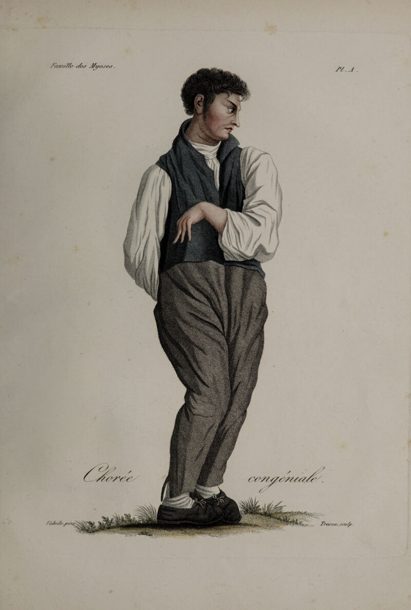 VA W f ' / ,///>//<' St. J . , JCufa