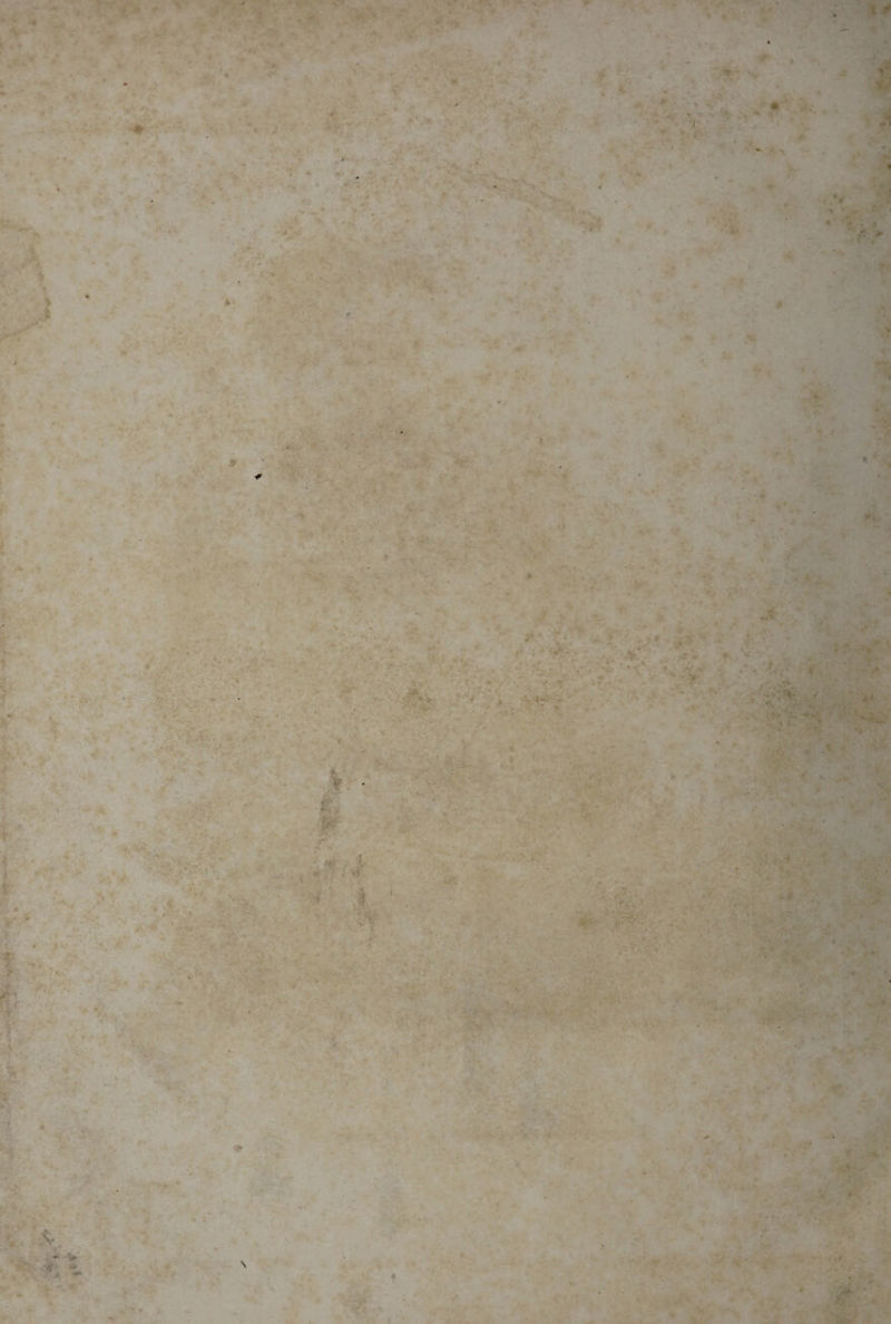 4 ■' V - ' ■ . y* % ; V i ♦ •' •v .if 5 «* *•