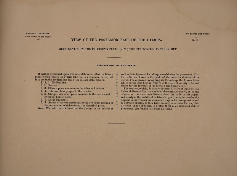 Of THE DISEASES OF THE UTEBUS. VIEW OF THE POSTERIOR FACE OF THE UTERUS, PI. VI. REPRESENTED IN THE PRECEDING PLATE (n<>V.) THE PERITONEUM IS TAKEN OFF. EXPLANATION OF THE PLATE. It will be remarked upon this side of the uterus that the fibrous plans which lead to the ovaries take rise in a common centre , that is to say in the median line and at the bottom of this viscera. 1, 1, 1. Median line. 2, 2. Ovaries. 3, 3. Fibrous plans common to the tubes and ovaries. 4, 4. Fibrous plans proper to the ovaries. 5, 5. Oblique ascendant plans common to the ovaries and to the upper pubian cords. 6, 6. Large ligaments. 7, 7. Shreds of the sub-peritoneal tunic and of the portion of the peritoneum which covered the described plans. Nota. We will remark here that the pinions of the ovaries as ! ! f s * § I $ f I I f ! well as their ligament had disappeared during the pregnancy. That their effacement was to the profit of the posterior division of the uterus. The organ in developping itself, lookup the fibrous tissue which seems to be kept in reserve in the slate of vacuity to furnish means for the increase of the uterus during pregnancy. The ovaries, which, in a slate of vacuity, were at three or four inches of distance from the angles of the uterus, are only, at the end of gestation, at some lines distance from the body of this organ , and nearly in the middle of its lateral edges. It may be seen by this disposition how much the ovaries are exposed to compression and to onlward shocks, as they have nothing more than the very thin divisions of the abdomen to protect them in an advanced stale of pregnancy, (see for this last case: plate lil.)