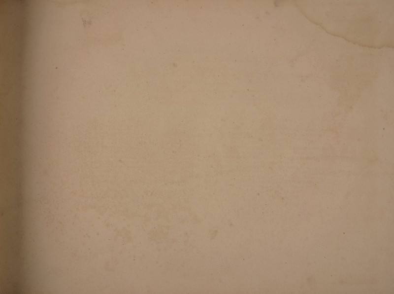 y.. •• ' ' * ■ . wsu-:. . Il *■ * * • i : - . . •• • • *