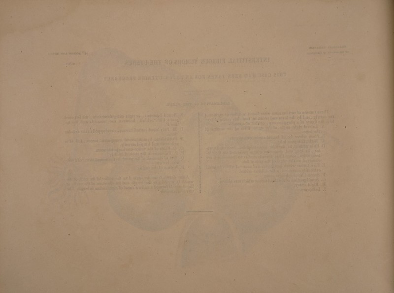 f , . . . 3 ’ . • ' t'l ' , . •_ : ■ ,• ■ . • ■ - - ■ / -w . * ' ' - * < 1 • * • » . , . j .1 ‘ - - 4M» *»*»• ■ '