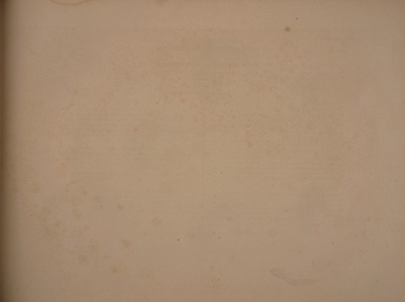 ■ ' ■ ^ . » ' »