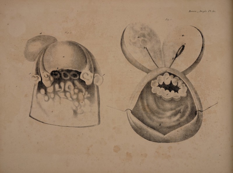 /)//<jè.r>. P/ .-3o. Zioroi// ___ /u/.s