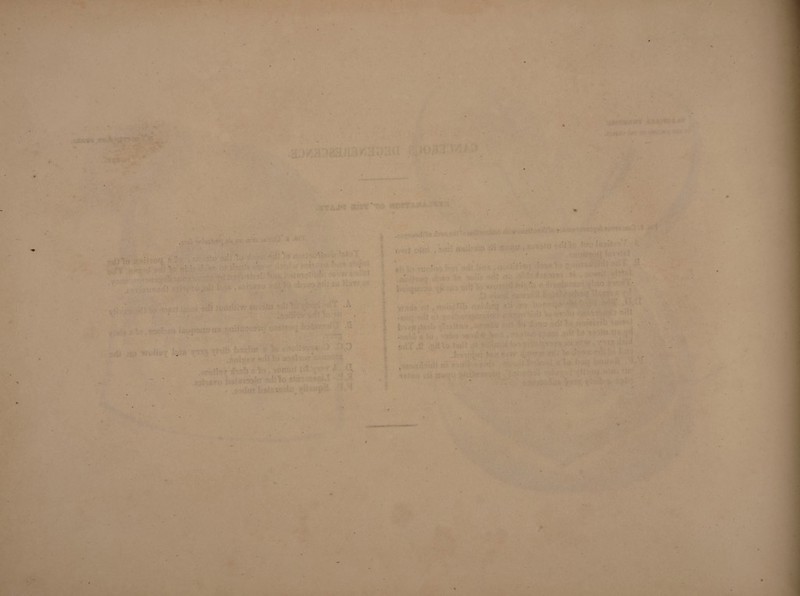 . . . . ■ r- ; . ;- - ■ . ,