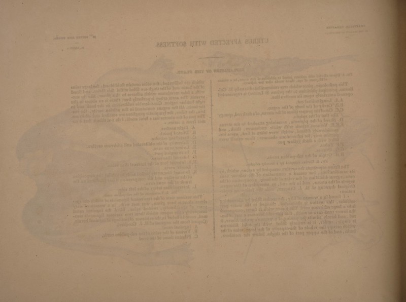 WT-if-g l.'TI'* ■ : • ’• ‘ -J ! .i. ' • -: l ' ' . ;!•; -:fV . • q 9.n, ' «. ..* !-‘ rtilil'ViK’ . tit ■ . ■ ■ ' IV . ; ; ; : . - ■ l ; ;> Uft$T ■ - ■ . : ■ ■ ■ : . - , -• • L “ V -. > S> :■! •, •’ ■ . : .. \ ' ■ 3,1 ■ . •• • , . . . ■ . t 'l ' .• ' * • * • • ,:-n i ' • :: o-J' 0 ; ; K‘ ’ . • 1 ' - i t ' - ( ' r.nrnr,v/- n va '• -»J- • ■. :: J T-.,