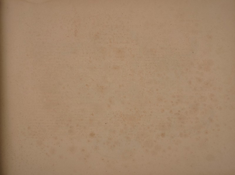 * •• -T ■ ■ ■ ■ •* ' *> , t - •* , - * •- ■■ - ■ . ' . ' T ■