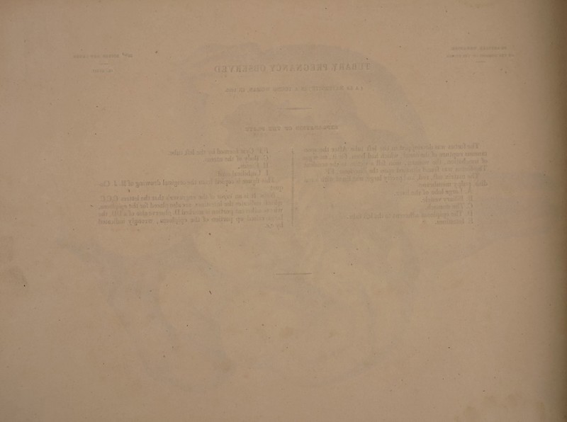 • ». - ..J i j ï ... : . t ■ cm i > /.( • - ai*:. •• , • . . - . ... ; •* • , . • • • •' • . •\y t:> > ■' ’• • ' : • *■' “ ' '** < à . . . >.: ■ - • ' :V :' : .V.. ■ . /j rOŸTÏüi' ^ . • V