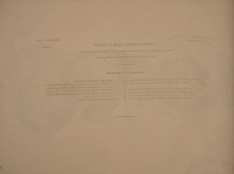 iis*U * .v ,i'. ■ i ;: . -> ' * ' ■ ' • . - - - . ».£;,a et;. :ïX!-zz a.v.li'u ; - ■ - ' > ' ' ' ’ ' ' ' ' ' . ,'TTT T LT T ' v - ■ . : ■ ' • > Kid! Aimm hujhr Ü w , fi - ■ • ; ; cj .. ’■ • . ; ' r *•„ .01* ,1 • ii!) 'VJSJ7 •.» ■ ••> 0 . ;L À- ■ w, ,,.uX ; ■ ■ ' • ' : ■ • ■ • i . > • ■ ’ , ,. ; i . iï , • ... 1 t' : ■ : 'j ■ r r, i;-o_ ' ; ' • . i ~ ( , ,v. r,. . -; ; : -