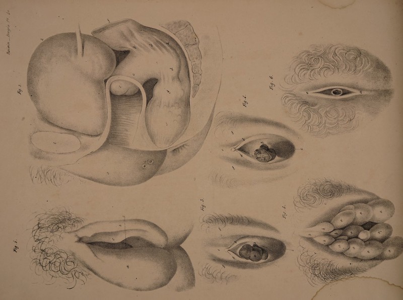 &c>(msi _ J)rrc/'\s /'/