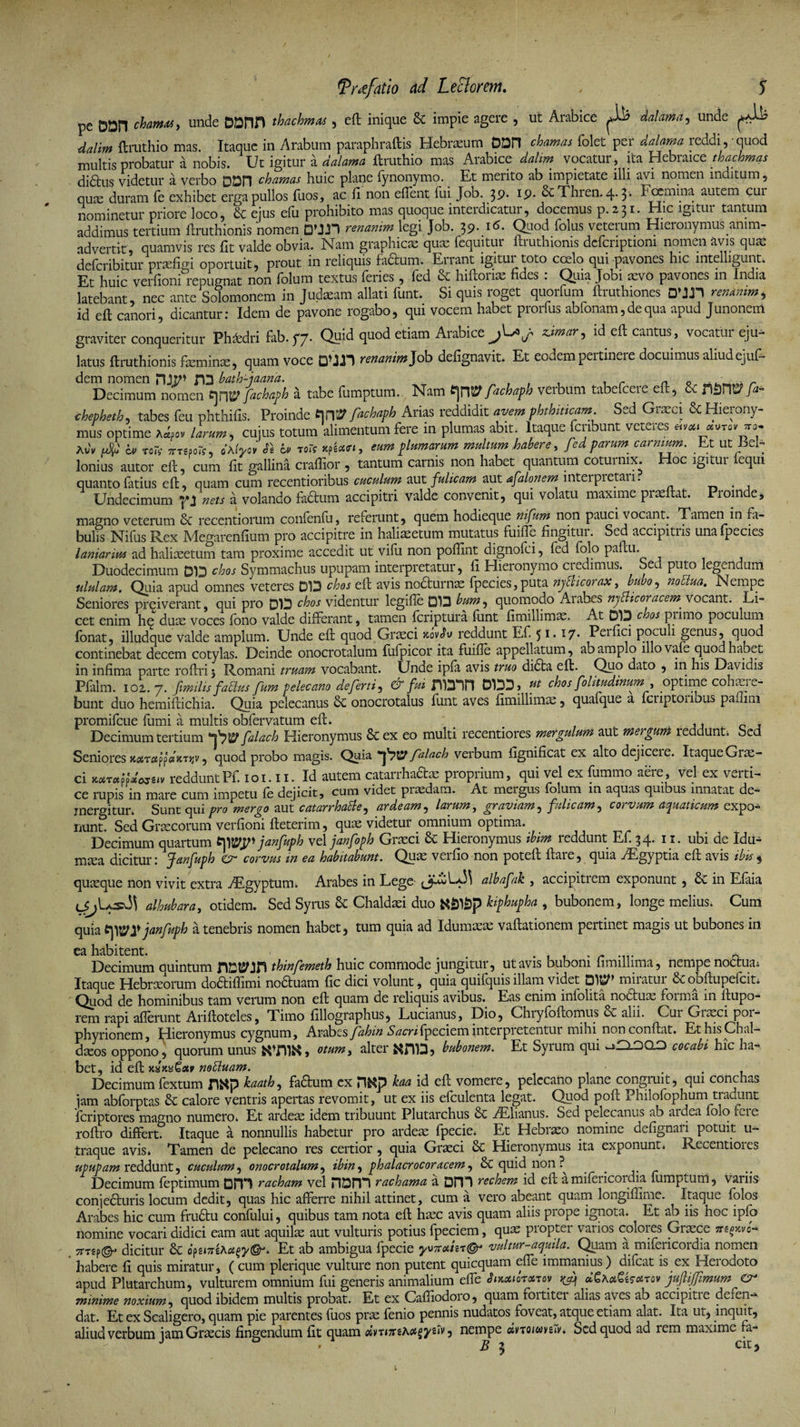 pe DDn chamdt, unde DDHH thachmas, eft inique &amp; impie agere , ut Arabice jJfe unde fbruthio mas. Itaque in Arabum paraphraftis Hebraeum DDn chamas folet per dalama reddi, quod multis probatur a nobis. Ut igitur a dalama ftruthio mas Arabice dalim vocatur, ita Hebraice thachmas didtus videtur a verbo DOn chamas huic plane fynonymo. Et merito ab impietate illi avi nomen inditum, quce duram fe exhibet erga pullos fuos, ac fi non effent fui Job. 39. 19. &amp;Thren. 4-3’ Focmina autem cur nominetur priore loco, &amp; eius efu prohibito mas quoque interdicatur, docemus p.231. Hic igitur tantum addimus tertium ftruthionis nomen OMJ) renanim legi Job. 39. 16. Quod folus veterum Hieronymus anim¬ advertit, quamvis res fit valde obvia. Nam graphicas quas fequitur ftruthionis dcfcriptiom nomen avis quae defcribitur praefigi oportuit, prout in reliquis fadtum. Enant igitui toto coelo qui pavones hic intelligunt. Et huic verfioni repugnat non folum textus feries, fed &amp; hiftorias fides : Quia Jobi aevo pavones in India latebant nec ante Solomonem in Judaeam allati funt. Si quis roget quorfum ftruthiones renanim, id eft canori, dicantur: Idem de pavone rogabo, qui vocem habet prorfus abfonam, de qua apud Junonem graviter conqueritur Phaedri fab.57. Quid quod etiam Arabice z.imar, id eft cantus, vocatur eju¬ latus ftruthionis fteminas, quam voce DUD renanimjd* defignavit. Et eodem pertinere docuimus aliud ejuf- dem nomen HlP* fD bath-jaand. . r n 0 ^ Decimum nomen fijnVfachaph a tabe fumptum. Nam tpfffachaph verbum tabefcere eft, &amp; nSPiV f* chepheth, tabes feu phthifis. Proinde *rx0 fachapb Arias reddidit avem phthiticam Sed Graeci &amp; Hierony¬ mus optime a^o, larum, cujus totum alimentum fere in plumas abit. Itaque fcnbunt veteres « Av\ ufc a> TOti TTTgpor? , oAiyov S\ b> Tor? Kfzxffi, eum plumarum multum habere, fed parum, carnium. Et ut Bel- Ionius autor eft, cum fit gallina craflior , tantum carnis non habet quantum coturnix. Hoc lgitui equi quanto latius eft, quam cum recentioribus cuculum aut fulicam aut afalonem interpretari. . Undecimum yinets a volando faftum accipitri valde convenit, qui volatu maxime praeftat. Proinde, magno veterum &amp; recentiorum confenfu, referunt, quem hodieque nifum non pauci vocant. Tamen in fi¬ bulis Nifus Rex Megarenfium pro accipitre in haliasetum mutatus fuiftc fingitui. Sed accipitns unafpecies laniarim ad haliasetum tam proxime accedit ut vifu non poftint dignofci, fed folo paftu. Duodecimum D1D chos Symmachus upupam interpretatur, fi Hieronymo credimus. Sed puto legendum ululam. Quia apud omnes veteres DD chos eft avis no&amp;urnas fpecies,puta nfiicoraX, bubo, nottua. Nempe Seniores preiverant, qui pro DO c^os videntur legifle DO bum, quomodo Aiabes njblicoracem. vocant. Li¬ cet enim he dure voces fono valde differant, tamen fcriptura funt fimillimas. At DO chos piimo poculum fonat, illudque valde amplum. Unde eft quod Graeci «.ovSv reddunt Ef. 51* *7* Peinci poculi genus, quod continebat decem cotylas. Deinde onocrotalum fufpicor ita fuifle appellatum, ab amplo illo vafe quod habet in infima parte roftri 5 Romani truam vocabant. Unde ipfa avis truo didta eft. Quo dato , in his Davidis Pfalm. 102. 7. ftmilis fattus fum pelecano deferti, &amp; fui nOTI DOD, « chos folitudinum optime cohasre- bunt duo hemiftichia. Quia pelecanus onocrotalus funt aves llmillimae, quafque a fcriptoiious pamm promifcue fumi a multis obfervatum eft. ., 0 , Decimum tertium falach Hieronymus 6c ex eo multi recentiores mergulum aut mergum leddunt. Sed Seniores jm6t* ppVxttjv, quod probo magis. Quia fpw falach verbum fignificat ex alto dejiceie. ItaqueGim- ci K«r«ppVo7e<y redduntPf. 101.11. Id autem catarrha&amp;ae proprium, qui vel ex fummo aere, vel ex verti¬ ce rupis in mare cum impetu fe dejicit, cum videt praedam. At mergus folum in aquas quibus innatat de- mergitur. Sunt qui pro mergo aut catarrhatte, ardeam, larum, graviam, fulicam, corvum aquaticum expo¬ liunt! Sed Graecorum verfioni fteterim, quas videtur omnium optima. Decimum quartum tWp janfuph vel janfoph Graeci 6c Hieronymus ibim reddunt Ef. 34. 11. ubi de Idu¬ maea dicitur: Janfuph €r corvus in ea habitabunt. Quas verfio non poteft ftare, quia ./Egyptia eft avis ibis $ quaeque non vivit extra yEgyptum. Arabes in Lege albafak , accipitrem exponunt , in Efaia alhubara, otidem. Sed Syrus &amp; Chaldaei duo NSlSp kiphupha , bubonem, longe melius. Cum quia janfuph a tenebris nomen habet, tum quia ad Idumaeas vaftationem pertinet magis ut bubones in ea habitent. # .... r .... * Decimum quintum thinfemeth huic commode jungitur, ut avis buboni fimilhma, nempe noctuai Itaque Hebraeorum dodtiffimi nodluam fic dici volunt, quia quifquis illam videt Diy* miiatur Sc obftupefciti (jg hominibus tam verum non eft quam de reliquis avibus. Eas enim mfolita noCtuas forma in ftupo- rem rapi afferunt Ariftoteles, Timo fillographus, Lucianus, Dio, Chiyfoftomus 6t alii. Cui Glisci poi- phyrionem, Hieronymus cygnum, Arabes fahin 6Wrifpeciem interpretentur mihi nonconftat. Et his Chal¬ daeos oppono, quorum unus KTHK, otnm, alter KHD, bubonem. Et Syrum qui ^ClDOD cocabi hic ha¬ bet, id eft kxkxGoiv nottuam. , Decimum fextum JINp haath, fafrum cx H&amp;p kaa id eft vomere, pelecano plane congruit, qui conchas jam abforptas &amp; calore ventris apertas revomit, ut ex iis efculenta legat. Quod poft Philofophum tradunt feriptores magno numero. Et ardeas idem tribuunt Plutarchus Sc /Elianus. Sed pelecanus ab aidea folo feie roftro differt. Itaque a nonnullis habetur pro ardeae fpecie. Et Hebraeo nomine defignaii potuit u- traque avis. Tamen de pelecano res certior, quia Graeci &amp; Hieronymus ita exponunt. Recentiores upupam reddunt, cuculum, onocrotalum, ibin, phalacrocoracem, &amp; quid non Decimum feptimum DITI racham vel noni r acharna a DfTl rechem id eft a mifericordia fumpLUm, variis conjecturis locum dedit, quas hic afferre nihil attinet, cum a vero abeant quam longiflime. Itaque folos Arabes hic cum frudtu confului, quibus tam nota eft hasc avis quam aliis prope ignota. Et ab iis hoc ipfo nomine vocari didici eam aut aquilas aut vulturis potius fpeciem, quas propter varios colores Grasce m*™0- TTrgpdicitur &amp; Et ab ambigua fpecie yv-iraiivultur-aquila. Quam a mifericordia nomen habere fi quis miratur, (cum plerique vulture non putent quicquam effe immanius) difeat is ex Herodoto apud Plutarchum, vulturem omnium fui generis animalium effe ^kxiotcctov yf) u£aci£z?octqv juftijfimum O* minime noxium, quod ibidem multis probat. Et ex Caffiodoro, quam fortiter alias aves ab accipitre defen¬ dat. Et ex Scaligero, quam pie parentes fuos pras fenio pennis nudatos foveat, atque etiam alat. Ita ut, inquit, aliud verbum jam Graecis fingendum fit quam , nempe at/ToiwveiV. Sed quod ad rem maxime fa- » B 3 ^ ?
